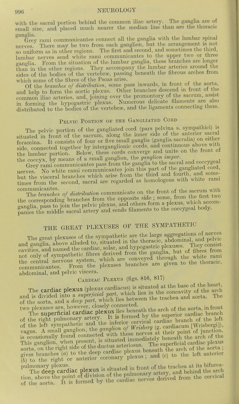 with the sacral portion behind the common ihac arteiy. The gangha are of small size, and placed much nearer the median line than are the thoracic ^^&rey rami communicantes connect all the ganglia with the lumbar spinal nerves There may be two from each ganglion, but the arrangement is not so uniform as in other regions. The first and second, and sometimes the third, lumbar nerves send white rami communicantes to the upper two or three ganglia From the situation of the lumbar ganglia, these branches are longer than in the other regions. They accompany the lumbar arteries around the sides of the bodies of the vertebraj, passuig beneath the fibrous arches from which some of the fibres of the Psoas arise. ^ ■ r ^ c Of the branches of distribution, some pass inwards, m tront ot the aorta, and help to form the aortic plexus. Other branches descend m front of the common ihac arteries, and, joming over the promontory of tlie sacrum, assist m forming the hypogastric plexus. Numerous delicate filaments are also distributed to the bodies of the vertebrae, and the ligaments connectmg them. Pelvic Portion of the Gangliated Coed The pelvic portion of the gangUated cord (pars pelvina s. sympathici) is situated in front of the sacrum, along the mner side of the an erior sacra foramma. It consists of four or five small gangha (ganglia sacraha) on eithei Ide, comiected together by mterganglionic cords, ^^\;^°'''r'2\heT^^^^ the lumbar portion. Below, these cords converge and unite on the front ot the coccyx by means of a small ganglion, the ganglion impar GreTr^mi communicantes pass from the ganglia to the sacral and coccygeal nerves No white rami communicantes join this part of the gaiighated cord, but he visceTal branches which arise from the third --^^-^^^^^l^'^Zi times from the second, sacral are regarded as homologous with ^hite rami ''The1™t; of distribviion communicate on the front of ---- the corresponding branches from the opposite side ; some fi'om the fai==t t^^o taLli^ S to oin the pelvic plexus, and others form a plexus, which accom- faSSU r^iddj: ^^^^^ -nds filaments to the coccygeal body. THE GREAT PLEXUSES OF THE SYMPATHETIC ThP creat plexuses of the sympathetic are the large aggregations of nerves abdomuial, and pelvic viscera. Cabdiac Plexus (figs. 816, 817) The cardiac plexus (plexus cardiacus) ^ ^f^^ ^^:^]fS^ of the right pulmonary artery It is f^^^^d f^ ^^^^/^XS^^^^ tlie left of the A sympathetic ^-^-f-^. g'ti2cu^ vagus. A small ganghon, the dJ''>9!'^on Vjy n^^^ ^8 ^ junction, is Sccasionally found connected ^^itb these ner^^^^^^^^ beneath the arch of the This ganglion, when present, is f ^^^^^ed^^^^.^^ 1,^,,, aortafon the right side of the ductus a tei^^^^^^^^ gives branches {a) to the deep '^'^'^Jjl^; Pj^,^ ^ ^^^^^^^ to the left anterior (b) to the right or anterior coronary plexus , ana (C) 'SdeVp'Siac Plexus i, '^^^^^^^/l^^