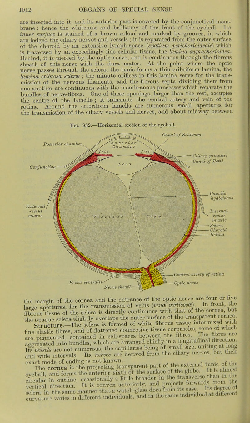 are inserted into it, and its anterior part is covered by the conjunctival mem- brane : hence the whiteness and briUiancy of the front of the eyeball. Its inner surface is stained of a brown colour and marked by grooves, in which are lodged the ciliary nerves and vessels ; it is separated from the outer surface of the choroid by an extensive lymph-space [s-patium perichorioideale) which is traversed by an exceedingly fine cellular tissue, the lamina suprachorioidea. Beliind, it is pierced by the optic nerve, and is continuous through the fibrous sheath of this nerve with the dura mater. At tlie point where the optic nerve passes through the sclera, the tunic forms a thin cribriform lamina, the lamina cribrosa sclerce ; the minute orifices in this lamina serve for the trans- mission of the nervous filaments, and the fibrous septa dividing them from one another are continuous with the membranous processes which separate the bundles of nerve-fibres. One of these openings, larger than the rest, occupies the centre of the lamella ; it transmits the central artery and vein of the retina. Around the cribriform lameUa are numerous small apertures for the transmission of the ciliary vessels and nerves, and about midway between Fig. 832.—Horizontal section of the eyeball. Canal of Schlemm c;i Posteriw chamber ^ Conjunctiva External/ rectus muscle - Ciliary processes Canal of Petit Canalis hyaloideus Internal rectus muscle Sclera Choroid Retina Fovea centralis Nerve sheath Central artery of retina Optic tierve the margin of the cornea and the entrance of the optic nerve are four or five large apertures, for the transmission of veins (venoB vorticosce) in front, tne fibrous tissue of the sclera is directly continuous with that of the cornea, but the opaque sclera sUghtly overlaps the outer surface of the transparent cornea Structure-The sclera is formed of white fibrous tissue intermixed with fine elastic fibres, and of flattened connective-tissue coi-pusc es, ^^^^^^ '^^'^^^ are pigmented, contained in cell-spaces between the fibres The ^^^res a e abated into bundles, which are arranged chiefly m a longitudinal direction. a It numerous, the capillaries being of smaU ^^ ^^t? and wide intervals. Its nerves are derived from the ciLary nerves, but their ''thrc?rnfe p\^^^^^^ part of the external tunic of the evebaU and forms he^anterior sixth of the surface of the globe. It ,s almost cfrcuS m oXe, occasionally a Uttle broader in the trvansverse than 11 t c vert^cri direction. It is convex anteriorly, and projects forwards fjon the XlTln V^l^r^xe manner that a watch-gla,ss does from its cast^ degree curvatm-e in different individuals, and in the same individual at different