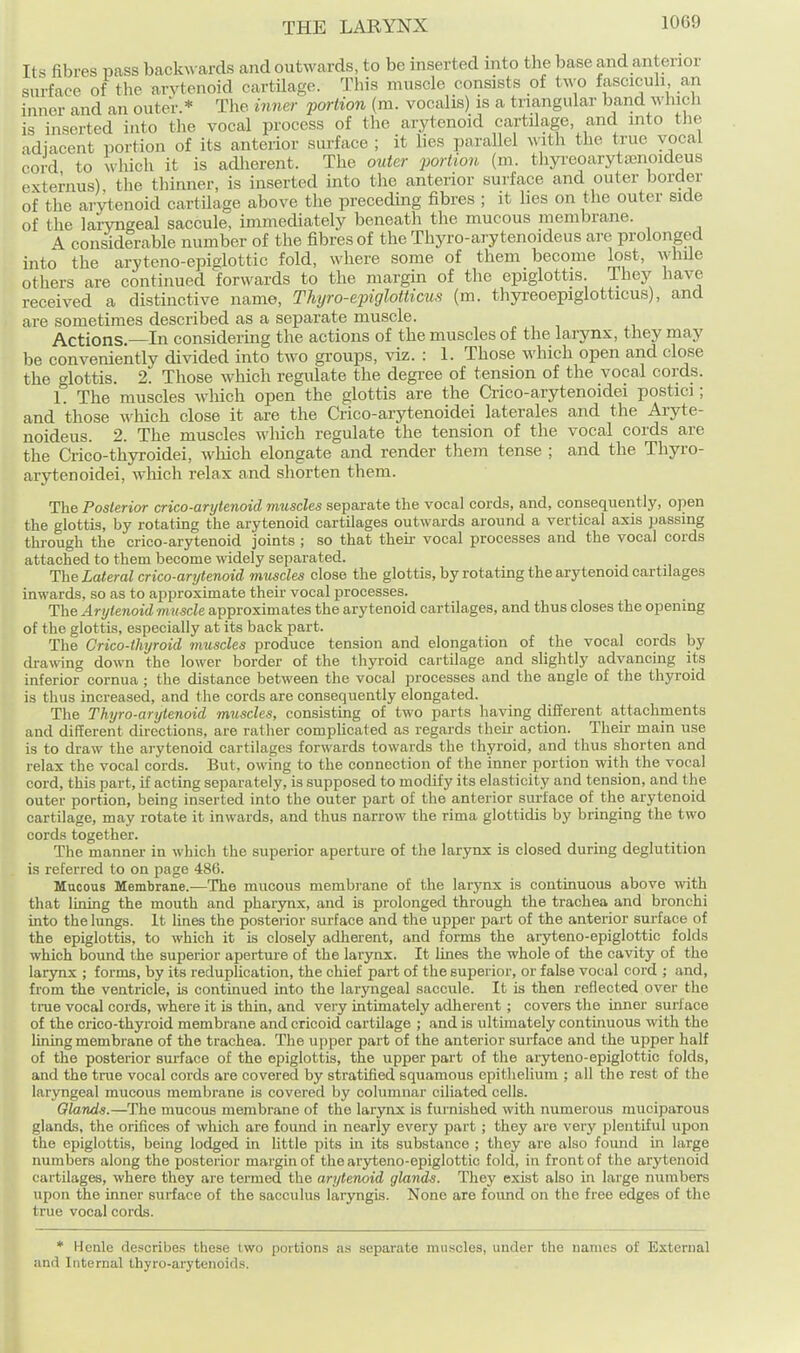 Its fibres pass backwards and outwards, to be inserted into the base and anterior surface of the arytenoid cartilage. This muscle consists of two fasciculi an inner and an outer.* The inner portion (ra. vocalis) is a triangular band which is inserted into the vocal process of the arytenoid cartilage and into the adjacent portion of its anterior surface ; it lies parallel ^^■lth the true vocal cord to which it is adherent. The outer portion (m. tliyreoarytajnoideus externus) the tliinner, is inserted into the anterior surface and outer border of the arytenoid cartilage above the preceding fibres ; it lies on the outer side of the laryngeal saccule, immecUately beneath the mucous membrane. A considerable number of the fibres of the Thyro-ary tenoideus are prolonged into the aryteno-epigiottic fold, where some of them become lost, whUe others are continued forwards to the margin of the epiglottis. They have received a distinctive name, Thyro-epiglotticus (m. thyreoepiglotticus), and are sometimes described as a separate muscle. Actions.—In considering the actions of the muscles of the larynx, they may be conveniently divided into two groups, viz. : 1. Those which open and close the glottis. 2. Those which regulate the degree of tension of the vocal cords. 1. The muscles which open the glottis are the Crico-arytenoidei postici; and those which close it are the Crico-arytenoidei laterales and the Aryte- noideus. 2. The muscles wliich regulate the tension of the vocal cords are the Crico-thyroidei, which elongate and render them tense ; and the Thyro- arytenoidei, which relax and shorten them. The Posterior crico-arytenoid muscles .separate the vocal cords, and, consequently, open the glottis, by rotating the arytenoid cartilages outwards around a vertical axis passing through the crico-arytenoid joints ; so that their vocal processes and the vocal cords attached to them become widely separated. ThQ Lateral crico-arytenoid miiscles close the glottis, by rotating the arytenoid cartilages inwards, so as to approximate their vocal processes. The Arytenoid m uscle approximates the arytenoid cartilages, and thus closes the opening of the glottis, especially at its back part. The Crico-thyroid muscles produce tension and elongation of the vocal cords by di-awing down the lower border of the thyroid cartilage and slightly advancing its inferior' cornua ; the distance between the vocal processes and the angle of the thyroid is thus increased, and the cords are consequently elongated. The Thyro-arytenoid muscles, consisting of two parts having different attachments and different directions, are rather complicated as regards their action. Their main use is to draw the arytenoid cartilages forwards towards the thyroid, and thus shorten and relax the vocal cords. But, owing to the connection of the inner portion with the vocal cord, this part, if acting separately, is supposed to modify its elasticity and tension, and the outer portion, being inserted into the outer part of the anterior surface of the arytenoid cartilage, may rotate it inwards, and thus narrow the rima glottidis by bringing the two cords together. The manner in which the superior aperture of the larynx is closed during deglutition is referred to on page 486. Mucous Membrane.—The mucous membrane of the larynx is continuous above with that lining the mouth and pharynx, and is prolonged through the trachea and bronchi into the lungs. It lines the posterior surface and the upper part of the anterior surface of the epiglottis, to which it is closely adherent, and forms the aryteno-epigiottic folds which bound the superior aperture of the larynx. It lines the whole of the cavity of the larynx ; forms, by its reduplication, the chief part of the superior, or false vocal cord ; and, from the ventricle, is continued into the laryngeal saccule. It is then reflected over the trae vocal cords, where it is thin, and very intimately adherent ; covers the inner surface of the crico-thyroid membrane and cricoid cartilage ; and is ultimately continuous with the lining membrane of the trachea. The upper part of the anterior surface and the upper half of the posterior sui-face of the epiglottis, the upper part of the aryteno-epigiottic folds, and the true vocal cords are covered by stratified squamous epithelium ; all the rest of the laryngeal mucous membrane is covered by columnar ciliated cells. Glands.—The mucous membrane of the larynx is furnished with numerous muciparous glands, the orifices of which are found in nearly every part ; they are very plentiful upon the epiglottis, being lodged in little pits in its substance ; they are also foimd in large numbers along the posterior margin of the aryteno-epigiottic fold, in front of the arytenoid cartilages, where they are termed the arytenoid glands. They exist also in large numbers upon the inner surface of the sacculus laryngis. None are found on the free edges of the true vocal cords. * Henle describes these two portions as separate muscles, under the uanies of External and Internal thyro-arytenoids.