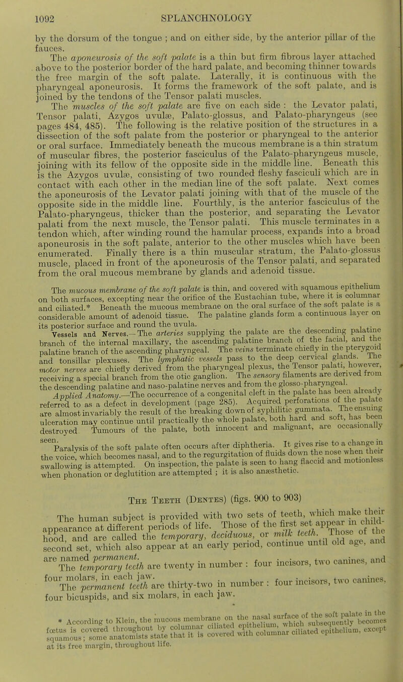 by the dorsum of the tongue ; and on either side, by the anterior pillar of the fauces. The aponeurosis of the soft 'palate is a thin but firm fibrous layer attaclied . above to the posterior border of the hard palate, and becoming thinner towards the free margin of the soft palate. Laterally, it is continuous ^\dth the pharyngeal aponeurosis. It forms the framcM'ork of the soft palate, and is joined by the tendons of the Tensor palati muscles. The muscles of the soft palate are five on each side : the Levator palati. Tensor palati, Azygos uvulae, Palato-glossus, and Palato-pharyngeus (see pages 484, 485). The following is the relative position of the structures in a dis'section' of the soft palate from the posterior or pharyngeal to the anterior or oral surface. Immediately beneath the mucous membrane is a thin stratum of muscular fibres, the posterior fasciculus of the Palato-pharyngeus muscle, joining mth its fellow of the opposite side in the middle line. Beneath tins is the Azygos uvulae, consisting of two rounded fleshy fasciculi which are in contact with each other in the median line of the soft palate. Next comes the aponeurosis of the Levator palati joining with that of the muscle of the opposite side in the middle line. Pourtlily, is the anterior fasciculus of the Palato-pharyngeus, tMcker than the posterior, and separating the Levator palati from the next muscle, the Tensor palati. This muscle terminates m a tendon wliich, after winding round the hamular process, expands into a broad aponeurosis in the soft palate, anterior to the other muscles wliich have been enumerated. Finally there is a thin muscular stratum, the Palato-glossus muscle, placed in front of the aponeurosis of the Tensor palati, and separated from the oral mucous membrane by glands and adenoid tissue. The mucous membrane of the soft palate is thin, and covered with squamous epithelium on both surfaces, excepting near the orifice of the Eustachian tube, where it is columnar and ciUated.* Beneath the mucous membrane on the oral surface of the soft palate is a considerable amount of adenoid tissue. The palatine glands form a continuous layer on its posterior surface and round the uvula. Vessels and Nerves.-The arteries supplying the palate are the descending palatine branch of the internal maxillary, the ascending palatine branch of the facial, and tlie palatine branch of the ascending pharyngeal. The veins terminate chiefly m the pterygoid and tonsillar plexuses. The lymphatic vessels pass to the deep cervical glands, ibe motor nerves are chiefly derived from the pharyngeal plexus, the Tensor palati, hmvever receiving a special branch from the otic gangUon. Tlie sensory filaments are derived from the descendmg palatine and naso-palatine nerves and from the glo^so-P^^^^y^,^*^^^^ Applied Anatomij.-The occurrence of a congenital cleft m the palat^e has been alread> referred to as a defect in development {page 285). Acquired perforatioiu« of the pa .^^^ are almost invariably the result of the breaking down of syphilitic g^'^'^t^-.^he ensuing ulceration may continue until practically the whole palate both hard and Boft> has bee destroyed Tumours of the palate, both innocent and malignant, are occasionally Paralysis of the soft palate often occurs after diphtheria. It gives rise to a change in the vSwhich becomes nasal, and to the regurgitation of fluids down the nose .^en hei swallowii^g is attempted. On inspection, the palate is seen to hang flaccid and motionless when phonation or deglutition are attempted ; it is also anaesthetic. The Teeth (Dentes) (figs. 900 to 903) The human subject is provided with two sets of teeth, ^^l^i^l^J^^'j^^l^Jif appearance at different periods of life. Those of the Sff .^^J/PI^^i^f^t hood, and are caUed the temporary, deciduous or ^ d second set, which also appear at an early period, contmue until old age, ana ^^hTLi?:r;S^^ are twenty in number : four incisors, two canines, and ''Tr^^SrlJ^are thirty-two in number : four incisors, two canines, four bicuspids, and six molars, in each jaw. * According to Klein, the mucous mc-nbraiio on tj'^ --Jll^^f,^-^i^^^ ISani^sTirf a:;=;r StS cS:2 ^S^S^n^^cttea cA-il, except at its free margin, tliroiighout life.