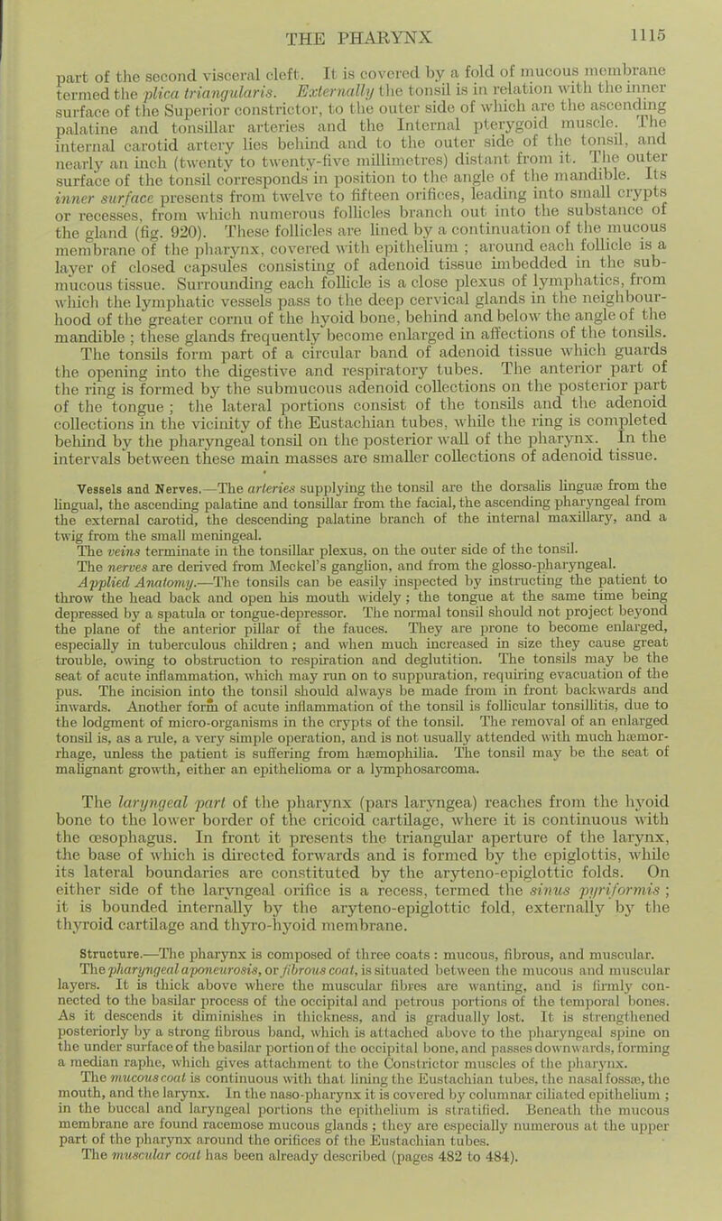 part of the second visceral cleft. It is covered by a fold of mucous membrane termed the plica triangularis. Externally the tonsil is in relation with the inner surface of the Superior constrictor, to the outer side of which are the ascending palatine and tonsillar arteries and the Internal pterygoid muscle Tlie internal carotid artery lies behind and to the outer side of the tonsil, and nearly an inch (twenty to twenty-five millimetres) distant from it. The outer surface of the tonsil corresponds in position to the angle of tlie mandible. Its inner surface presents from twelve to fifteen orifices, leading into small crypts or recesses, from which numerous folHcles branch out into the substance of the gland (fig. 920). These follicles are fined by a continuation of the mucous menibrane of the pharynx, covered with epithelium ; around each follicle is a layer of clo.sed capsules consisting of adenoid tissue imbedded in the sub- mucous tissue. Surrounding each follicle is a close plexus of lymphatics, from which the lymphatic vessels pass to the deep cervical glands in the neighbour- hood of the greater cornu of the hyoid bone, behind and below the angle of the mandible ; these glands frequently become enlarged in affections of the tonsils. The tonsils form part of a circular band of adenoid tissue M'hich guards the opening into the digestive and respiratory tubes. The anterior part of the ring is formed by the submucous adenoid collections on the posterior part of the tongue ; the lateral portions consist of the tonsils and the adenoid collections in the vicinity of the Eustachian tubes, while the ring is completed behind by the pharyngeal tonsil on the posterior wall of the pharynx. In the intervals between these main masses are smaller collections of adenoid tissue. Vessels and Nerves.—The arteries supplying the tonsil are the dorsalis linguae from the lingual, the ascending palatine and tonsillar from the facial, the ascending pharyngeal from the external carotid, the descending palatine branch of the internal maxillary, and a twig from the small meningeal. The veins terminate in the tonsillar plexus, on the outer side of the tonsil. Tlie nerves are derived from Meckel's gangUon, and from the glosso-pharyngeal. Applied Anatomy.—The tonsils can be easily inspected by instnicting the patient to throw the head back and open his mouth widely ; the tongrie at the same time being depressed by a spatula or tongue-depressor. Tlie normal tonsil should not project beyond the plane of the anterior piUar of the fauces. They are prone to become enlarged, especiaUy in tuberculous children ; and when much increased in size they cause great trouble, o\ving to obstruction to respiration and deglutition. The tonsils may be the seat of acute inflammation, which may run on to suppuration, requiring evacuation of the pus. The incision into the tonsil should always be made from in front backwards and inwards. Another form of acute inflammation of the tonsil is follicular tonsilUtis, due to the lodgment of micro-organisms in the crypts of the tonsil. The removal of an enlarged tonsil is, as a nile, a very simple operation, and is not usually attended with much hasmor- rhage, unless the patient is suffering from hoemophilia. The tonsil may be the seat of malignant growth, either an epithelioma or a Ijrmphosarcoma. The laryngeal part of the pharynx (pars laryngea) reaches from the hyoid bone to the lower border of the cricoid cartilage, where it is continuous with the oesophagus. In front it presents the triangular aperture of the larynx, tlie base of which is directed forwards and is formed by the epiglottis, whUe its lateral boundaries are constituted by the aryteno-epiglottic folds. On either side of the laryngeal orifice is a recess, termed the sinus pyri/ormis ; it is bounded internally by the aryteno-epiglottic fold, externally by the thyroid cartilage and thyro-hyoid membrane. structure.—^The pharynx is composed of three coats: mucous, fibrous, and muscular. Thepharyngealaponeurosis,or fihrojiscoat, iasituated between the mucous and muscular layers. It is thick above where the muscular fibres are wanting, and is firmly con- nected to the basilar process of the occipital and petrous portions of the temporal bones. As it descends it diminishes in thickness, and is gradually lost. It is strengthened posteriorly by a strong fibrous band, which is attached above to the pharyngeal spine on the under sui-faceof the basilar portion of the occipital bone, and passes downwards, forming a median raphe, which gives attachment to the Constrictor muscles of the pharynx. The nmcouscoat is continuous with that lining the liustachian tubes, the nasal fossie, the mouth, and the larynx. In the naso-pharynx it is covered by columnar cihated epithelium ; in the buccal and laryngeal portions the epithelium is stratified. Beneath the mucous membrane are found racemose mucous glands ; they are especially numerous at the upper part of the pharynx around the orifices of the Eustachian tubes. The muscular coat has been already described (pages 482 to 484).