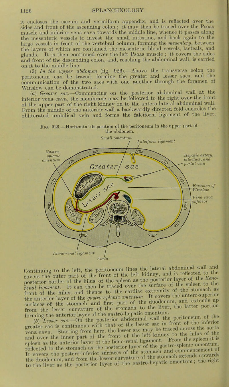 it encloses the caecum and vermiform appendix, and is reflected over the sides and front of the ascending colon ; it may then be traced over the Psoas muscle and inferior vena cava towards tlie middle Ime, whence it passes along tlie mesenteric vessels to invest the small intestine, and back again to the large vessels in front of the vertebral column, forming tlie mesmtery, between the layers of which are contained the mesenteric blood-vessels, lacteals, and glands. It is then continued over the left Psoas muscle ; it covers the sides and front of the descending colon, and, reaching the abdominal wall, is carried on it to the middle line. (3) In the topper abdomen (fig. 926).—Above the transverse colon the peritoneum can be traced, forming the greater and lesser sacs, and the communication of the two sacs with one another through the foramen of Winslow can be demonstrated. (a) Greater sac.—Commencing on the posterior abdominal Avall at the inferior vena cava, the membrane may be followed to the right over the front of the upper part of the right kidney on to the antero-lateral abdominal wall. From the middle of the anterior wall a backwardly directed fold encircles the obliterated umbilical vein and forms the falciform' ligament of the liver. Fis. 926.—Horizontal disposition of the peritoneum in the upper part of the abdomen. Small omentum Falciform ligament Gastro- splenic omentum Hepatic artery, bile-duct, and portal vein Foramen of Winslow Vena cava inferior Lieno-renal ligament Aorta Continuing to the left, the peritoneum lines the lateral f .domical ;vall and covers the outer part of the front of the left kidney, and is ''eflected to the posterior border of the hilus of the spleen as the P«f ^^^VSTslen to the knal ligament. It can then be traced over the surface of f^^^P^^^ach as front of the hilus, and thence to the cardiac extremity ^l^^'^^.^^^'^^^^^ the anterior layer of the gastro-splenic omen urn. It covers ^l^*^^ jt'?;^-^^; surfaces of the stomach and first part o the duodenum and e^^^^ from the lesser curvature of the stomach to the liver, the latter portion forming the anterior laver of the gastro-hepatic omentum. . lb) Cesser sac.-On the posterior abdominal wall the P«tjJJ\2i*^r greater sac is continuous with that of the lesser sac ^J^l^*^;/^,^ ^^i^^;^ ?ena cava. Starting from liere, the lesser sac nmy be traced ' J and over the inner part of the front of the left l^^dney to he hjus spleen as the anterior layer of the 1 eno-renal l^^J^ ^^^^^^[^^ J [.'^^^^^^^^^ reflected to the stomach as the posterior layer of t'^^.f^^,^;'f/^X^, of It covers the postero-inferior surfaces of the «f'?''^':^^ . XdTup'^^^^^^^^ the duodenum and from the lesser curvature of the ^« J ^^^^^^^^ to the liver as the posterior layer of tlie gastro-hepatic omentum, tne rig