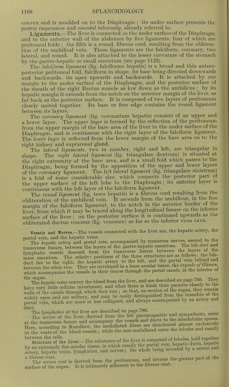 convex and is moulded on to the Diaphragm ; its under surface j)resent8 the gastric impression and omental tuberosity, aheady referred to. Ligaments.—The liver is connected to tlie under surface of the Diaphragm and to the anterior wall of the abdomen by five ligaments, four of which are peritoneal folds ; the fifth is a round, fibrous cord, resulting from the obhtera- tion of the umbihcal vein. These ligaments are the falciform, coronary, two lateral, and round. It is also attached to the lesser curvature of the stomach by the gastro-hepatic or small omentum (see page 1123). Tlio falciform ligament (lig. falciforme hepatis) is a broad and thin antero- posterior peritoneal fold, falciform in shape, its base being directed downwards and backwards, its apex upwards and backwards. It is attached by one margin to the under surface of the Diaphragm, and the posterior surface of the sheath of the right Rectus muscle as low down as the umbilicus ; by its hepatic margin it extends from the notch on the anterior margin of the liver, as far back as the posterior surface. It is composed of two layers of peritoneum closely united together. Its base or free edge contains the round ligament between its layers. The coronary ligament (lig. coronarium hepatis) consists of an upper and a lower layer. The upper layer is formed by the reflection of the peritoneum from the upper margin of the bare area of the liver to the under surface of the Diaphragm, and is continuous with the right layer of the falciform hgament. The lower layer is reflected from the lower margin of the bare area on to the right kidney and suprarenal gland. The lateral ligaments, two in number, right and left, are triangular m shape. The right lateral ligament (hg. triangulare dextrum) is situated at the right extremity of the bare area, and is a small fold which passes to the Diaphragm, being formed by the apposition of the upper and lower layers of the coronary hgament. The left lateral ligament (hg. triangulare smistrum) is a fold of some considerable size, which connects the posterior part of the upper surface of the left lobe to the Diaphragm ; its anterior layer is continuous with the left layer of the falciform hgament. The round ligament (hg. teres hepatis) is a fibrous cord resulting from the obhteration of the umbihcal vein. It ascends from the umbihcus, m the free margin of the falciform hgament, to the notch in the anterior border of the hver from wliich it may be traced along the longitudinal fissui-e on the inferior surface of the hver ; on the posterior surface it is contmued upwards as the obliterated ductus venosus (hg. venosum) as far as the inferior vena cava. Vessels and Nerves.—The vessels connected with the hver are, the hepatic artery, the portal vein, and the hepatic veins. The hevatic artery and portaZ vein, accompanied by numerous nerves, ascend to tJje transverse fissure, between the layers of the gastro-hepatic omentum. The hile-ducl and lymphatic vessels descend from the transverse fissure between the layers of the same omentum. The relative positions of the three structures are as follows^^^^^^^^^ duct lies to the right, the hepatic artery to the left, and the portal vein behind and between the other two. They are enveloped in a loose areolar tissue, ^^IcapsuU ofOhsson which accompanies the vessels in their course through the portal canals, m the mtenor of ^^^Shepatic veins convey the blood from the hver, and are described on page 760 They have very httle cellular investment, and what there is bmds then panetes ^lo^ely to t^^ walls of the canals through which they run ; so that, on sec ion f^^^^^X'Jt^es 7Z widely open and are solitary, and may be easily distinguished ^^om the branches ot t^e portal vein, which are more or less collapsed, and always accompamed by an aitery and The lympliatics of the liver are described on page 786. ,„iUof,v »ntpr iSe Lves of the liver, derived from the left pneiunogastnc STm,mU^^^^^^^ at the transverse fissure and accompany the vessels and ducts to the mteilobular spaces. Heie accSg to Korolkow. the medullated fibres are distributwi almost exclusive y S the coaTs oTthe Sood-vessels ; while the non-meduUated enter the lobules and ramify ''ItTuct'i'e of the Iiver._The substance of the Hver is composed of lobules, held together by a^Sr mely fine areolar tissue, in which ramify the porta veui, ^^^^ic duct^^^^^^^^^ aJtery, hepatic veins, lymphatics, and nerves; the whole being invested by a serous and 'Srot coat is derived from the peritoneum and invests the greater part of the surface of the organ. It is intimately adherent to the fibrous coat.