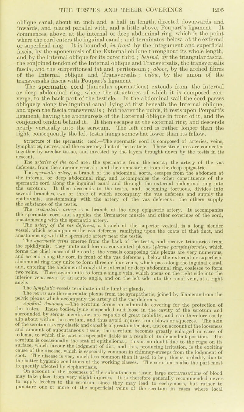 oblique canal, about an inch and a half in length, directed downwards and inwards, and placed parallel with, and a little above, Poupart's ligament. It commences, above, at the internal or deep abdominal ring, which is the point where the cord enters the inguinal canal; and terminates, below, at the external or superficial ring. It is bounded, in front, by the integument and superficial fascia, by the aponeurosis of the External oblique throughout its whole length, and by the Internal oblique for its outer third ; behind, by the triangular fascia, the conjoined tendon of the Internal oblique and Transversalis, tlie transversalis fascia, and the subperitoneal fat and peritoneum ; above, by the arched fibres of the Internal oblique and Transversalis ; below, by the union of the transversalis fascia with Poupart's ligament. The spermatic cord (funiculus spermaticus) extends from the internal or deep abdominal ring, where the structures of which it is composed con- verge, to the back part of the testicle. In the abdominal wall the cord passes obliquely along the inguinal canal, Ijring at first beneath the Internal oblique, and upon the fascia transversalis ; but nearer the pubis, it rests upon Poupart's ligament, having the aponeurosis of the External oblique in front of it, and the conjoined tendon beliind it. It then escapes at the external ring, and descends nearly vertically into the scrotum. The left cord is rather longer than the right, consequently the left testis hangs somewhat lower than its fellow. structure of the spermatic cord.—The spermatic cord is composed of arteries, veins, lymphatics, nerves, and tlie excretory duct of the testicle. These structures are connected together by areolar tissue, and invested by the layers brought down by the testis in its descent. The arteries of the cord are: the spermatic, from the aorta; the artery of the vas deferens, from the superior vesical ; and the cremasteric, from the deep epigastric. The spermaiic artery, a branch of the abdominal aorta, escapes from the abdomen at the internal or deep abdominal ring, and accompanies the other constituents of the spermatic cord along the inguinal canal and through the external abdominal ring into the scrotum. It then descends to the testis, and, becoming tortuous, divides into several branches, two or three of which accompany the vas deferens and supply the epididymis, anastomosing with the artery of the vas deferens: the others supply the substance of the testis. The cremasteric artery is a branch of the deep epigastric artery. It accompanies the spermatic cord and supplies the Cremaster muscle and other coverings of the cord, anastomosing with the spermatic artery. The artery of the vas deferens, a branch of the superior vesical, is a long slender vessel, which accompanies the vas deferens, ramifying upon the coats of that duct, and anastomosing with the spermatic artery near the testis. The spermatic veins emerge from the back of the testis, and receive tributaries from the epididymis: they unite and form a convoluted plexus (plexus pampiniformis), which forms the chief mass of the cord ; the vessels composing this plexus are very numerous, and ascend along the cord in front of the vas deferens ; below the external or superficial abdominal ring they unite to form three or four veins, which pass along the inguinal canal, and, entering the abdomen through the internal or deep abdominal rmg, coalesce to form two veins. These again unite to form a single vein, which opens on the right side into the inferior vena cava, at an acute angle, and on the left side into the renal vein, at a right angle. The lymphatic vessels terminate in the lumbar glands. The nerves are the spermatic plexus from the sympathetic, joined by filaments from the pelvic plexus which accompany the artery of the vas deferens. Applied Anatomy.—The sci'otum forms an admirable covering for the protection of the testes. These bodies, lying suspended and loose in the cavity of the scrotum and surrounded by serous membrane, are capable of great mobility, and can therefore easily shp about within the scrotum, and thus avoid injuries from blows or squeezes. The skin of the scrotum is very elastic and capable of great distension, and on account of the looseness and amount of subcutaneous tissue, the scrotum becomes greatly enlarged in cases of oedema, to which this part is especially liable as a result of its dependent position. The scrotiun is occasionally the seat of epithelioma ; this is no doubt due to the ruga; on its surface, which favour the lodgment of dirt, and this, producing irritation, is the exciting cause of the disease, which is especially common in chimney-sweeps from the lodgment of soot. The disease is very much less common than it used to be ; this is probably due to the better hygienic conditions of the working classes. The scrotum is also the part most frequently affected by elephantiasis. On account of the looseness of the subcutaneous tissue, large extravasations of blood may take place from very slight injuries. It is therefore generally recommended never to apply leeches to the scrotum, since they may lead to ecchymosis, but rather to puncture one or more of the superficial veins of the scrotum in cases where local