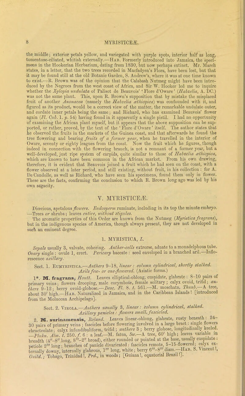 tlie middle; exterior petals yellow, and variegated with purple spots, interior half as long, tomentose-ciliated, whitish externally.—Hab. Formerly introduced into Jamaica, the speci- mens in the Hookerian Herbarium, dating from 1830, but now perhaps extinct. Mr. March states, in a letter, that the two trees recorded in Macfadyen’s Flora, have been lost, but that it may be found still at the old Botanic Garden, S. Andrew’s, where it was at one time known to exist.—R. Brown was of the opinion that the Calabash Nutmeg might have been intro- duced by the Negroes from the west coast of Africa, and Sir W. Hooker led me to inquire whether the Xylopia undulata of Palisot de Beauvois’ ‘ Flore d’Oware’ (JJabzelia, A. DC.) was not the same plant. This, upon R. Brown’s supposition that by mistake the misplaced fruit of another Anonacea (namely the Uabzelia cethiopica) was confounded with it, and figured as its product, would be a correct view of the matter, the remarkable undulate outer, and cordate inner petals being the same; and Richard, who has examined Beauvois’ flower again (FI. Cub. 1. p. 54) having found in it apparently a single pistil. I had no opportunity of examining the African plant myself, but it appears that the above supposition can be sup- ported, or rather, proved, by the text of the ‘ Flore d’Oware ’ itself. The author states that he observed the fruits iu the markets of the Guinea coast, and that afterwards he found the tree flowering and bearing fruits of a former year, when he travelled in the interior of Oware, seventy or eighty leagues from the coast. Now the fruit which he figures, though indeed in connection with the flowering branch, is not a remnant of a former year, but a well-developed, just ripe system of carpids, quite similar to those of Habzelia cethiopica, which are known to have been common in the African market. From his own drawing, therefore, it is evident that Beauvois joined a fruit which he had seen on the coast, with a flower observed at a later period, and still existing, without fruit, in his collection : for A. He Candolle, as well as Richard, who have seen his specimens, found them only in flower. These are the facts, confirming the conclusion to which R. Brown long ago was led by his own sagacity. V. MYRISTICEjE. Bicecious, apetalous/owm. (Endosperm ruminate, including in its top the minute embryo. •—Trees or shrubs; leaves entire, without stipules. The aromatic properties of this Order are known from the Nutmeg (Myristicafragrans), but in the indigenous species of America, though always present, they are not developed in such an eminent degree. 1. MYRISTICA, L. Sepals usually 3, valvate, cohering. Anther-cells extrorse, adnate to a monadelphous tube. Ovary single : ovule 1, erect. Pericarp baccate : seed enveloped iu a branched aril.—Inflo- rescence axillary. Sect. 1. Eumyristica.—A?ithers 9-18, linear: column cylindrical, shortly stalked. Axils few- or one-flowered. (Asiatic forms.) 1*. M. fragrans, Houit. Leaves elliptical-oblong, cuspidate, glabrate : 8-10 pairs of primary veins; flowers drooping, male corymbose, female solitary ; calyx ovoid, trifid; an- thers 9—12; berrv ovoid-globose.— Duse. FI. 8. t. 561. M. moschata, Thunk.— A tice, about 30' high.—Hab. Naturalized in Jamaica, and in the Caribbean Islands ! [introduced from the Moluccan Archipelago]. Sect. 2. Virola—Anthers usually 3, linear: column cylindrical, stalked. Axillary panicles : flowers small, fascicled. 2. IVI. surinamensis, Poland. Leaves linear-oblong, glabrate, nasty beneath: 24- 30 pairs of primary veins ; fascicles before flowering involved in a large bract: single flowers cbracteolate; calyx infundibuliform, trifid ; anthers 3 ; berry globose, longitudinally keeled. —Plulcn. Aim. t. 250./. 6 : a leaf—M. fatua, Stv.—A tree, 60' high; leaves variable in breadth (4-8 long, 8'—2 broad), either rounded or pointed at the base, usually cuspidate : petiole 2' long; branches of panicle divaricated .• fascicles remote, 5-15-flowered; calyx ex- ternally downy, internally glabrous, 1' long, white; berry G'-8' dinm.—Hab. S. Vincent., Guild.; Tobago, Trinidad I, Prd., in woods; [Guiana I, equatorial Brazil!].