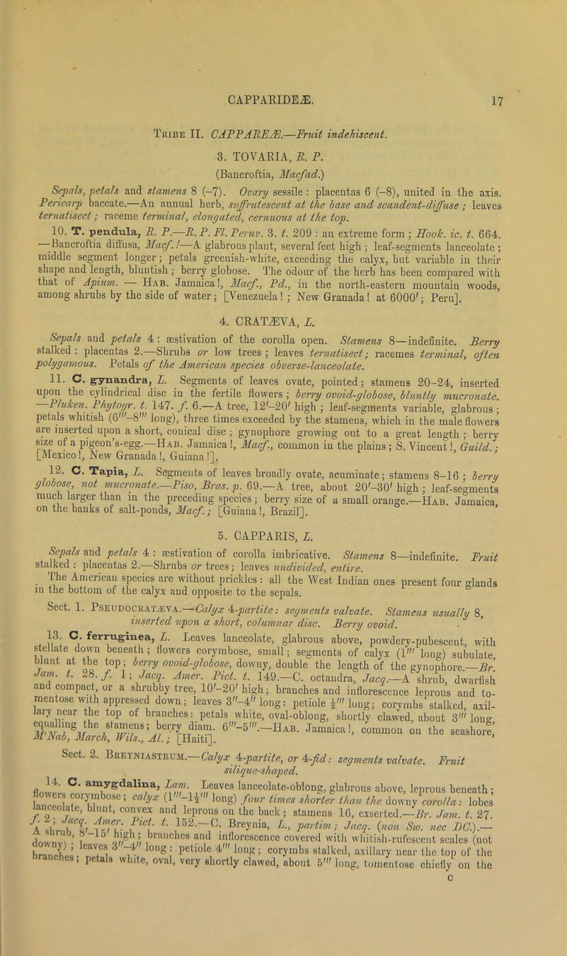 Tribe II. CAPPARE/E.—Fruit indehiscent. 3. TOVARIA, R P. (Bancroftia, Macfad.) Sepals, petals and stamens 8 (-7). Ovary sessile : placentas G (-8), united in the axis. Pericarp baccate.—An annual herb, sufprutescent at the base and scandent-difjuse ; leaves tematisect; raceme terminal, elongated, cernuous at the top. 10. T. pendula, R. P.—R.P. PI. Peruv. 3. t. 209 : an extreme form; Hook. ic. t. 664. -Bancroftia diftusa, Macf.!—A glabrous plant, several feet high; leaf-segments lanceolate; middle segment longer; petals greenish-white, exceeding the calyx, but variable in their shape and length, bluntish ; berry globose. The odour of the herb has been compared with that of Apium. —- Hab. Jamaica!, Macf., Pd., in the north-eastern mountain woods, among shrubs by the side of water; [Venezuela! ; New Granada! at 6000'; Peru]. 4. CRATyEVA, L. Sepals and petals 4 : aestivation of the corolla open. Stamens 8—indefinite. Berry stalked ; placentas 2.—Shrubs or low trees ; leaves tematisect; racemes terminal, often polygamous. Petals of the American species obverse-lanceolate. 11. C. gynandra, L. Segments of leaves ovate, pointed; stamens 20-24, inserted upon the cylindrical disc in the fertile flowers ; berry ovoid-globose, bluntly mucronate. P/uken. Phytogr. t. 147-./. 6.—A tree, 12-20'high ; leaf-segments variable, glabrous; petals whitish (6'—8' long), three times exceeded by the stamens, which in the male flowers are inserted upon a short, conical disc; gynophore growing out to a great length ; berry size of a pigeon’s-egg.—Hab. Jamaica !, Macf., common in the plains; S. Vincent 1, Guild.; [Mexico!, New Granada!, Guiana!]. 12. C. Tapia, L. Segments of leaves broadly ovate, acuminate; stamens 8-16 ; hern/ globose not mucronate.—Piso, Bras. p. 69.—A tree, about 20'-30' high; leaf-segments much larger than in the preceding species; berry size of a small orange.—Hab. Jamaica on the banks of salt-ponds, Macf; [Guiana!, Brazil], 5. CAPPARIS, L. Sepals and petals 4 : aestivation of corolla imbricative. Stamens 8—indefinite. Fruit stalked : placentas 2.—Shrubs or trees; leaves undivided, entire. The American species are without prickles: all the West Indian ones present four glands in the bottom of the calyx and opposite to the sepals. Sect. 1. Pseudocrat.eva.—Calyx ^-partite: segments valvate. Stamens usually 8, inserted upon a short, columnar disc. Berry ovoid. 13 C. ferruginea, L. Leaves lanceolate, glabrous above, powdery-pubescent, with stellate down beneath; flowers corymbose, small; segments of calyx (1' long) subulate blunt at the top; berry ovoid-globose, dowuy, double the length of the gynophore —Br Jam. 1. 28./. 1; Jacq. Amer. Piet. t. 149.—C. octaudra, Jacq.—A shrub, dwarfish and compact, or a shrubby tree, 10'-20'high; branches and inflorescence leprous and to- mentose with appressed down; leaves 3-4 long: petiole long; corymbs stalked, axil- ary near the top of branches: petals white, oval-oblong, shortly clawed, about 3' long 6 —«<*• —s Sect. 2. BitEYNiASTitUM.—Calyx ^-partite, or 4<-fid: segments valvate. Fruit silique-shaped. flown™ ™ a“ygdali“a> //,”'• , I;c,avcs lanceolate-oblong, glabrous above, leprous beneath; r 'er H™b<fe; calyx (1 -1*' long) four times shorter than the downy corolla: lobes lanceolate, blunt, convex and leprous on the back; stamens 16, exserted.—2?r. Jam. t. 27. A sbnfb'VtmT', i n/' l52-,0: ]fre-vnia> L> Partim i Jacl- (»on Sio. nec DC.).— downv\ • i } qm ,// 3lauc^es an(l inflorescence covered with wbitish-rufescent scales (not branches. 3 °gi petlole 4 lollKl corymbs stalked, axillary near the top of the branches, petals white, oval, very shortly clawed, about 5' long, tomeutose chiefly on the