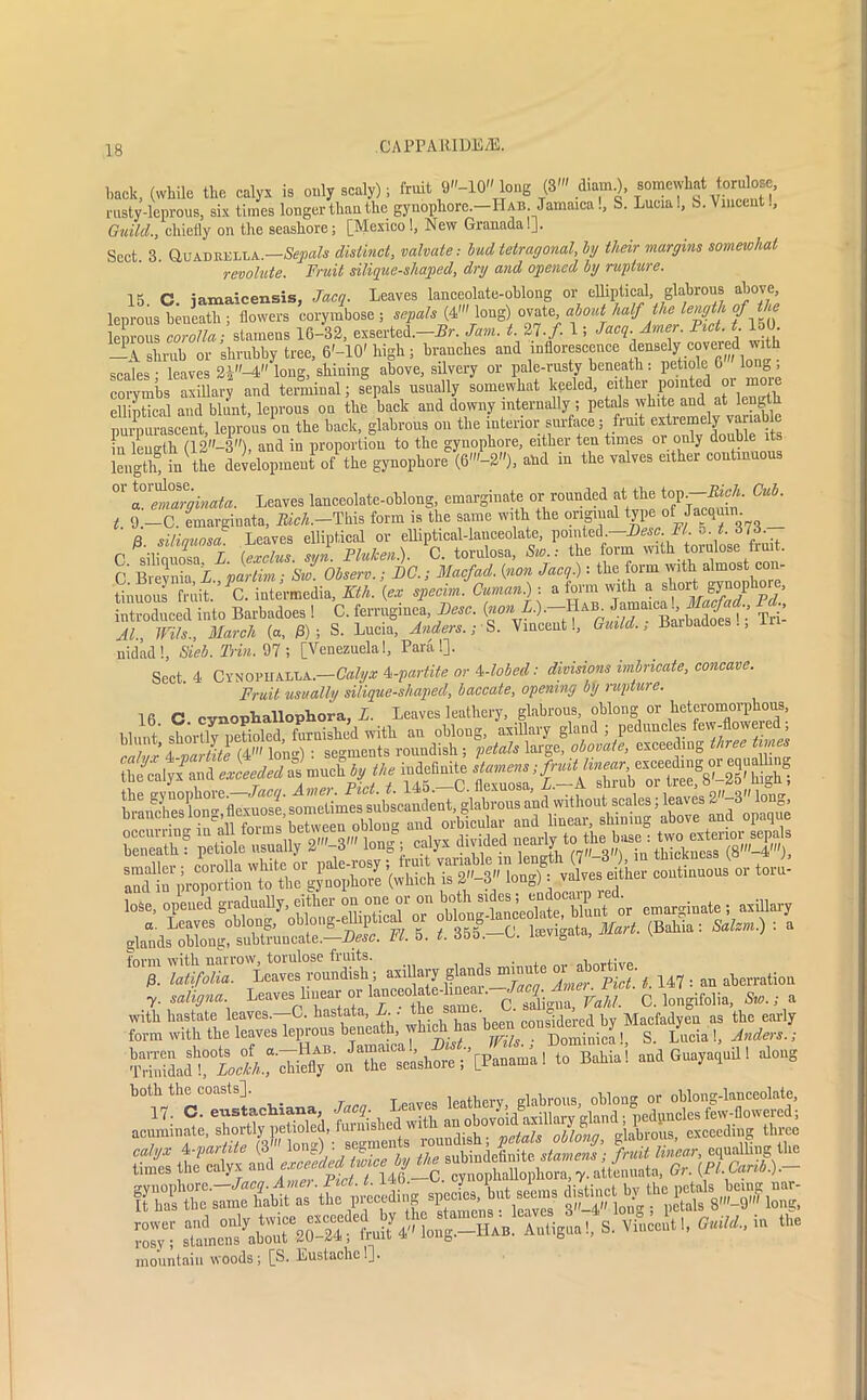 back, (while the calyx is only scaly); fruit 9-10» long (3' diam.), somewhat toralose^ rusty-leprous, six times longer than the gynophore.—ILab. Jamaica!, S. Lucia!, S. Vincent., Guild,., chiefly on the seashore; [Mexico!, New Granada!J. Sect 3 Quadkella.—Sepals distinct, valvate: bud tetragonal, by tlieir margins somewhat revolute. Fruit silique-shaped, dry and opened by rupture. 15. C. iamaicensis, Jacq. Leaves lanceolate-oblong or elliptical, glabrous above leprous beneath ; flowers corymbose ; sepals (4' long) ovate, about half the length °f l Sous corolla; stamens 16-32, exserted.—Br. Jam. t. 27•/• 1 i Jacq Amer. Fid. t 150. —A shrub or shrubby tree, 6'-10' high; branches and inflorescence densely covered with scales • leaves 2i-4 long, shining above, silvery or pale-rusty beneath : petiole 6 long , corymbs axiflary and terminal; sepals usually somewhat kpeled, either pjW or :more elliptical and blunt, leprous on the back and downy internally ; petals white and at length purpurascent, leprous on the back, glabrous on the interior surface; fruit extremely vana in length (12—3), and iu proportion to the gyuopbore, either ten times or only double its length* in the development of the gynophore (6'-2''), ahd m the valves either coutmuou 01' Tfmlrginata. Leaves lanceolate-oblong, emarginate or rounded at the top.-^A. Cub. t. 9.—C. emarginata, TM.-This form is the same with the original typeofJacqaim oilinunsa Leaves elliptical or elliptical-lanceolate, pointed.—Fesc. Jfl. 5. t. 616. C sdiauosa L (exclus. syn. Flulcen). C. torulosa, Sw.: the form with torulose fruit, c’ Brevnia L partim; Sw. Observ.; DC.; Macfad. (inon Jacq.): the form with almost con- tinuous fruit. 'C. intermedia, Kth. (ex specim. Cuman.) - a form with a short introduced into Barbadoes ! C. ferruginea, Fesc. (non,L.).-TL^ Jamau-ygg*, *£ At., Wils., March (a, j8) j S. Lucia, Anders.-, S. Vincent!, Guild.; Baibadoes., nidad!, Sieb.Trin. 97; [Venezuela!, Para!]. Sect. 4 CvNornalla.—Calyx 4-partite or Globed: divisions imbricate, concave. Fruit usually silique-shaped, baccate, opening by rapture. 1 fi C cvnoTjhallophora. L. Leaves leathery, glabrous, oblong or heteromorphous, fil/and ,Lied £ much b, U„ MeHmto ,<«*» ,■/>* both the coasts], leathery, glabrous, oblong or oblong-lanceolate, ry“ Auliguo!, S. Vi..=outl, W in «» mountain woods; [S. Eustachc!].