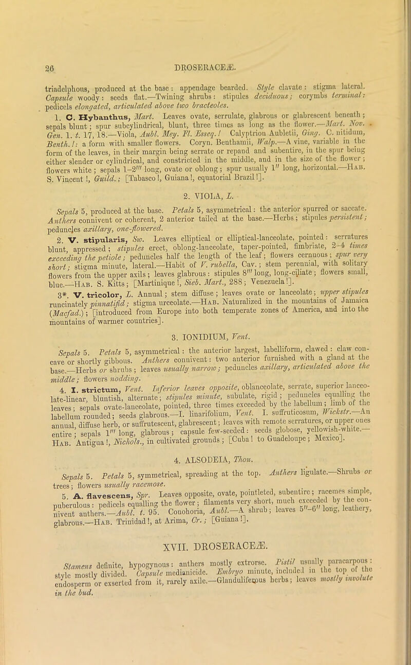 20 DROSE11ACE2E. triadelplious, produced at the ba3e : appendage bearded. Style clavate : stigma lateral. Capsule woody: seeds flat.—Twining shrubs: stipules deciduous; corymbs terminal: pedicels elongated, articulated above two bracteoles. 1. C. Hybanthus, Mart. Leaves ovate, serrulate, glabrous or glabrescent beneath ; sepals blunt; spur subcylindrical, blunt, three times as long as the flower.—Marl. Nov. ■ Gen. 1. t. 17, 18.—Viola, Aubl. Meg. FI. Esseq. / Calyptrion Aubletii, Ging. 0. nitidum, Benth.l: a form with smaller flowers. Coryn. Benthamii, JFalp.—A vine, variable in the form of the leaves, in their margin being serrate or repand and subentire, in the spur being either slender or cylindrical, and constricted in the middle, and in the size of the flower ; flowers white ; sepals 1-2' long, ovate or oblong; spur usually 1 long, horizontal.—Hah. S. Vincent !, Guild.; [Tabasco!, Guiana 1, equatorial Brazil!]. 2. VIOLA, L. Sepals 5, produced at the base. Petals 5, asymmetrical: the anterior spurred or saccate. Anthers connivent or coherent, 2 anterior tailed at the base.—Herbs; stipules persistent; peduncles axillary, one-flowered. 2 V. stipularis, Sw. Leaves elliptical or elliptical-lanceolate, pointed: serratures blunt oppressed; stipules erect, oblong-lanceolate, taper-poiuted, fimbriate, 2-4 times exceeding the petiole; peduncles half the length of the leaf; flowers cernuous ;spur' very short • stigma minute, lateral.—Habit of V, rubella, Cav.; stem perennial, with solitary flowers from the upper axils; leaves glabrous : stipules 8' long, long-ciliate ; flowers small, blue, Hab. S. Kitts; [Martinique!, Sieb. Mart., 288; Venezuela!]. 3* V tricolor, L. Annual; stem diffuse; leaves ovate or lanceolate; upper stipules runcinately pinnatifid; stigma urceolate.—Hab. Naturalized in the mountains of Jamaica (Macfad.); [introduced from Europe into both temperate zones of America, and into the mountains of warmer countries]. 3. IONIDIUM, Vent. Sepals 5 Petals 5, asymmetrical: the anterior largest, lahelliform, clawed : claw con- cave or shortly gibbous. Anthers connivent: two anterior furnished with a gland at the base. Herbs or shrubs ; leaves usually narrow ; peduncles axillary, articulated above the middle; flowers nodding. 4. I. strictnm. Vent. Inferior leaves opposite, oblanceolate, serrate, superior lanceo- late-linear, bluntish, alternate'; stipules minute, subulate, rigid ; peduncles equalling the leaves; sepals ovate-lanceolate, pointed, three times exceeded by the labellum; limb of the labellum rounded; seeds glabrous.—I. linarifolium. Vent. I. suffruticosnm, Wiclcstr.—Na. annual diffuse herb, or suffrutescent, glabrescent; leaves with remote serratures, or upper ones entire ; sepals 1' long, glabrous ; capsule few-seeded: seeds globose, yellowish-white.— Hab. Antigua!, Nichols., in cultivated grounds; [Cuba! to Guadeloupe; Mexico]. 4. ALSODEIA, Thou. Anthers ligulate.- -Shrubs or Sepals 5. Petals 5, symmetrical, spreading at the top. trees; flowers usually racemose. 5 A flavescens, Spr. Leaves opposite, ovate, pointletcd, subentire; racemes simple, nuberulous : pedicels equalling the flower ; filaments very short, much exceeded by the con- nivwrt anther^—Aubl. t. 95. Couohoria, Aubl. A shrub; leaves 5-G long, leathery, glabrous.—Hab. Trinidad!, at Arima, Or.; [Guiana!]. XVII. DROSEKACEiE. Stamens definite, hypogynous: anthers mostly extrorse Pistil style mostly divided. Capsule mediamcidc. Embryo minute, included in the top of the endosperm or exserted from it, rarely axile.—Glandulifespus herbs; leaves mostly involute in the bud.