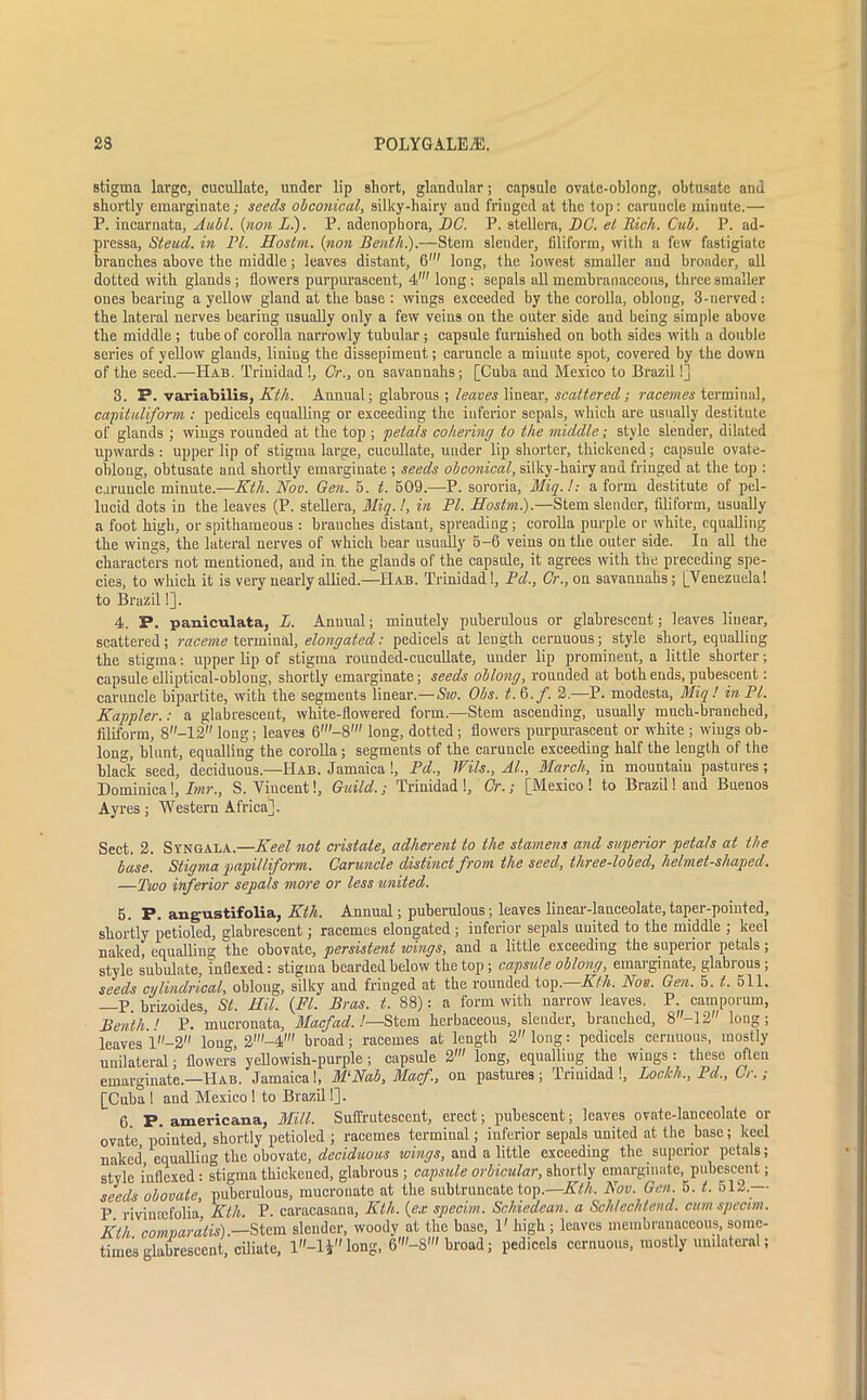 stigma large, cucullate, under lip short, glandular; capsule ovate-oblong, obtusatc and shortly emarginate; seeds ob conical, silky-hairy aud fringed at the top: caruncle minute.— P. incarnata, Aubl. (non L.). P. adenopkora, DC. P. stellera, DC. et Rick. Cub. P. ad- pressa, St end. in PI. Hostm. (non Benth.).—Stem slender, filiform, with a few fastigiatc branches above the middle; leaves distant, 6' long, the lowest smaller and broader, all dotted with glands ; flowers purpurascent, 4' long ; sepals all membranaceous, three smaller ones bearing a yellow gland at the base : wings exceeded by the corolla, oblong, 3-nerved : the lateral nerves bearing usually only a few veins on the outer side and being simple above the middle ; tube of corolla narrowly tubular ; capsule furnished on both sides with a double series of yellow glands, liniug the dissepiment; caruncle a minute spot, covered by the down of the seed.—ILab. Trinidad !, Cr., on savannahs; [Cuba and Mexico to Brazil 1] 3. P. variabilis, Klh. Annual; glabrous ; leaves linear, scattered; racemes terminal, capituliform. : pedicels equalling or exceeding the inferior sepals, which are usually destitute of glands ; wings rounded at the top ; petals cohering to the middle; style slender, dilated upwards : upper lip of stigma large, cucullate, under lip shorter, thickened; capsule ovate- oblong, obtusate and shortly emarginate ; seeds obconical, silky-hairy and fringed at the top : caruncle minute.—Ktli. Noe. Gen. 5. t. 509.—P. sororia, Miq.l: a form destitute of pel- lucid dots in the leaves (P. stellera, Miq.l, in PI. Hostm.).—Stem slender, filiform, usually a foot high, or spithameous : branches distant, spreading; corolla purple or white, equalling the wings, the lateral nerves of which bear usually 5-6 veins on the outer side. In all the characters not mentioned, and in the glands of the capsule, it agrees with the preceding spe- cies, to which it is very nearly allied.—II ab. Trinidad!, Pd., Cr., on savannahs; [Venezuela! to Brazil!]. 4. P. paniculata, L. Annual; minutely puberulous or glabrescent; leaves linear, scattered; raceme terminal, elongated: pedicels at length cernuous; style short, equalling the stigma: upper lip of stigma rounded-cucullate, under lip prominent, a little shorter; capsule elliptical-oblong, shortly emarginate; seeds oblong, rounded at both ends, pubescent: caruncle bipartite, with the segmeuts linear— Sw. Obs. t. 6./. 2.—P. modesta, Miq! in PI. Happier.: a glabrescent, white-flowered form.—Stem ascending, usually much-branched, filiform, 8-12 long; leaves 6'-8' long, dotted; flowers purpurascent or white ; wings ob- long, blunt, equalling the corolla; segments of the caruncle exceeding half the length of the black seed, deciduous.—IIab. Jamaica!, Pd., Wils., Al., March, in mountain pastures; Dominica!, Imr., S. Vincent!, Guild.; Trinidad !, Cr.; [Mexico ! to Brazil 1 and Buenos Ayres; Western Africa]. Sect. 2. Syngala.—Keel not cristate, adherent to the stamens and superior petals at the base. Stigma papilliform. Caruncle distinct from the seed, three-lobed, helmet-shaped. —Two inferior sepals more or less united. 5. P. angustifolia, Kth. Annual; puberulous; leaves linear-lauceolate,taper-pointed, shortly petioled, glabrescent; racemes elongated; inferior sepals united to the middle ; keel nakedj equalling the obovate, persistent wings, and a little exceeding the superior petals; style subulate, infiexed: stigma bearded below the top; capsule oblong, emarginate, glabrous; seeds cylindrical, oblong, silky and fringed at the rounded top.—Klh. Nos. Gen. 5. t. 511. —P brizoides, St. HU. (FI. Bras. t. 88): a form with narrow leaves. P. camporum, Benth A P- mucronata, Macfad. /—Stem herbaceous, slender, branched, 8''-12 long; leaves l-2 long, 2'-4' broad; racemes at length 2 long: pedicels ceruuous, mostly unilateral; flowers yellowish-purple ; capsule 2' long, equalling the wings : these often emarginate.—Hab. Jamaica 1, M‘Nab, Macf, on pastures ; Trinidad !, Loclch., Pd., Cr. ; [Cuba ! and Mexico ! to Brazil!]. 6 P. americana, Mill. Sulfrutescent, erect; pubescent; leaves ovate-lanceolate or ovate pointed, shortly petioled ; racemes terminal; inferior sepals united at the base; keel naked equalling the obovate, deciduous wings, and a little exceeding the superior petals; stvle infiexed : stigma thickened, glabrous ; capsule orbicular, shortly emarginate, pubescent; seeds obovate, puberulous, mucrouate at the subtruncate top.—Kth. Nov. Gen. 5. t. 61*.-— P rivimefolia Kth. P. caracasana, Kth. (ex specim. Schiedean. a Schlechtend. cum spectm. Klh comvaratis).—Stem slender, woody at the base, 1' high ; leaves membranaceous some- times glabrescent, ciliate, 1-1£ long, broad; pedicels cernuous, mostly unilateral;