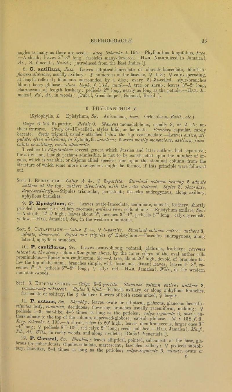 angles ns many as there are seed9.—Jacq. Schcenbr. t. 194.—Phyllanthus longifolins, Jacq. —A shrub; leaves 2-3 long; fascicles many-flowered.—Hab. Naturalized in Jamaica!, A/.; S. Vincent!, Guild.; [introduced from the East Indies!]. 8. C. antiliana, Juss. Leaves elliptical-lanceolate or obovate-lanceolatc, bluntish; flowers dioecious, usually axillary ; $ numerous in the fascicle, ? 1-3 ; !j? calyx spreading, at length reflexed; filaments surrounded by a disc; ovary 5(-3)-celled.: style-branches blunt; berry globose.—Juss. Eujph. f. 13 b-. anal.—A tree or shrub; leaves 3 -2 long, chartaceous, at length leathery; pedicels 2' long, nearly as long as the petiole.—IIab. Ja- maica!, Pd., Al., in woods; [Cuba!, Guadeloupe!, Guiana!, Brazil!]. 6. PHYLLANTHUS, L. (Xylophylla, L. Epistylium, Sw. Anisonema, Juss. Orbicularia, Baill., etc.) Calyx 6-5 (4-9)-partite. Petals 0. Stamens monadelphous, usually 3, or 2-15 : an- thers extrorse. Ovary 3 (—10)-celled : styles bifid, or laciniate. Pericarp capsular, rarely baccate. Seeds trigonal, usually attached below the top, ecarunculate.—Leaves entire, sti- pulate, often distichous, in Xylophylla abortive; flowers mostly monoecious, axillary, fasci- culate or solitary, rarely glomerate. I reduce to Phyllanthus several genera which Jussieu and later authors had separated; for a division, though perhaps admissible, is not to be constructed upon the number of or- gans, which is variable, or disjoins allied species; nor upon the stamina! column, from the structure of which some more new genera might be formed if this principle were followed out. Sect. 1. Epistylium.—Calyx $ 4-, $ 5-partite. Siaminal column bearing 2 adnate anthers at the top: anthers divaricate, with the cells distinct. Styles 3, obcordate, depressed-leafy.—Stipules triangular, persistent; fascicles androgynous, along axillary’ aphyllous branches. 9. P. Epistylium, Gr. Leaves ovate-lanceolate, acuminate, smooth, leathery, shortly petioled; fascicles in axillary racemes ; anthers two: cells oblong.—Epistylium axillare, Sw.! A shiub; 2—4 high; leaves about 3, racemes 3—1, pedicels 2' long; calyx greenish- yellow.—IIab. Jamaica!, Sw., in the western mountains. Sect. 2. Catastvlium. Calyx $ 4-, $ 5-partite. Staminal column entire: anthers 3, adnate, decurrent. Styles and stipules of Epistylium.*—-Fascicles androgynous, along lateral, aphyllous branches. 10. P. cauliflorus, Gr. Leaves ovate-oblong, pointed, glabrous, leathery; racemes lateral on the stem ; column 3-angular above, by the inner edges of the oval anther-cells pronnnulous. Epistylium cauMorum, Sw.—A tree, about 20' high, devoid of branches be- low the top of the stem: branches simple, with distichous, distant leaves; leaves 4-3 ra- cemes 6 -4, pedicels 6'-8' long; $ calyx red.—Hab. Jamaica!, Wils., in the western mountain-woods. Sect. 3. Eupiiyllanthiis.— Calyx S-5-partite. Staminal column entire-, anthers 3 transversely dehiscent. Styles 3, it#*.—Pedicels axillary, or along aphyllous branches! fasciculate or solitary, the $ shorter: flowers of both sexes mixed, larger. ,*11; P; “utans> Sw. Shrubby; leaves ovate or elliptical, glabrous, glaucous beneath : stipules leafy, roundish, deciduous; flowering branches usually racemiform, nodding: $ pedicels 1-3, hair-like, 4-6 times as long as the petioles; calyx-segments 6, oval; an- tners adnate to the top of the column, depressed-globose; capsule globose.—SI. t. 158. f. 3 • ./acy Schcenbr. t. 193.—A shrub, a few to 20' high; leaves membranaceous, larger ones 3'' p l ’ 7 Ll 'C<:h 8 _1° red ca^'x 2' long; seeds polished.—Hab. Jamaica!, Macf., id,., At., mis., in rocky woods, and along rivulets; [Cuba!, Venezuela!]. 12 P. Conami, Sw. Shrubby; leaves elliptical, pointed, subeuueale at the base, gla- orous tor pubendous): stipules subulate, marcescent; fascicles axillary : ? pedicels subsoli- ar\, an-like, 2-4 times as long as the petioles; calyx-segments 6, minute, ovate or