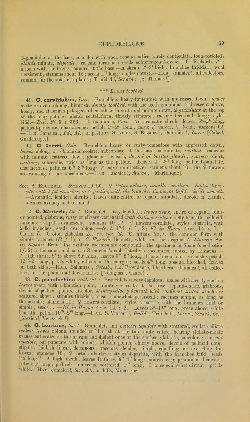 2-glandular at the base, concolor with wool, repand-entire, rarely denticulate, long-petioled: glands minute, stipitate; raceme terminal; seeds subtetragoual-ovoid. C. Richardi, W.: a form with the leaves rouuded at the base.—A shrub, 2-3' high: branches thickish: wool persistent; stamens about 12; seeds 1' long: angles obtuse.—-Hats. Jamaica!, all collectors, common in the southern plains; Trinidad!, Sc/iach; [S. Thomas !]. *** Leaves toothed. 40. C. corylifolius, Lain. Branchlets hoary-tomentose with appressed down; leaves ovate or ovate-oblong, bluntish, doubly toothed, with the teeth glandular, glabrescent above, hoary, and at length pale-green beneath with scattered minute down, 2-glandular at the top of the long petiole: glands scntelliform, thickly stipitate; raceme terminal, long; styles bifid.—Desc. FI. 5. t. 366.—C. montanus, Gets.—An aromatic shrub; leaves 8-^ long, pellucid-punctate, cliartaceous: petiole 1 -2 long; calyx S valvar, ? 5-fid; stamens 12. —Hab. Jamaica!, Pd., Al.; in pastures, S. Ann’s, S. Elizabeth, Dominica !, Imr.; [Cuba !, Guadeloupe.] 41. C. Iserti, Gets. Branchlets hoary or rusty-tomentose with appressed down; leaves oblong or oblong-lanceolate, subcordate at the base, acuminate, toothed, scabrous with minute scattered down, glaucous beneath, devoid of basilar glands; racemes short, Miliary, subsessile, twice as long as the petiole.—Leaves 4-2' long, pellucid-punctate, chartaceous: petioles 6'-3' long; $ calyx imbricative: stamens about 10: the 2 flowers are wanting in our specimens.—Hab. Jamaica!, March; [Martinique], Sect. 2. Eluteria.—Stamens 10-20. ? Calyx valvate, usually corollate. Styles 2-par- tite, with 2-jid branches, or 4-partite, with the branches simple, or %-Jid. Seeds smooth. ■—Aromatic, lepidote shrubs; leaves quite entire, or repand, stipulate, devoid of glands ; racemes axillary and terminal. 42. C. Eluteria, Sw. ! Branchlets rusty-lepidote; leaves ovate, entire or repand, blunt or pointed, glabrous, rusty or silvery-variegated with distinct scales chiefly beneath, pellucid- punctate: stipules evanescent; stamens 10-12; ? flowers corollate; styles bipartite, with 2-fid branches; seeds oval-oblong.—SI. t. 174./. 1, 2; El. in Hayne Arzn. 14. t. 1.— Clutia, L. Croton glabellus, L.: ex. syn. SI. C. nitens, Sw. !: the common form with simple racemes (Sl. f. 1), or C. Eluteria, Bennett, while in the original C. Eluteria, Sw. (C. Sloanei, Benu.) the axillary racemes are compound: the specimen in Sloane’s collection (/. 2) is the same, and so are Gronovius’s and Catesby’s specimens, quoted by Linnaaus.— A high shrub, 8' to above 20' high; leaves 5-2 long, at length concolor, greenish : petiole 12'-2' long, petals white, villous on the margin; seeds 4' long, opaque, blotched, convex on both sides.—Hab. Bahamas!, Catesb., e.g. Providence, Eleuthera; Jamaica!, all collec- tors, in the plains and lower hills; [Veraguas!, Cauca!]. 43. C. pseudochina, Schlecht. ! Branchlets silvery-lepidote: scales with a rusty centre ; leaves ovate, with a bluntish point, minutely cordate at the base, repand-entire, glabrous, devoid of pellucid points, discolor, shining-silvery beneath with confluent scales, which are scattered above: stipules thickish, linear, somewhat persistent; racemes simple, as long as the petiole; stamens 10 ; ? flowers corollate; styles 4-partite, with the branches bifid or simple; seeds ...—Kl. in Hayne Arzn. 14. t. 2.—Leaves 3—lfj long, green above, white beneath; petiole 10'-2''' long.—Hab. S. Vincent!, Guild.; Trinidad!, Lockh., Schach, Cr.; [Mexico!, Venezuela!]. 44. C. laurinus, Sw.! Branchlets and petioles lepidote with scattered, stellate-ciliate scales; leaves oblong, rounded or bluntish at the top, quite entire, bearing stcllate-ciliatc evanescent scales on the margin and distant ones on the surface,.glabratc, concolor-grecn, not lepidote, but punctate with minute whitish points, chiefly above, devoid of pellucid dots: stipules thickish linear, deciduous; racemes slender, simple, equalling or exceeding the leaves; stamens 10; ? petals abortive; styles 4-partite, with the branches bifid; seeds oblong.”—A high shrub ; leaves leathery, 6-4 long: midrib very prominent beneath: petiole 1 long; pedicels numerous, scattered, 1' long; $ ones somewhat distant; petals white.— Hab. Jamaica!, Sw., Al., on hills, Moneaguc.