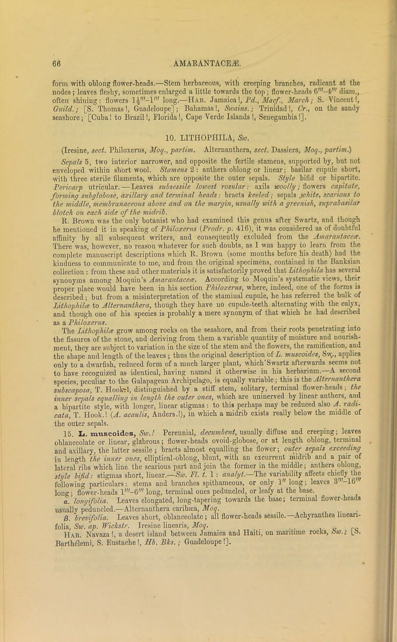 form with oblong flower-heads.—Stem herbaceous, with creeping branches, radicant at the nodes ; leaves fleshy, sometimes enlarged a little towards the top ; flower-heads 6'- 4W diain., often shining: flowers long.—IIab. Jamaica!, Pd., Macf., March; S. Vincent!, Guild.; [S. Thomas!, Guadeloupe] ; Bahamas!, Swains.; Trinidad!, Cr., on the sandy seashore; [Cuba! to Brazil!, Florida!, Cape Verde Islands !, Senegambia!]. 10. LITHOPIIILA, Sw. (Iresine, sect. Philoxerus, Moq., partim. Alternanthera, seel. Dassiera, Moq., partim) Sepals 5, two interior narrower, and opposite the fertile stamens, supported by, hut not enveloped within short wool. Stamens 2: anthers oblong or linear; basilar cnpule short, with three sterile filaments, which are opposite the outer sepals. Style bifid or bipartite. Pericarp utricular.—Leaves subsessile lowest rosular: axils woolly; flowers capitate, forming subglobose, axillary and terminal heads: bracts keeled; sepals .white, scarious to the middle, membranaceous above and on the margin, usually with a greenish, suprabasilar blotch on each side of the midrib. R. Brown was the only botanist who had examined this genus after Swartz, and though he mentioned it in speaking of Philoxerus {Prodr. p. 416), it was considered as of doubtful affinity by all subsequent writers, and consequently excluded from the Amarantacece. There was, however, no reason whatever for such doubts, as 1 was happy to learn from the complete manuscript descriptions which R. Brown (some months before his death) had the kindness to communicate to me, and from the original specimens, contained in the Banksian collection : from these and other materials it is satisfactorily proved that Lithophila has several synonyms among Moquin’s Amarantacece. According to Moquin’s systematic views, their proper place would have been in his section Philoxerus, where, indeed, one of the forms is described; but from a misinterpretation of the stamiual cupule, he has referred the bulk of lithopliilce to Alternanthera, though they have uo cupule-teeth alternating with the calyx, and though one of his species is probably a mere synonym of that which he had described as a Philoxerus. The Lithopliilce grow among rocks on the seashore, and from their roots penetrating into the fissures of the stone, and deriving from them a variable quantity of moisture and nourish- ment, they are subject to variation in the size of the stem and the flowers, the ramification, and the shape and length of the leaves; thus the original description of L. muscoides, Sw,, applies only to a dwarfish, reduced form of a much larger plant, which'Swartz afterwards seems not to have recognized as identical, having named it otherwise in his herbarium.—A second species, peculiar to the Galapagean Archipelago, is equally variable; this is the Alternanthera subscaposa, T. Hoolcrl, distinguished by a stiff stem, solitary, terminal flower-heads; the inner sepals equalling in length the outer ones, which are uninerved by linear anthers, and a bipartite style, with longer, linear stigmas : to this perhaps may be reduced also A. radi- cata, T. Hook.! {A. acaulis, Anders.!), in which a midrib exists really below the middle of the outer sepals. 15. li. muscoides, Sw.! Perennial, decumbent, usually diffuse and creeping; leaves oblanceolate or linear, glabrous; flower-heads ovoid-globose, or at length oblong, terminal and axillary, the latter sessile ; bracts almost equalling the flower; outer sepals exceeding in length the inner ones, elliptical-oblong, blunt, with an excurrent midrib and a pair of lateral ribs which line the scarious part and join the former in the middle; anthers oblong, style bifid: stigmas short, linear.—Sw. FI. t. 1: analyt.—The variability affects chiefly the following particulars: stems and branches spithameous, or only llong; leaves 3 -16 long; flower-heads long, terminal ones peduncled, or leafy at the base. a. longifolia. Leaves elongated, long-tapering towards the base; terminal flower-heads usually peduncled.—Alternanthera caribsea, Moq. . f}. brevifolia. Leaves short, oblanceolate ; all flower-heads sessile. Achyranthes lmeari- folia, Sw. ap. Wiclcstr. Iresine linearis, Moq. _ _ _ . . Hab. Navaza !, a desert island between Jamaica and Haiti, on maritime rocks, ow.; [o. Barthelemi, S. Eustachc!, lib. Bks.; Guadeloupe!].