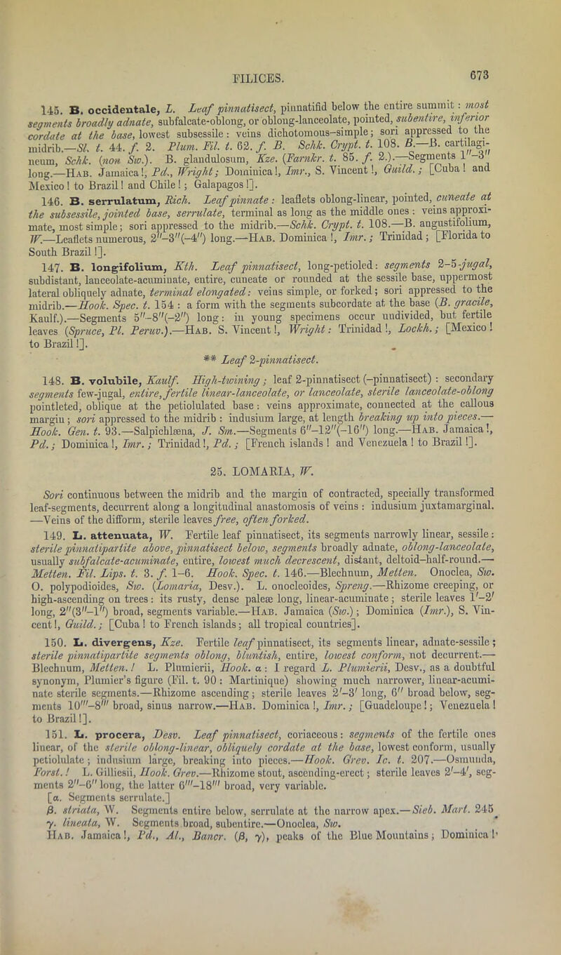 145. B. occidentale, L. Leaf pinnatisect, piunatifld below the entire summit : most segments broadly adnate, subfalcate-oblong, or oblong-lanceolate, pointed, mb entire, inferior cordate at the base, lowest subsessile: vein9 diebotomous-simple; son appressed to the midrib.—SI. t. 44. f. 2. Hum. Fit. t. 62. /. B. Schk. Crypt, t. 108. B. B. cartilagi- neum, Schk. (non Sio.). B. glandulosum, Kze. (Farnlcr. t. 85. /. 20•—Segments 1 -3 Ion?.—Hab. Jamaica!, Pd., Wright; Dominica!, Imr., S. Vincent!, Ouild.; [Cuba, and Mexico! to Brazil! and Chile!; Galapagos !]. 146. B. serrulatum, Rich. Leaf pinnate: leaflets oblong-linear, pointed, cuneate at the subsessile, jointed base, serrulate, terminal as long as the middle ones : veins approxi- mate, most simple; sori appressed to the midrib.—Schk. Crypt, t. 108.—B. angustifolium, W.—Leaflets numerous, 2-3(-4) long.—Hab. Dominica !, Imr.; Trinidad; [Florida to South Brazil!]. 147. B. longifolium, Kth. Leaf pinnatisect, long-petioled: segments 2-h-jugal, subdistant, lanceolate-acuminate, entire, cuneate or rounded at the sessile base, uppermost lateral obliquely adnate, terminal elongated: veins simple, or forked; sori appressed to the midrib.—Hook. Spec. t. 154 : a form with the segments subcordate at the base (B. gracile, Kaulf.).—Segments 5-8(-2) long: in young specimens occur undivided, but fertile leaves (Spruce, PL Beruv.).—FIab. S. Vincent!, Wright: Trinidad!, Lockh.; [Mexico! to Brazil!]. ** Leaf %-pinnatisect. 148. B. volubile, Kaulf. High-twining; leaf 2-pinnatisect (-pinnatisect) : secondary segments few-jugal, entire, fertile linear-lanceolate, or lanceolate, sterile lanceolate-oblong pointleted, oblique at the petiolulated base: veins approximate, connected at the callous margin ; son appressed to the midrib : indusium large, at length breaking up into pieces.— Hook. Gen. t. 93.—Salpichlsena, J. Sin.—Segments 6-12(-16) long.—Hab. Jamaica!, Pd. ; Dominica !, Imr.; Trinidad!, Pd. ; [French islands ! and Venezuela ! to Brazil!]. 25. LOMARIA, W. Sori continuous between the midrib and the margin of contracted, specially transformed leaf-segments, decurrent along a longitudinal anastomosis of veins : indusium juxtamarginal. —Veins of the difform, sterile leaves free, often forked. 149. L. attenuata, W. Fertile leaf pinnatisect, its segments narrowly linear, sessile: sterile pinnatipariite above, pinnatisect below, segments broadly adnate, oblong-lanceolate, usually subfalcate-acuminale, entire, lowest much decrescent, distant, deltoid-half-round.—■ Metten. Fil. Lips. t. 3. f 1-6. Hook. Spec. t. 146.—Blechnum, Metten. Onoclea, Sw. O. polypodioidcs, Sw. (Lomaria, Desv.). L. onocleoides, Spreng.—Rhizome creeping, or high-ascending on trees: its rusty, dense palese long, linear-acuminate; sterile leaves l'-2' long, 2(3—1'') broad, segments variable.—Hab. Jamaica (Sw.); Dominica (Imr.), S. Vin- cent!, Guild.; [Cuba ! to French islands; all tropical countries], 150. Li. divergens, Kze. Fertile leaf pinnatisect, its segments linear, adnate-sessile ; sterile pinnatipariite segments oblong, bluntisli, entire, lowest conform, not decurrent.— Blechnum, Metten.! L. Plumierii, Ilook. a : 1 regard L. Plumierii, Desv., as a doubtful synonym, Plumier’s figure (Fil. t. 90 : Martinique) showing much narrower, linear-acumi- nate sterile segments.—Rhizome aseeuding; sterile leaves 2'-3' long, 6 broad below, seg- ments 10'-8' broad, sinus narrow.—Hab. Dominica !, Imr.; [Guadeloupe!; Venezuela! to Brazil!]. 151. li. procera, Desv. Leaf pinnatisect, coriaceous: segments of the fertile ones linear, of the sterile oblong-linear, obliquely cordate at the base, lowest conform, usually petiolulate; indusium large, breaking into pieces.—Hook. Grev. Ic. t. 207.—Osmunda, Forst.! L. Gilliesii, Hook. Grev.—Rhizome stout, ascending-erect; sterile leaves 2-4', seg- ments 2-6'' long, the latter 6'-18' broad, very variable. [a. Segments serrulate.] /3. striata, W. Segments entire below, serrulate at the narrow apex.— Sieb. Marl. 245^ y. lineala, W. Segments broad, subentire.—Onoclea, Sw. FIab. Jamaica!, Pd., A/., Bancr. (/3, y), peaks of the Blue Mountains; Dominical’