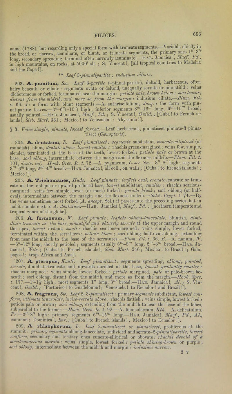 name (1788), but regarding only a special form with truncate segments. Variable chiefly in the broad, or narrow, acuminate, or blunt, or truncate segments, the primary ones 1 -3 Ion, secondary spreading, terminal often narrowly acuminate.—Hab. Jamaica!, Mac/., Pd., in high mountains, on rocks, at 5000' alt. ; S. Vincent!, [all tropical countries to Madeha and the Cape!]. ** Leaf 3-pinnalipartile; indusium ciliate. 203. A. pumilum, Sw. Leaf ^-partite (-pinnatipartite), deltoid, herbaceous, often hairy beneath or ciliate: segments ovate or deltoid, unequally serrate or pinnatifid : veins dichotomous or forked, terminated near the margin : petiole pale, brown below ; sori linear, distant from the midrib, and more so from the margin: indusium ciliate.—Plum. Fil. t. 66. A : a form with blunt segments.—A. anthriscifolium, Jacq. : the form with piu- natipartite leaves.—3-6(-10) high; inferior segments S'—16' long, 6'—10' broad, usually pointed.—Hab. Jamaica !, Macf, Pd. ; S. Vincent!, Guild. ; [Cuba! to French is- lands !, Sieb. Mart. 361; Mexico ! to Venezuela !; Abyssinia !]. § 3. Veins simple, pinnate, lowest forlced.—Leaf herbaceous, pinnatisect-pinnate-3-pinna- tisect (Canopteris). 204. A. dentatum, L. Leaf pinnatisect: segments subdistant, cuneaie-elliptical (or roundish), blunt, dentate above, lowest smaller: rhachis green-margined : veiu3 few, simple, slender, terminated at the base of the teeth, lowest forked: petiole pale or brown at the base; sori oblong, intermediate between the margin and the flexuose midrib.—Plum. Fil. t. 101, dextr. inf. Hook. Grev. Ic. t. 12.—A. pygmreum, L. sec. Sw.—3-8 high; segments 3'-6' jong) 2'-4',/ broad.—Hab. Jamaica!, all coll., on walls; [Cuba! to French islands !; Mexico !]. 205. A. Trichomanes, Huds. Leaf pinnate: leaflets oval, crenate, cuneate or trun- cate at the oblique or upward produced base, lowest subdistant, smaller: rhachis scarious- margiued: veins few, simple, lower (or most) forked : petiole black; sori oblong (or half- oval), intermediate between the margin and the flexuose midrib.— Schk. Crypt, t. 74.—By the veins sometimes most forked {A. anceps, Sol.) it passes into the preceding series, but in habit stands next to A. dentatum.—Hab. Jamaica !, Macf., Pd.; [northern temperate and tropical zones of the globe]. 206. A. formosum, IP. Leaf pinnate: leaflets oblong-lanceolate, bluntish, dimi- diate-truncate at the base, pinnatifid and obtusely serrate at the upper margin and round the apex, lowest distant, small.- rhachis scarious-margined: veins simple, lower forked, terminated within the serratures : petiole black; sori oblong-half-oval-oblong, extending from near the midrib to the base of the serratures.—Plum. Fil. t. 66. B.—A. nanum, IP. —6—12 long, shortly petiolcd ; segments usually 6'—8' long, 2'—3' broad.—Hab. Ja- maica !, Wits.; [Cuba! to French islands!, Sieb. Mart. 246; Mexico! to Brazil!; Gala- pagos !; trop. Africa and Asia]. 207. A. pteropus, KaiUf. Leaf pinnatisect: segments spreading, oblong, pointed, serrate, dimidiate-truncate and upwards auricled at the base, lowest gradually smaller : rhachis margined: veins simple, lowest forked : petiole margined, pale or pale-brown be- neath ; sori oblong, distant from the midrib, and more so from the margin.-—Hook. Spec, t. 177.—I'-lVhigh; most segments 1 long, 3' broad.—Hab. Jamaica!, Al.; S. Vin- cent!, Guild.; [Fortorico ! to Guadeloupe!; Venezuela! to Ecuador 1 and Brazil!]. 208. A. fragrans, Sw. Leaf 2-3-pinnatisect: primary segments subdistant, lowest con- form, ultimate lanceolate, inciso-serrale above : rhachis flattish : veins simple, lowest forked : petiole pale or brown; sori oblong, extending from the midrib to near the base of the lobes, subparallel to the former.— Hook. Grev. Ic. t. 92.—A. foeniculaceum, Kth. A. delicatulum, Pr.—3-8 high; primary segments 6'—15' long.—Hab. Jamaica!, Macf., Pd., AL, common ; Dominica !, Imr.; [Cuba ! to French islands !; Mexico ! to Ecuador !]. 209. A. rhizophorum, L. Leaf 2-pinnatisect or pinnatisect, proliferous at the summit: primary segments oblong-lanceolate, undivided and aavro.tG-2-pinna/ipartite, lowest conform, secondary and tertiary ones euncatc-elliptical or obovntc: rhachis devoid of a membranaceous margin: veins simple, lowest forked : petiole shining-brown or purple ; sori oblong, intermediate between the midrib and margin: indusium narrow. 2 Y