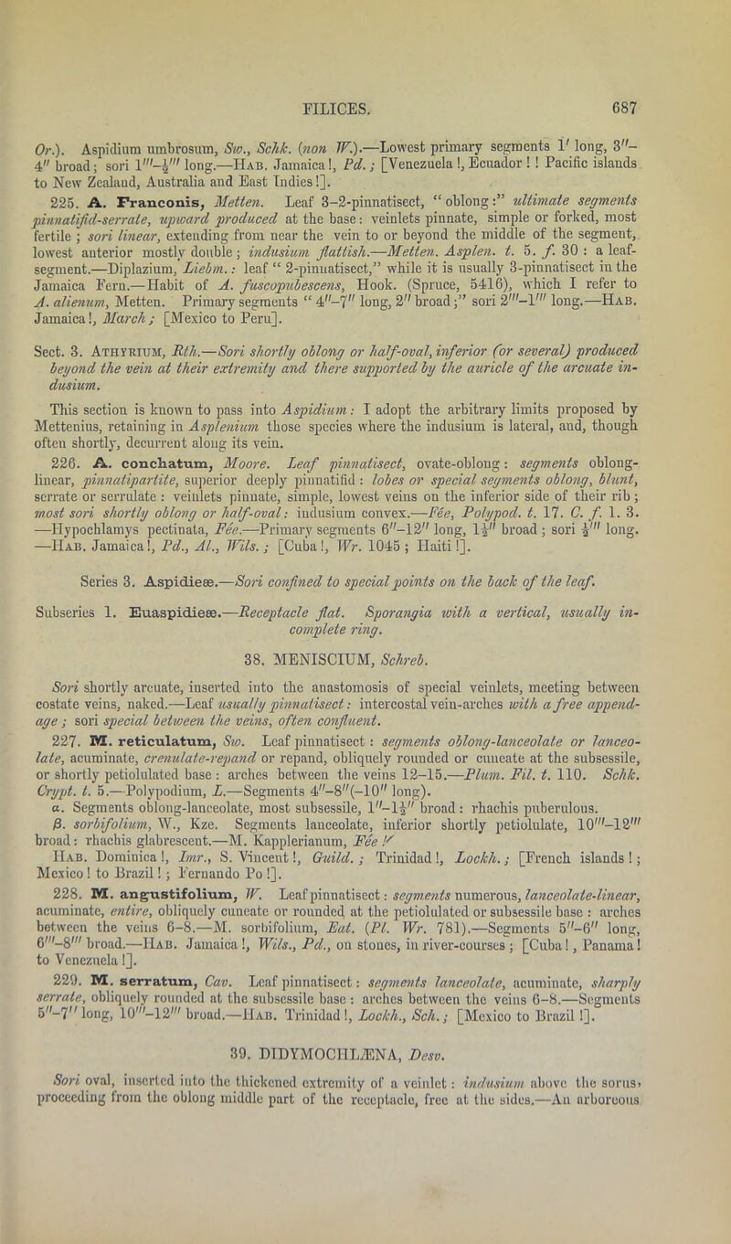 Or.). Aspidium umbrosum, Sw., Schk. (non IF.).—Lowest primary segments 1' long, 3- 4 broad; sori long.—IIab. Jamaica!, Pd.; [Venezuela !, Ecuador ! ! Pacific islands to New Zealand, Australia and East Indies!]. 225. A. Franconis, Metten. Leaf 3-2-pinnatisect, “oblong:” ultimate segments pinnatifid-serrate, upward produced at the base: veinlets pinnate, simple or forked, most fertile ; sori linear, extending from near the vein to or beyond the middle of the segment, lowest anterior mostly double; indusium Jlattisli.—Metten. Asplen. t. 5. f. 30 : a leaf- segment.—Diplazium, Liebm.: leaf “ 2-pinuatisect,” while it is usually 3-pinnatisect in the Jamaica Fern.—Habit of A. fuscopubescens, Hook. (Spruce, 5416), which I refer to A. alienum, Metten. Primary segments “ 4-7 long, 2 broadsori 2'-V long.—Hab. Jamaica!, March; [Mexico to Peru]. Sect. 3. Athyrium, Rlli.—Sori shortly oblong or half-oval, inferior (or several) produced beyond the vein at their extremity and there supported by the auricle of the arcuate in- dusium. This section is known to pass into Aspidium .- I adopt the arbitrary limits proposed by Mettenius, retaining in Asplenium those species where the indusium is lateral, and, though often shortly, decurrent along its vein. 226. A. conchatvun, Moore. Leaf pinnatisect, ovate-oblong: segments oblong- linear, pinnatipartite, superior deeply piunatifid : lobes or special segments oblong, blunt, serrate or serrulate : veinlets pinnate, simple, lowest veins on the inferior side of their rib; most sori shortly oblong or half-oval: indusium convex.—Fee, Polypod. t. 17. C. f. 1. 3. —Hypochlamys pectinata, Fee.—Primary segments 6-12 long, l)- broad ; sori long. —IIab. Jamaica!, Pd., Al, lFils.; [Cuba!, Wr. 1045; Haiti!]. Series 3. Aspidieae.—Sori confined to special points on the back of the leaf. Subseries 1. Euaspidiese.—Receptacle flat. Sporangia with a vertical, usually in- complete ring. 38. MENISCIUM, Schreb. Sori shortly arcuate, inserted into the anastomosis of special veinlets, meeting between costate veins, naked.—Leaf usually pinnatisect: intercostal vein-arches with a free append- age ; sori special between the veins, often confluent. 227. reticulatum, Sw. Leaf pinnatisect: segments oblong-lanceolate or lanceo- late, acuminate, crenulate-repand or repand, obliquely rouuded or cuueate at the subsessile, or shortly petiolulated base : arches between the veins 12-15.—Plum. Fil. t. 110. Sch/c. Crypt, t. 5.—Polypodium, L.—Segments 4-8(-10 long). a. Segments oblong-lanceolate, most subsessile, l-lf broad : rhaehis puberulous. /3. sorbifolium, W., Kze. Segments lanceolate, inferior shortly petiolulate, 10-12' broad: rhaehis glabrescent.—M. Kapplerianuin, Fee P IIab. Dominica !, Imr., S. Vincent!, Guild.; Trinidad !, Lockh.; [French islands !; Mexico! to Brazil!; Fernando Po !]. 228. M. angustifolium, IF. Leaf pinnatisect: segm.cnls numerous, lanceolate-linear, acuminate, entire, obliquely cuneatc or rounded at the petiolulated or subsessile base : arches between the veins 6-8.—M. sorbifolium, Eat. {PI. Wr. 781).—Segments 5-6 long, 6'-8' broad.—IIab. Jamaica!, Wits., Pd., on stones, in river-courses; [Cuba!, Panama! to Venezuela!]. 229. M. serratum, Cav. Leaf pinnatisect: segments lanceolate, acuminate, sharply serrate, obliquely rounded at the subsessile base : arches between the veins 6-8.—Segments 5-7''long, 10'-12' broad.—Hab. Trinidad!, Lochli., Sell.; [Mexico to Brazil!]. 39. DIDYMOCHL2ENA, Desv. Sori oval, inserted into the thickened extremity of a veinlet: indusium above the sorus> proceeding from the oblong middle part of the receptacle, free at the sides,—An arboreous