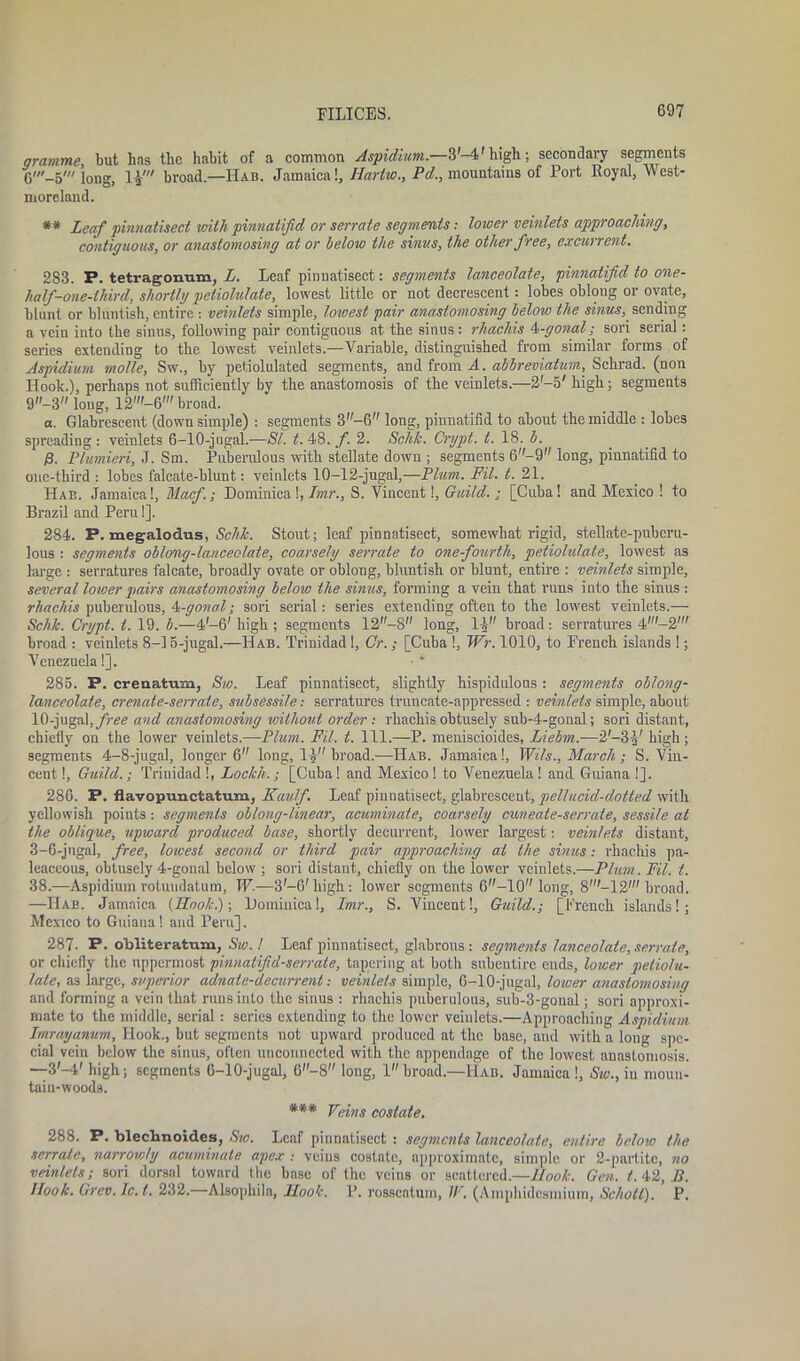 gramme, but has the habit of a common Aspidium.—3'-4' high; secondary segments long, liw broad.—Hab. Jamaica!, Hartiomountains of Port lloyal, West- moreland. ** Leaf pinnatisect with pinnatifid or serrate segments: lower veinlets approaching, contiguous, or anastomosing at or below the sinus, the other free, excurrent. 283. P. tetragonum, L. Leaf pinnatisect: segments lanceolate, pimiatifid to one- half-one-third, shortly petiolulate, lowest little or not decrescent: lobes oblong or ovate, blunt or bluntish, entire : veinlets simple, lowest pair anastomosing below the sinus, sending a vein into the sinus, following pair contiguous at the sinus: rhachis 4-gonal; sold serial: series extending to the lowest veinlets.—Variable, distinguished from similar forms of Aspidium rnolle, Sw., by petiolulated segments, and from A. abbreviation, Schrad. (non Hook.), perhaps not sufficiently by the anastomosis of the veinlets.—2'-5' high; segments 9-3 long, 12'-6' broad. a. Glabrescent (down simple) : segments 3— 6 long, pinnatifid to about the middle : lobes spreading: veinlets 6-10-jugal.—SI. t. 48. f. 2. Schk. Crypt, t. 18. b. fi. Plumieri, J. Sm. Puberulous with stellate down ; segments 6-9 long, pinnatifid to one-third : lobes falcate-blunt: veinlets 10-12-jugal,—Plum. Fil. t. 21. Hab. Jamaica!, Macfi; Dominica!, Imr., S. Vincent!, Guild.; [Cuba! and Mexico ! to Brazil and Peru!]. 284. P. megalodus, Schk. Stout; leaf pinnatisect, somewhat rigid, stellate-puberu- lous : segments oblong-lanceolate, coarsely serrate to one-fourth, petiolulate, lowest as large : serratures falcate, broadly ovate or oblong, bluntish or blunt, entire : veinlets simple, several lower pairs anastomosing below the sinus, forming a vein that runs into the sinus : rhachis puberulous, 4-gonal; sori serial: series extending often to the lowest veinlets.— Schk. Crypt, t. 19. b.—4-6' high ; segments 12-8 long, 11 broad: serratures 4'— 2' broad : veinlets 8-15-jugal.—Hab. Trinidad 1, Cr.; [Cuba !, Wr. 1010, to French islands !; Venezuela!]. 285. P. crenatum, Sic. Leaf pinnatisect, slightly hispidulous : segments oblong- lanceolate, crenate-serrate, subsessi/e: serratures truncate-appressed : veinlets simple, about 10-jugal, free and anastomosing without order : rhachis obtusely sub-4-gonal; sori distant, chiefly on the lower veinlets.—Plum. Fil. t. 111.—P. meniscioides, Liebm.—2'-3high; segments 4-8-jugal, longer 6 long, 1) broad.—Hab. Jamaica!, Wils., March; S. Vin- cent !, Guild.; Trinidad !, Loclch.; [Cuba! and Mexico ! to Venezuela! and Guiana !]. 286. P. flavopunctatum, Kaulf. Leaf pinnatisect, glabrescent, pellucid-dotted with yellowish points: segments oblong-linear, acuminate, coarsely cuneate-serrate, sessile at the oblique, upward produced base, shortly decurrent, lower largest: veinlets distant, 3-6-jugal, free, lowest second or third pair approaching at the sinus: rhachis pa- leaceous, obtusely 4-gonal below ; sori distant, chiefly on the lower veinlets.—Plum. Fil. t. 38.—Aspidium rotuudatum, W.—3-6' high : lower segments 6-10 long, 8'-12' broad. —Hab. Jamaica (Ilook.)-, Dominica!, Imr., S. Vincent!, Guild.; [French islands!; Mexico to Guiana! and Peru]. 287- P- obliteratum, Sw. ! Leaf pinnatisect, glabrous : segments lanceolate, serrate, or chiefly the uppermost pinnatifid-serrate, tapering at both subentirc ends, lower peliolu- late, as large, superior adnate-decurrent: veinlets simple, 6-10-jugal, lower anastomosing and forming a vein that runs into the sinus : rhachis puberulous, sub-3-gonal; sori approxi- mate to the middle, serial : series extending to the lower veinlets.—Approaching Aspidium Imrayanum, Hook., but segments uot upward produced at the base, and with a long spe- cial vein below the sinus, often unconnected with the appendage of the lowest anastomosis. —3-4' high; segments 6-10-jugal, 6-8 long, 1 broad.—IIab. Jamaica!, Sw., iu moun- tain-woods. *** Veins costate. 288. P. blecbnoides, Sw. Leaf pinnatisect : segments lanceolate, entire below the serrate, narrowly acuminate apex .- veins costate, approximate, simple or 2-partite, no veinlets; sori dorsal toward the base of the veins or scattered.—Hook. Gen. t. 42, B. Hook. Grev.Ic.t. 232. Alsophila, Hook. P. rosscatum, IF. (Amphidcsmium, Schott). P.