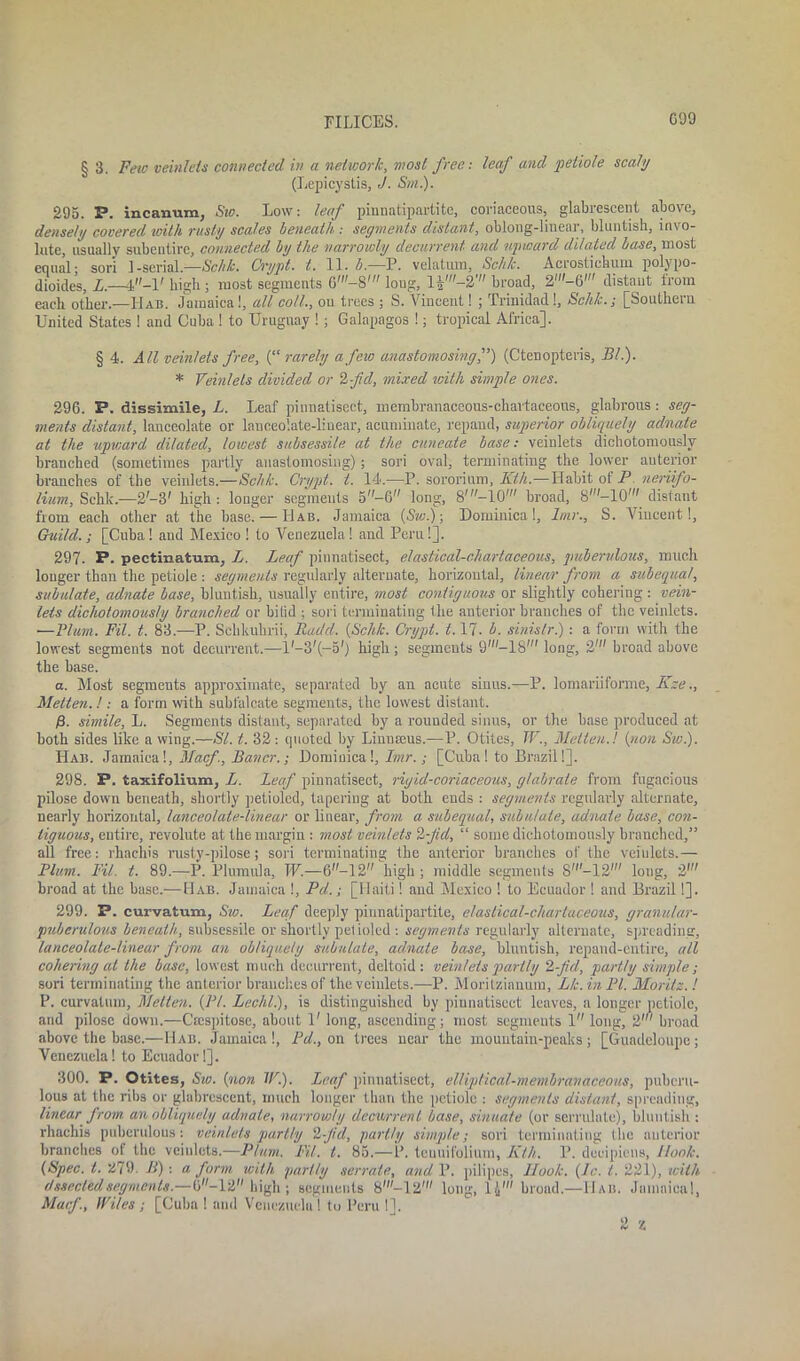 § 3. Few veinlets connected in a network, most free: leaf and petiole scaly (Lepicystis, J. Srn.). 295. P. incanum, Sic. Low: leaf pinnatipartite, coriaceous, glabrescent above, densely covered with rusty scales beneath .- segments distant, oblong-linear, bluntish, invo- lute, usually subentire, connected by the narrowly decurrent and upward dilated base, most equal- sori 1-serial.—Schk. Crypt. t. 11. b.—P. velatum, Schk. Acrosticbum polypo- dioides, Z.—4-l' high ; most segments 6'-8' loug, If-2' broad, 2'-6' distant from each other.—Hab. Jamaica!, all co/L, on trees ; S. Vincent! ; Trinidad!, Schk.; [Southern United States ! and Cuba 1 to Uruguay !; Galapagos 1; tropical Africa]. § 4. All vein!ets free, (“ rarely a feio anastomosing,”) (Ctenopteris, Bl.). * Veinlets divided or 2 -fid, mixed with simple ones. 296. P. dissixnile, L. Leaf pinnatisect, membranaceous-chartaceous, glabrous : seg- ments distant, lanceolate or lanceolate-linear, acuminate, repand, superior obliquely adnale at the upward dilated, lowest subsessile at the cuneate base: veinlets dichotomously branched (sometimes partly anastomosing); sori oval, terminating the lower anterior branches of the veinlets.—Schk. Crypt, t. 14.—P. sororium, Kth.—Habit of P neriifo- lium, Schk.—2'-3' high: longer segments 5-6 long, 8,-10w broad, S'-10' distant from each other at the base. — Hab. Jamaica (Sw.); Dominica!, lmr., S. Viucent!, Guild. ; [Cuba ! and Mexico ! to Venezuela ! and Peru!]. 297. P- pectinatura, Z. Leaf pinnatisect, elastical-chartaceous, puberulous, much longer than the petiole : segments regularly alternate, horizontal, linear from a subequal, subulate, adnate base, bluntish, usually entire, most contiguous or slightly cohering: vein- lets dichotomously branched or bilid ; sori terminating the anterior branches of the veinlets. -—Plum. Fil. t. 83.—P. Sehltuhrii, Radd. {Schk. Crypt. 1.17- b. sinislr.): a form with the lowest segments not decurrent.—l1—3/(—51) high; segments 9',,-18' long, 2' broad above the base. a. Most segments approximate, separated by an acute sinus.—P. lomariiforme, Kze., Metten.! : a form with subfalcate segments, the lowest distant. simile, L. Segments distant, separated by a rounded sinus, or the base produced at both sides like a wing.—SI. t. 32: quoted by Linnmus.—P. Otites, IF., Metten.! {non Sw.). Hab. Jamaica!, Macf, Bauer.; Dominica !, Irnr.,- [Cuba! to Brazil!]. 298. P. taxifolium, Z. Leaf pinnatisect, rigid-coriaceous, glabrale from fugacious pilose down beneath, shortly petioled, tapering at both ends : segments regularly alternate, nearly horizontal, lanceolate-linear or linear, from a subequal, subulate, adnate base, con- tiguous, entire, revolute at the margin : most veinlets 2-fid, “ some dichotomously branched,” all free: rhachis rusty-pilose; sori terminating the anterior branches of the veinlets.— Plum. Fil. t. 89.—P. Plumula, W.—6-12 high; middle segments S'-12' long, 21 broad at the base.— Hab. Jamaica !, Pd.; [Haiti! and Mexico 1 to Ecuador 1 and Brazil 1]. 299. P. curvatum, Sw. Leaf deeply pinnatipartite, elastical-chartaceous, granular- pidjerulous beneath, subsessile or shortly petioled : segments regularly alternate, spreading, lanceolate-linear from an obliquely subulate, adnate base, bluntish, repand-cutire, all cohering at the base, lowest much decurrent, deltoid: veinlets partly 2-fid, partly simple; sori terminating the anterior branches of the veinlets.—P. Morilzianum, Lk. in PI. Moritz.! P. curvatum, Metten. {PI. Lechl.), is distinguished by pinnatisect leaves, a longer petiole, and pilose down.—Cmspitose, about 1' long, ascending; most segments 1 long, 2' broad above the base.—Hab. Jamaica!, Pd., on trees near the mountain-peaks; [Guadeloupe; Venezuela! to Ecuador!]. 300. P. Otites, Sw. {non IF.). Leaf pinnatisect, elliptical-membranaceous, puberu- lous at the ribs or glabrescent, much longer than the petiole : segments distant, spreading, linear from an obliquely adnate, narrowly decurrent base, sinuate (or serrulate), bluntish : rhachis puberulous: veinlets partly 2-fid, partly simple; sori terminating the anterior branches of the veinlets.—Plum. Fil. t. 85.—P. teunifolium, Kth. P. decipiens, Hook. (Spec. t. 279. B) : a form with partly serrate, and P. pilipcs, Hook. (1c. t. 221), with detected segments.—tr-12 high; segments 8,,,-12w long, l£m broad.—Hab. Jamaica!, Macf., IFi/es ; [Cuba ! and Venezuela ! to Peru !]. 9 -/