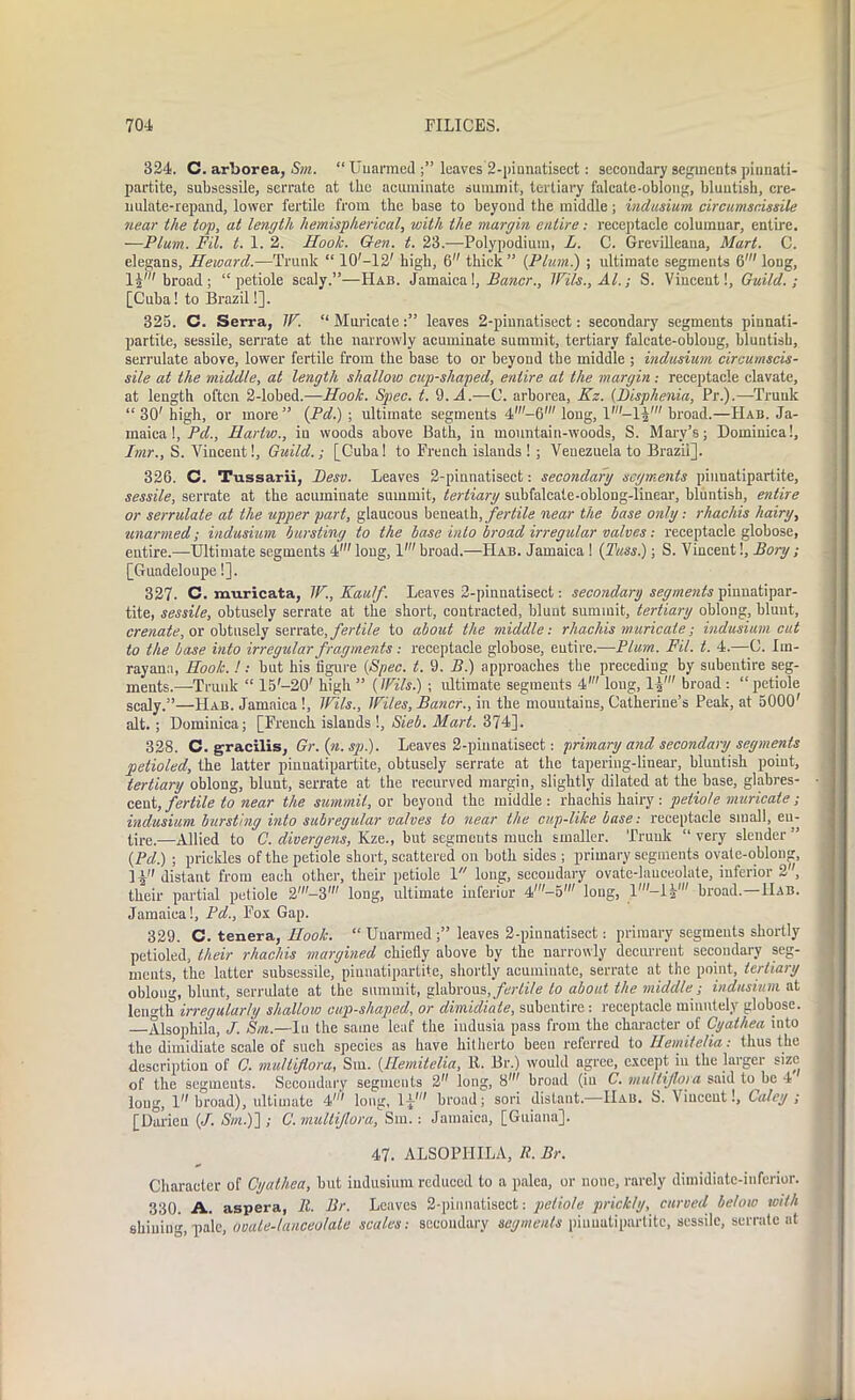 324. C. arborea, Sm. “Unarmed leaves 2-pinnatisect: secondary segments pinnati- partite, subsessile, serrate at the acuminate summit, tertiary falcate-oblong, bluntish, cre- nulate-repand, lower fertile from the base to beyoud the middle; indusium circumscissile near the top, at length hemispherical, with the margin entire: receptacle columnar, entire. —Plum. Fit. t. 1. 2. Hook. Glen. t. 23.—Polypodium, L. C. Grevilleana, Mart. C. elegans, Heward.—Trunk “ 10'-12' high, 6 thick ” {Plum) ; ultimate segments 6' long, lk1 broad; “petiole scaly.”—Hab. Jamaica I, Bancr., IPils., Al.; S. Vincent!, Guild.; [Cuba! to Brazil!]. 325. C. Serra, TP. “ Muricateleaves 2-pinnatisect: secondary segments piunati- partite, sessile, serrate at the narrowly acuminate summit, tertiary falcate-oblong, bluntish, serrulate above, lower fertile from the base to or beyond the middle ; indusium circumscis- sile at the middle, at length shallow cup-shaped, entire at the margin : receptacle clavate, at length often 2-lobed.—Hoolc. Spec. t. 9. al.—C. arborea, Kz. (Disphenia, Pr.).—Trunk “ 30' high, or more ” {Pd.) ; ultimate segments 4'-6,,, long, V-lk' broad.—PIab. Ja- maica !, Pd., Harlw., in woods above Bath, in mountain-woods, S. Mary’s; Dominica!, Jmr., S. Vincent!, Guild.; [Cuba! to French islands ! ; Venezuela to Brazil]. 326. C. Tussarii, Besv. Leaves 2-pinnatisect: secondary segments pinnatipartite, sessile, serrate at the acuminate summit, tertiary subfalcate-oblong-linear, bluntish, entire or serrulate at the upper part, glaucous beneath, fertile near the base only: rhachis hairy, unarmed; indusium bursting to the base into broad irregular valves: receptacle globose, entire.—Ultimate segments 4' long, 1' broad.—Hab. Jamaica ! (Tuss) ; S. Vincent!, Bory ; [Guadeloupe!]. 327. C. muricata, TP.,Kauf. Leaves 2-pinnatisect: secondary segments pinuatipar- tite, sessile, obtusely serrate at the short, contracted, blunt summit, tertiary oblong, blunt, crenate, or obtusely &e.TtsA&, fertile to about the middle: rhachis muricate; indusium cut to the base into irregular fragments: receptacle globose, entire.—Plum. Fit. t. 4.—C. Im- rayana, Hook. !: but his figure {Spec. t. 9. B.) approaches the preceding by subentire seg- ments.—Trunk “ 15-20' high ” {IPils.) ; ultimate segments 4' long, 1|' broad : “petiole scaly.”—Hab. Jamaica !, IPils., JPi/es, Bancr., in the mountains, Catherine’s Peak, at 5000' alt. ; Dominica; [French islands!, Sieb. Mart. 374]. 328. C. gracilis, Gr.(n.sp). Leaves 2-pinnatisect: primary and secondary segments petioled, the latter pinnatipartite, obtusely serrate at the tapering-linear, bluntish point, tertiary oblong, blunt, serrate at the recurved margin, slightly dilated at the base, glabres- cent, fertile to near the summit, or beyond the middle : rhachis hairy : petiole muricate; indusium. bursting into subregular valves to near the cup-like base: receptacle small, en- tire.—Allied to C. divergens, Kze., but segments much smaller. Trunk “very slender” {Pd.) ; prickles of the petiole short, scattered on both sides ; primary segments ovate-oblong, ] l distant from each other, their petiole 1 long, secondary ovate-lauceolate, inferior 2', their partial petiole 2'-3' long, ultimate inferior 4'-5' long, 1broad.—Hab. Jamaica!, Pd., Fox Gap. 329. C. tenera, Hook. “ Unarmed;” leaves 2-pinnatisect: primary segments shortly petioled, their rhachis margined chiefly above by the narrowly decurrent secondary seg- ments, the latter subsessile, pinnatipartite, shortly acuminate, serrate at the point, tertiary oblong, blunt, serrulate at the summit, glabrous, fertile to about the middle; indusium at length irregularly shallow cup-sliaped, or dimidiate, subentire : receptacle minutely globose. —Alsophila, J. Sm.—Iu the same leaf the iudusia pass from the character of Cyathea into the dimidiate scale of such species as have hitherto beeu referred to Hemitelia: thus the description of C. multijlora, Sm. {Hemitelia, It. Br.) would agree, except iu the larger size of the segments. Secondary segments 2'' long, 8' broad (iu C. multijlora said to be 4 long, 1 broad), ultimate 4' long, 1-j' broad; sori distant. IIab. S. V iucent!, Ca/ey ; [Darien (/. 5m.)) ; C. multijlora, Sm.: Jamaica, [Guiana]. 47. ALSOPHILA, R. Br. Character of Cyathea, but indusium reduced to a palea, or none, rarely dimidiate-inferior. 330. A. aspera, 11. Br. Leaves 2-pinnatisect: petiole prickly, curved below with shining, pale, ovate-lanceolate scales: secondary segments pinnatipartite, sessile, serrate at
