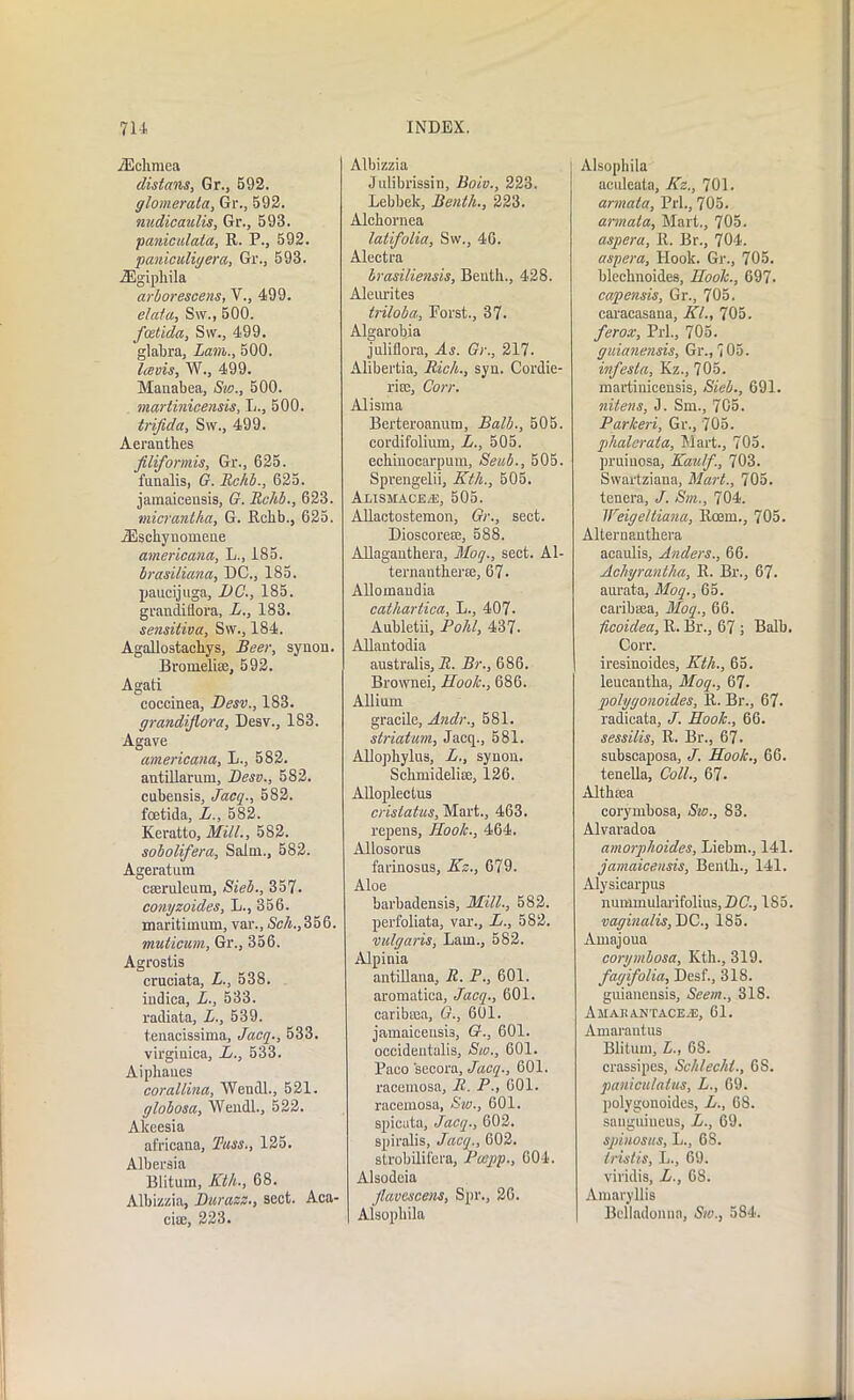 iEchmea distans, Gr., 592. glomerata, Gr., 592. nudicaulis, Gr., 593. paniculata, R. P., 592. paniculiyera, Gr., 593. .ZEgipliila arborescens, V., 499. data, S\v., 500. fcetida, Sw., 499. glabra, Lam., 500. lievis, W., 499. Manabea, Sic., 500. martinicensis, L., 500. trifida, Sw., 499. Aeranthes filiformis, Gr., 625. fnnalis, G. Bc/ib., 625. jamaicensis, G. Rchb., 623. micrantha, G. Rchb., 625. iEschynomene americana, L., 185. brasiliana, DC., 185. paucijuga, DC., 185. grandiflora, L., 183. sensitiva, Sw., 184. Agallostacbys, Beer, synon. Bromelise, 592. Agati coccinea, Desv., 183. grandiflora, Desv., 183. Agave americana, L., 582. antillanun, Desv., 582. cubensis, Jacq., 582. foetida, L., 582. Keratto, Mill., 582. sobolifera, Salm., 582. Ageratum cEerulcum, Sieb., 357. conyzoides, L., 356. maritiinum, var., &/t.,356. muticum, Gr., 356. Agrostis cruciata, L., 538. indica, L., 533. radiata, L., 539. tenacissima, Jacq., 533. virginica, L., 533. Aiphaues corallina, Weudl., 521. globosa, Weudl., 522. Akeesia africana, Buss., 125. Albersia Blitum, Kth., 68. Albizzia, Durazz., sect. Aca- ciffi, 223. Albizzia Julibrissin, Boiv., 223. Lebbelc, Benth., 223. Alchornea latifolia, Sw., 46. Alectra brasiliensis, Benth., 428. Aleurites triloba, Porst., 37. Algarobia juliflora, As. Gr., 217. Alibertia, Rich., syn. Cordie- ria;, Corr. Alisma Berteroanum, Balb., 505. cordifolium, L., 505. echinocarpum, Seub., 505. Sprengelii, Kth., 605. Alismace^e, 505. AUactostemon, Gr., sect. Dioscorete, 588. Allaganthera, Moq., sect. Al- ternantherse, 67- Allomaudia catliartica, L., 407- Aubletii, Pohl, 437. Allantodia australis, R. Br., 686. Brownei, Hoo/c., 686. Allium gracile, Andr., 581. striatum, Jacq., 581. Allophylus, L., synon. Schmideliic, 126. Alloplectus cristatus. Mart., 463. repens, Hook., 464. Allosorus farinosus, Kz., 679. Aloe barbadensis, Mill., 582. perfoliata, var., L., 582. vulgaris, Lam., 582. Alpinia antiliana, R. P., 601. aromatica, Jacq., 601. caribsea, G., 601. jamaiceusis, G., 601. occideutalis, Sic., 601. Paco secora, Jacq., 601. racemosa, R. P., 601. racemosa, Sw., 601. spicata, Jacq., 602. spiralis, Jacq., 602. strobilifera, Pccpp., 604. Alsodeia Jlavcscens, Spr., 26. Alsopbila Alsophila acideata, Kz., 701. armata, Prl., 705. armata, Mart., 705. aspera, R. Br., 704. aspera, Hook. Gr., 705. blechnoides, Hook., 697- capensis, Gr., 705. caracasana, Kl., 705. ferox, Prl., 705. guianensis, Gr., 705. infesla, Kz., 705. martinicensis, Sieb., 691. nitens, J. Sm., 705. Parkeri, Gr., 705. phalcrata. Mart., 705. pruinosa, Kaulf., 703. Swartziana, Mart., 705. tenera, J. Sm., 704. IVeigeltiana, Roem., 705. Alteruantbera acaulis, Anders., 66. Achjrantlia, R. Br., 67. aurata, Moq., 65. caribsea, Moq., 66. licoidea, R. Br., 67 ; Balb. Corr. iresinoides, Kth., 65. leucantba, Moq., 67. polygonoides, R. Br., 67. radicata, J. Hook., 66. sessilis, R. Br., 67. subscaposa, J. Hook., 66. tenella, Coll., 67- Althaja corymbosa, Sw., 83. Alvaradoa amorphoides, Liebm., 141. jamaicensis, Benth., 141. Alysicarpus numniulai-if'olius, DC., 185. vaginalis, DC., 185. Amajoua corymbosa, Kth., 319. fagifolia, Desf., 318. guianensis, Seem., 318. Amauantaceas, 61. Amarantus Blitum, L., 68. crassipes, Schlechl., 6S. paniculalus, L., 69. polygonoides, L., 68. sanguineus, L., 69. spinosus, L., 68. tristis, L., 69. viridis, L., 68. Amaryllis Belladonna, Sw., 584.