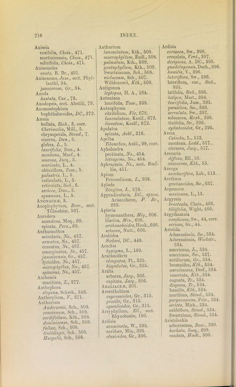 Aniseia eusifolia, Chois., 471 - martinicensis, Chois., 471 ■ salicifolia, Chois., 471. Anisomcles ovata, R. Br., 491. Anisonema, Juss., sect. Phyl- lanthi, 34. jamaicense, Or., 34. Auoda hastaia, Cav., 73. Anodopsis, sect. Abntili, 79. Anomostephium buphthalinoides, DC., 372. Anona bullata, Rich., 5, corr. Cherimolia, Mill., 5. chrysopetala, Stead., 7- cinerea, Bun., 5. glabra, L., 5. laurifolia, Dun., 4. montana, Macf., 4. mucosa, Jacq., 5. muricata, L., 4. obtusiflora, Tuss., 5. palustris, L., 5. reticulata, L., 5. reticulata, Sieb., 6. sericeu. Dun., 5. squamosa, L., 5. Anonacejs, 3. Anoplophytum, Beer., sect. Tillandsise, 597- Anredera scandens, Moq., 60. spicata, Pers., 60. Antbacanthus acicularis, Ns., 457- armatus. Ns., 457. cuneatus. Ns., 457. einarginatus, Ns., 457. jamaicensis, Gr., 457- lycioides, Ns., 457. microphyllus, Ns., 457- spinosus, Ns., 457. Authemis maritime, L., 377- Antbepliora elecjans, Sclireb., 556. Antherylium, V., 271- Anthurium Andersonii, Sch., 509. concinnum, Sch., 508. cordifolium, Ktli., 508. dominicense, Sell., 508. fallax, Sch., 508. Guildingii, Sch., 508. Huegelii, Sch., 508. Anthurium lanceolatum, Kth., 508. macrophyllum, Endl., 508. palmatum, Kth., 509. pentaphyllum, Kth., 509. Swartzianum, Sch., 508. violaceum, Sch., 507. Willdenowii, Kth., 508. Antigonon leptopus, H. A., 164. Antouiaua laurifolia, Tuss., 338. Antrophyum citrifolium, Fee, 678. lanceolatum, Kanlf., 672. lineatum, Kaulf., 672. Apalatoa spicata, Aubl., 216. Apeiba Tibourbou, Aubl., 98, corr. Aphelandra pectiuata, Ns., 454. tetragona, Ns., 454. Aphragmia, Ns., sect. Ruel- lile, 451. Apium Petroselinum, L., 308. Apluda Zengites, L., 576. Appendicularia, DC., synon. Acisanthene, P. Br., 269. Apteria hymenanthera, Miq., 606. li'laciaa, Mrs., 606. orobanchoidesJAodk., 606. setacea, Nutt., 606. Arabidea Sieberi, DC., 449. Arachis liypogaa, L., 189. Arachnothrix elongatus, PL, 325. hispida/us, Gr., 325. Aralia arborea, Jacq., 306. capitata, Jacq., 306. Araliace-e, 305. Arccuthobium cupressoides, Gr., 315. gracile, Gr., 315. opuntioides, Gr., 315. Arcypliyllum, Ell., sect. Ithynchosiic, 190. Ardisia acuminata, W., 395. caribaa, Miq., 395. clusioides, Gr., 396. Ardisia coriacea, Sw., 396. erenulata. Vent., 397- decipiens, A. DC., 395. guadelupensis, Duch., 396. humi/is, V., 396. lateriflora, Sw., 396. lateriflora, var., Sieb., 395. latifolia, Sieb., 396. latipes, Mart., 394. laurifolia, Juss., 395. parasitica, Sw., 393. serrutata, Sw., 397. solanacea, Roxb., 396. tinifolia, Sw., 396. xylosteoid.es, Gr., 395. Areca Catechu, L., 513. montana, Lodd., 517. oleracea, Jacq., 517. Arenaria diffusa, Ell., 55. nemorosa, Kth., 55. Arenga saccharifera, Lab., 513. . Arethusa gentianoides, Sw., 637- Argemone mexicana, L., 13. Argyreia bracleata, Chois., 466. tiliifolia, Wight, 466. Argythamnia candicans, Sw., 44, corr. sericea, Gr., 44. Aristida Adscensionis, Sic., 534. Adscensionis, Wickstr., 534. americana, L., 534. americana, Sw., 537- antillarum, Gr., 534. bromoides, Kth., 534. cccndescens, Desf., 534. coarctata, Kth., 534. cognata, Tr., 534. disperse, Tr., 534. humilis, Kth., 534. maritima, Stead., 534. purpurascens, Poir., 534. stricta, Mich., 534. subbiflora. Stead., 534. Svvartziaua, Stead., 534. Arislolochia arborcscens, Desc., 299. barbata, Jacq., 299. caudata, Hook., 300.