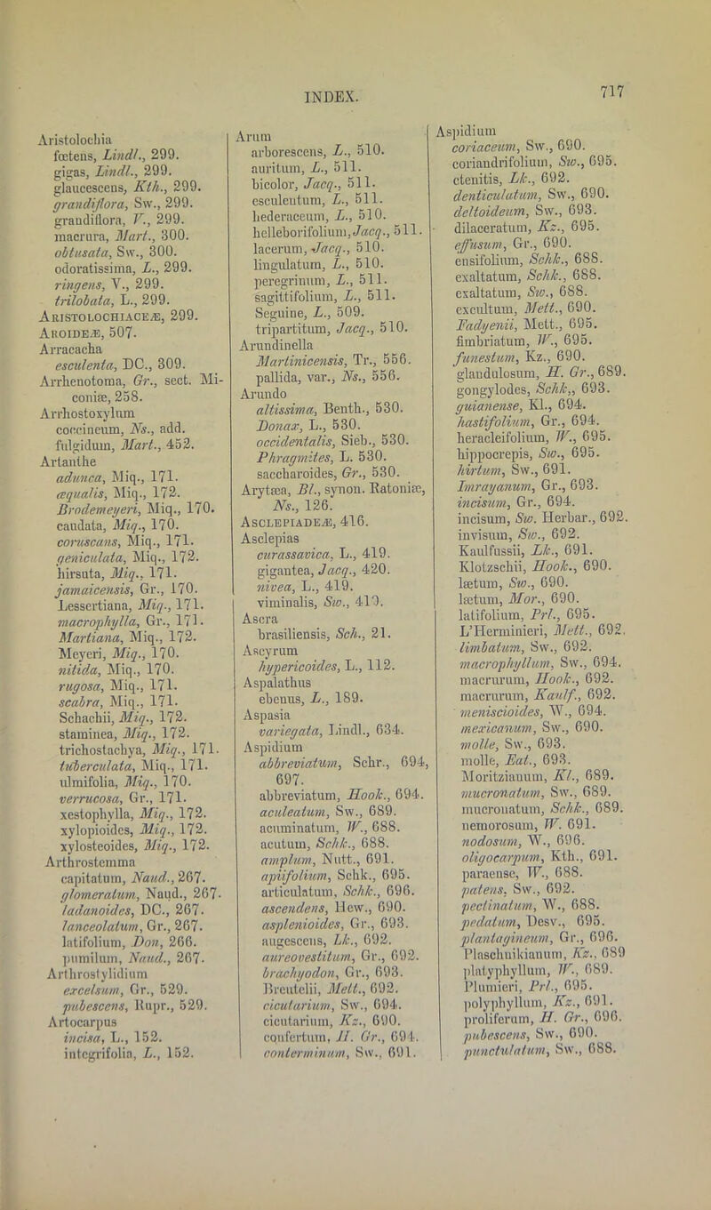 Aristolochia fastens, Lind!., 299. gigas, Lindl., 299. glaucescens, Kth., 299. grandiflora, Sw., 299. grandiflora, V., 299. macrura, Mart., 300. obtusata, Sw., 300. odoratissima, L., 299. ringens, V., 299. trilobata, L., 299. AristolochiacujE, 299. Aroide/E, 507. Arracacha esculenta, DC., 309. Arrlienotoma, Gr., sect. Mi- conise, 258. Arrhostoxylum coccineum, Ns., add. fulgidum. Mart., 452. Arlanthe adunca, Miq., 171- <squalls, Miq., 172. Brodemegeri, Miq., 170. caudata, Miq., 170. coruscans, Miq., 171. geniculata, Miq., 172. hirsuta, Miq., 171. jamaicensis, Gr., 170. Lessertiana, Miq., 171. macrophylla, Gr., 171 • Martiana, Miq., 172. Meyeri, Miq., 170. nitida, Miq., 170. rugosa, Miq., 171. scabra, Miq., 171. Schachii, Miq., 172. staminea, Miq., 172. trichostacbya, Miq., 171- tuberculata, Miq., 171- nlmifolia, Miq., 170. verrucosa, Gr., 171 - xestophylla, Miq., 172. xylopioides, Miq., 172. xylosteoides, Miq., 172. Arthrostemma capitatum, Naud., 267. glomeralum, Naud., 267■ tadanoides, DC., 267- tanceolatum, Gr., 267. latifolium, Don, 266. pumilum, Naud., 267- Arthrostylidium excelsum, Gr., 529. jrubescens, llupr., 529. Artocarpus incisa, L., 152. intcgrifolia, L., 152. Arum arborescens, L., 510. auritum, L., 511. bicolor, Jacq., 511. esculeutum, L., 511. liederaceum, L., 510. hclleborifqliuni, Jacq., 511. lacerum, -Jacq., 510. lingulatum, L., 510. peregrinum, L., 511. sagittifolium, L., 611. Seguine, L., 509. tripartitum, Jacq., 510. Arundinella Martinicensis, Tr., 556. pallida, var.. Ns., 556. Arundo altissima, Benth., 530. Donax, L., 530. occidentals, Sieb., 530. Phragmites, L. 530. saccliaroides, Gr., 530. Arytsea, Bl, synon. Katoniee, Ns., 126. AsclepiadejE, 416. Asclepias curassavica, L., 419. gigantea, Jacq., 420. nivea, L., 419. viminalis, Sic., 419. Ascra brasiliensis, Sch., 21. Ascyrum hypericoides, L., 112. Aspalathus ebeuus, L., 189. Aspasia variegata, Lindl., 634. Aspidium abbreviation, Schr., 694, 697. abbreviaturn, Nook., 694. aculeatum, Sw., 689. acuminatum, W., 688. acutum, Sch/c., 688. amplum, Nutt., 691. apiifolium, Schk., 695. articulatum, Schk., 696. ascendens, Hew., 690. asplenioides, Gr., 693. augcscens, Lk., 692. aureovestitum, Gr., 692. brachgodon, Gr., 693. Breutelii, Melt., 692. cicutarium, Sw., 694. cicutarium, Kz., 690. cqnfertmn, II. Gr., 694. conterminmn, Sw., 691. Aspidium coriaceum, Sw., 690. coriandrifolium, Sw., 695. ctenitis, Lk., 692. denticulatum, Sw., 690. deltoideum, Sw., 693. dilaceratum, Kz., 695. effusum, Gr., 690. ensifolinm, Schk., 688. exaltatum, Schk., 688. exaltatum, Sw., 688. excultum, Melt., 690. Fadyenii, Mett., 695. fimbriatum, W., 695. funestum, Kz., 690. glaudulosum, N. Gr., 689. gongylodes, Schk,, 693. guianense, Kl., 694. hastifolium, Gr., 694. beracleifolium, TV., 695. bippocrepis, Sw., 695. hirtum, Sw., 691. Imrayanum, Gr., 693. incisum, Gr., 694. incisum, Sw. Herbal-., 692. invismn, Sw., 692. Kaulfussii, Lk., 691. Klotzscbii, Hook., 690. lsetum, Sio., 690. lsetum, Mor., 690. latifolium, Prf., 695. L’Herminieri, Mett., 692. limbatum, Sw., 692. macrophyllum, Sw., 694. macrurum, Hook., 692. macrurum, Kaulf., 692. meniscioides, W., 694. mexicanum, Sw., 690. molle, Sw., 693. molle, Eat., 693. Moritziauum, KL, 689. mucronatum, Sw., 689. mucrouatum, Schk., 689. nemorosum, W. 691. nodosum, W., 696. oligocarpum, Kth., 691. paraensc, W., 688. patens, Sw., 692. peclinatum, W., 688. pedatum, Desv., 695. planiagineum, Gr., 696. Plascliuikianum, Kz., 689 platypliyllum, HI, 689. Plumieri, Prl., 695. ])olyphyllum, Kz., 691. proliferum, H. Gr., 696. pubcscens, Sw., 690. punctulatum, Sw., 688.