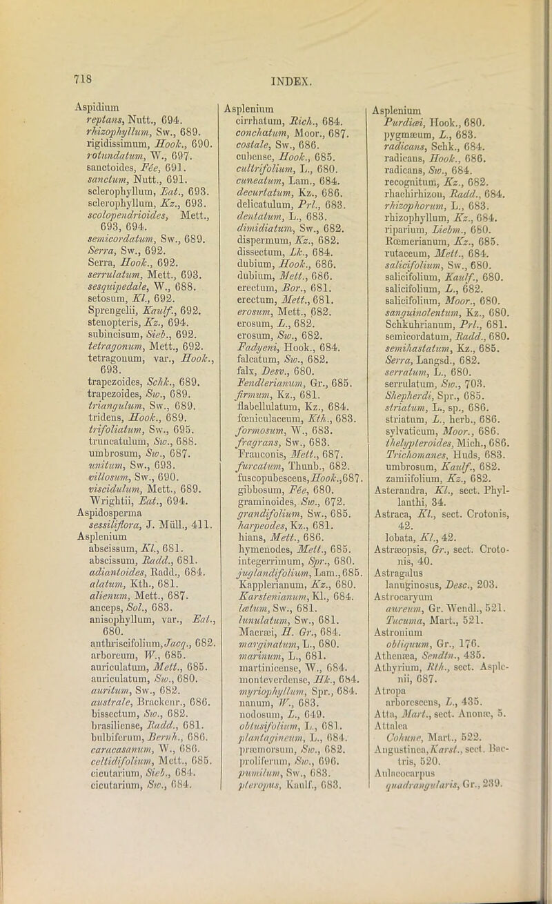 Aspidium replans, Nutt., 694. rhizophyllum, Sw., 689. rigidissimum, Hook., 690. rotundatum, W., 697. sauctoides, Fee, 691. sanctum, Nutt., 691. sclerophyllum, Eat., 698. scleropliyllum, Kz., 693. scolopendrioides, Mett., 693, 694. semicordatum, Sw., 689. Serra, Sw., 692. Serra, Hook., 692. serrulatum, Mett., 693. sesquipedale, W., 688. setosum, XL, 692. Sprengelii, Kaulf., 692. stenopteris, Kz., 694. subincisum, Sieb., 692. tetragonum, Mett., 692. tetragouuru, var., Hook., 693. trapezoides, Sclih., 689. trapezoides, Sw., 689. triangulum, Sw., 689. tridens, Hook., 689. trifoliatum, Sw., 695. truncatulum, Sw., 688. umbrosum, Sw., 687. unitum, Sw., 693. villosum, Sw., 690. viscidulum, Mett., 689. Wrightii, Eat., 694. Aspidosperma sessiliflora, J. Miill., 411. Asplenium abseissura, Kl., 681. abscissum, Radd., 681. adiantoides, Radd., 684. alatum, Ktb., 681. atienum, Mett., 687- anceps, Sol., 683. anisopkyllum, yar., Eat., 680. antbriscifolium, Jffcy., 682. arboreum, IV., 685. auriculatum, Melt., 685. auriculatum, Sw., 680. auritum, Sw., 682. austrate, Brackenr., 686. bissectum, Sw., 682. brasiliense, Radd., 681. bulbiferum, Bernh., 686. caracasamm, W., 686. celtidifolium, Melt., 685. cicutarium, Sieb., 684. cicutariran, Sw., 684. Asplenium cirrhatuin, Rich., 684. conchatum. Moor., 687. costale, Sw., 686. cubcuse, Hook., 685. cultrifolium, L., 680. cuneatum, Lam., 684. decurtatum, Kz., 686. delicatulum, Prl., 683. dentatum, L., 683. dirnidiatum, Sw., 682. dispermum, Kz., 682. disseetum, Lie., 684. dubium, Hook., 686. dubium, 'Mett., 686. erectum, Bor., 681. erectum, Mett., 681. erosum, Mett., 682. erosum, L., 682. erosum, Sw., 682. Fadyeni, Hook., 684. falcatum, Sw., 682. falx, Desv., 680. Fendlerianum, Gr., 685. firmum, I(z., 681. fiabellulatum, Kz., 684. fceniculacemn, Eth., 683. formosum, W., 683. fragrans, Sw., 683. Franconis, Mett., 687. furcaium, Thunb., 682. fuscopubescens,J7bo/f.,687. gibbosum, Fee, 680. graminoides, Sw., 672. grandifolium, Svv., 685. harpeodes,\iz., 681. liians, Mett., 686. hymeuodes, Mett., 6S5. integerrimum, Spr., 680. juglandijolium, Lam.,685. Kapplerianum, Kz., 680. Karstenianum, KL, 684. latum, Sw., 681. lunulatum, Sw., 681. Macrsei, H. Gr., 684. marginatum, L., 680. marinum, L., 681. martiniceuse, W., 684. monteverdense, Hk., 684. myriophyllum, Spr., 684. nanum, IF., 683. nodosum, L., 649. obtusifolium, L., 681. planiagineum, L., 684. pnemorsum, Sw., 682. proliferum, Sw., 696. pumi/um, Sw., 683. pleropus, Kaulf., 083. Asplenium Purdicei, Hook., 680. pygmaeum, L., 683. radicans, Sclik., 684. radicans, Hook., 686. radicans, Sw., 684. recognitum, Kz., 682. rliackirhizou, Radd., 684. rhizophorum, L., 683. rhizophyllum, Kz., 684. riparium, Liebm., 660. Roemerianum, Kz., 685. rutaceum, Mett., 684. salicifolium, Sw., 680. salicifolium, Kaulf., 680. salicifolium, L., 682. salicifolium, Moor., 680. sanguinolentum, Kz., 680. Sehkuhrianum, Prl., 681. semicordatum, Radd., 680. semihastatum, Kz., 685. Serra, Langsd., 682. serratum, L., 680. serrulatum, Sw., 703. Sheplierdi, Spr., 685. striatum, L., sp., 686. striatum, L., herb., 686. sylvaticum, Moor., 686. thelypteroides, Mich., 686. Tricliomanes, Huds, 683. umbrosum, Kaulf., 682. zamiifolium, Kz., 682. Asterandra, Kl., sect. Phyl- lanthi, 34. Astraca, Kl., sect. Crotonis, 42. lobata, KL, 42. Astrseopsis, Gr., sect. Croto- nis, 40. Astragalus lanuginosus, Besc., 203. Astrocaryum cure urn, Gr. Wendl., 521. Tucuma, Mart., 521. Astronium obliquum, Gr., 176. Atliensea, Sendln., 435. Atbyrium, Rlh., sect. Asplc- nii, 687. Atropa arborcsceus, L., 435. Alla, Mart., sect. Anomc, 5. Attalea Cohune, Mart., 522. Angustinea,Karst., sect. Bac- tris, 520. Aulncocarpus quadrangufaris, Gr., 239.