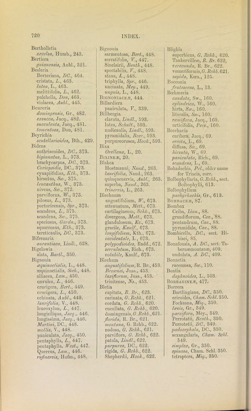 Bertholletia excelsa, Hurnb., 243. Bertiera guianensis, Aubl., 321. Besleria Berteriana, DC., 464. cristata, L., 463. lutea, L., 463. melittifolia, L., 462. pulchella, Don, 463. violacea, Aubl., 445. Beureria domingensis, Gr., 482. exsucca, Jacq., 482. succidenta, Jacq., 481. tomentosa, Dou, 481. Bey rich ia scutellarioides, Bth., 429. Bidens anthriscoides, DC., 373. bipinnatus, L., 373. brachycarpus, DC., 373. Coriopsidis, DC., 373. cynapiifolius, Kth., 373. liirsutus, Sw., 375. leucanthus, W„ 373. niveus, Siv., 372. parviflorus, W., 373. pilosus, L., 373. portoricensis, Spr., 373. scandens, L., 375. scandens, Sw., 375. speciosus, Gardn., 373. squarrosus, Kth., 373. tereticaulis, DC., 373. Bifrenaria auranliaca, Lindl., 628. Bigelowia alata, Barit., 350. Bignonia aquinoclialis, L., 448. requinoctialis, Sieb., 448. alliacea, Lam., 450. qrcrulea, L., 446. crucigera, Bert., 449. crucigera, L., 450. cchinata, Aubl., 449. laurifolia, V., 448. leucoxylon, L., 447. longisiliqua, Jacq., 446. longissima, Jacq., 446. Martini, DC., 448. mollis, V., 448. paniculata, Jacq., 450. penfcapbylla, L., 447. pentaphylla, West., 447. Quercus, Lam., 446. rvfmervis, llofm., 448. Bignonia sarmentosa, Bert., 448. serratifolia, V., 447- Sinclairii, Benth,., 448. speclabilis, V., 448. stans, L., 448. triphvlla, Spr., 446. uncinata, Meg., 449. unguis, L., 448. Bignoniacead, 444. Billardiera paniculata, V., 339. Billbergia clavata, Lindl., 593. lutea, Schult., 593. nudicaulis, Lindl., 593. pyramidalis, Beer., 593. purpureorosea, Hoo/c., 593. Bixa Orellana, L., 20. Bixine*, 20. Blakea Ilostmanni, Baud., 263. laurifolia, Naud., 263. quinquenems, Aubl., 263. superba, Naud., 263. trinervis, L., 263. Bleclinum angustifolium, W., 673. attenuatum, Mett., 673. cartilagineum, Seh/e., 673. divergens, Melt., 673. glandulosum, Kz., 673. gracile, Kaidf., 673. longifolium, Kth., 673. occidentale, L , 673. polypodioides, Kadd., 672. serrulatum. Rich., 673. volubile, Kaulf., 673. Bleclium angustifolium, R. Bi\, 453. jBrownei, Juss., 453. laxiflorum, Juss., 453. trinitense, Ns., 453. Bletia capitata, II. Br., 623. carinata, G.Rchb., 621. cordata, G. Bchb., 620. cucullata, G. Rchb., 620. domingcnsis,tr.7?ff//i.,621. Jlorida, R. Br., 621. montana, G. Rchb., 622. nodosa, G. Rchb., 021. parviflora, G. Rchb., 622. patula, Lindl., 622. purpurea, DC., 622. rigida, G. Rclib., 622. Shepherdii, Hook., 022. Bliglna superbiens, G. Rchb., 620. 'J’ankervilleaj, R. Br. 622, verecunda, R. Br., 622. vomeriformis, G. Rchb. 621. sapida, Keen., 125. Bocconia frutescens, L., 13. Boehm eria caudata, Sw., 160. cglindrica, W., 160. hirta, Sw., 160. litoralis, Sw., 160. ramijlora, Jacq., 160. urticifolia, Pers., 160. Boerhavia caribrea, Jacq., 69. erecla, L., 69. diffusa, Sw., 69. Ursula, W., 69. paniculata. Rich., 69. scandens, L., 69. Bohadscbia, Prl., older name for Triacis, corr. Bolbophyllaria, G.Rchb., sect. Boibophylli, 613. Bolbophvllum pachyrhachis, Gr., 613. Bombacea3, 87. Bombax Ceiba, Linn., 88. grandiflorum, Cav., 88. pentaudrum, Cav., 88. pyramidale, Cav., 88. Bombicella, DC., sect. Ili- bisci, 85. Bonafousia, A. DC., sect. Ta- bernEemontance, 409. undulata, A. DC., 409. Bounetia racemosa, Sw., 110. Bontia daphnoides, L., 503. Boreagineje, 477. Borrera Bartlingiana, DC., 350. ericoides, Cham. Schl. 350. Fockeana, Miq., 350. leevis, Gr., 349. parviflora, Mey., 349. Perrotatii, Benth., 350. Perrotetii, DC., 349. padocephala, DC., 350. sexangularis, Cham. Sold. 649. simplex, Gr., 350. spinosa, Cham. Schl. 350. tetraptcra, Miq., 350.