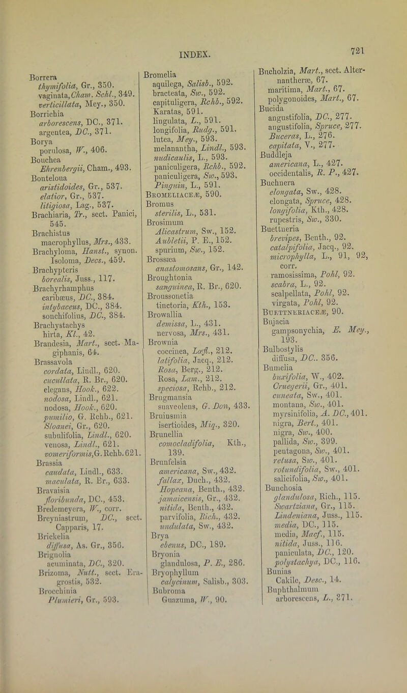 Borrera thymifolict, Gr., 350. vaginata,Cham. Schl., 340. verticilldta, Mey., 350. Borrichia arborescens, DC., 371. argcutea, DC., 371 - Borya porulosa, IF., 406. Bouchea Ehrenbergii, Cham., 493. Bonteloua aristidoides, Gr., 537- e/atior, Gr., 537- litigiosa, Lag., 537- Brachiaria, Tr., sect. Panici, 545. Brachistus macrophyllus, Mrs., 433. Brachyloma, Hanst., synon. Isoloma, Decs., 459. Brachypteris borealis, Juss., 117- Brachyrhamphus caribseus, DC., 384. intybaceus, DC., 384. sonchifolius, DC., 384. Brachystachys hirta, Kl., 42. Brandesia, Mart., sect. Ma- giphanis, 64. Brassavola cordata, Liudl., 620. cucullata, It. Br., 620. elegans, Hook., 622. nodosa, Lindl., 621. nodosa, Hook., 620. pumilio, G. Rcbb., 621. Sloanei, Gr., 620. subnlifolia, Lindl., 620. venosa, Lindl., 621. vomeriformis, G. Rchb. 621. Brassia caudata, Lindl., 633. maculata, It. Br., 633. Bravaisia Jlonbunda, DC., 453. Bredemeyera, IF, corr. Breyniastrum, DC'., sect. Capparis, 17- Brickclia diffusa, As. Gr., 356. Brignolia acuminata, DC., 320. Brizoma, Nutt., sect. Era- grostis, 532. Broccbinia Plumieri, Gr., 593. Bromelia aquilega, Salisb., 592. bracteata, Sw., 592. capituligcra, Rchb., 592. Karatas, 591. lingulata, L., 591. longifolia, Rudg., 591. lutea, Mey., 593. melanantha, Lindl., 593. nudicaulis, L., 593. paniculigera, Rchb., 592. paniculigera, Sw., 593. Pingnin, L., 591. Bkomeuaceas, 590. Brooms sterilis, L., 531. Brosimum Alicastrum, Sw., 152. Aubletii, P. E., 152. spurium, Sw., 152. Brosseea anastomosans, Gr., 142. Broughtonia sanguinea. It. Br., 620. Broussonetia tinctoria, Kth., 153. Browallia demissa, L., 431. nervosa, Mrs., 431. Brownia coccinea, Loefl., 212. latifolia, Jacq., 212. Rosa, Berg., 212. Rosa, Lam., 212. speciosa, Rchb., 212. Brugmansia suaveolens, G. Don, 433. Bruinsinia isertioides, Miq., 320. Brunellia comocladfolia, Kth., 139. Brunfelsia americana, Sw., 432. fa/lax, Duch., 432. Hopeana, Benth., 432. jamaicensis, Gr., 432. nitida, Benth., 432. parvifolia. Rich., 432. undulala, Sw., 432. Brya ebenus, DC., 189. Bryonia glandulosa, P. E., 286. Bryophylluin catycinum, Salisb., 303. Bubroma I Guazuma, IF., 90. Bucholzia, Mart., sect. Alter- nantherce, 67- maritima, Mart., 67. polygonoides. Mart., 67- Bucida ang ustifolia, DC., 277. angustifolia, Spruce, -277. Buceras, L., 276. capilata, V., 277- Buddleja americana, L., 427. occidentalis, R. P-, 427. Buchnera elongata, Sw., 428. elongata. Spruce, 428. longifolia, Kth., 428. rupestris. Sic., 330. Buettneria brevipes, Benth., 92. catalpifolia, Jacq., 92. micropliylla, L., 91, 92, corr. ramosissima, Pohl, 92. scabra, L., 92. scalpellata, Pohl, 92. virgata, Pohl, 92. Buettnekiaceje, 90. Bujacia gampsonyehia, E. Mey., 193. Bulbostylis diffusa, DC.. 356. Bumelia buxifolia, W,, 402. Crueyerii, Gr., 401. cuneata, Sw., 401. montana, Sw., 401. myrsinifolia, A. DC., 401. nigra, Bert., 401. nigra, Sw., 400. pallida, Sw., 399. pentagons, Sw., 401. retusa, Sw., 401. rotundifolia, Sw., 401. salicifolia, Sw., 401. Bunehosia glandulosa, Rich., 115. Swarlziana, Gr., 115. Lindeniana, -Juss., 115. media, DC., 115. media, Macf, 115. nitida, Juss., 116. paniculata, DC., 120. polyslachya, DC., 116. Bunias Cakile, Desc., 14. Buphthalmum arborescens, L., 371.