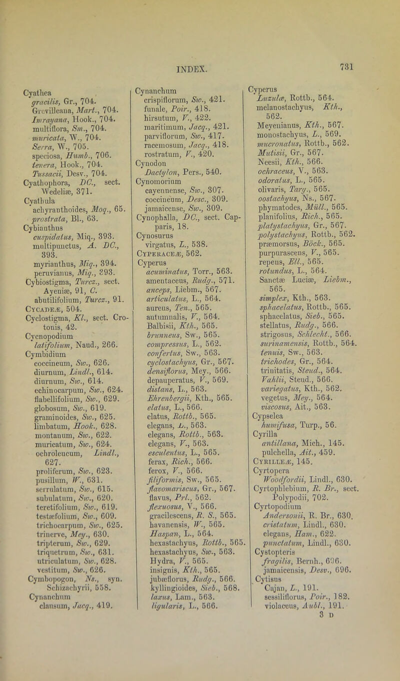 Cyathea gracilis, Gr., 704. Grevilleaua, Mart., 704. jIn ray ana, Hook., 704. multiflora, Sm., 704. muricata, W., 704. Serra, W., 705. speciosa, Humb., 706. tevera, Hook., 704. Tussacii, Desv., 704. Cyathophora, DC., sect. Wedeliffi, 371. Cvathula achyranthoides, Moq., 65. prostrata, Bl., 63. Cybianthus cuspidalus, Miq., 393. multipuuctus, A. DC., 393. myrianthus, Miq., 394. peruviaims, Miq., 393. Cybiostigma, Turcz., sect. Ayeniffi, 91, C. abutilifolium, Turcz., 91. Cycadev®, 504. Cyclostigma, KL, sect. Cro- tonis, 42. Cycnopodium latifolium, Naud., 266. Cymbidium coccineum, Sw., 626. diurnum, Lindt., 614. diurnum, Sw., 614. echinocarpum, Sw., 624. flabellifolium, Sw., 629. globosum, Sw., 619. graminoides, Sw., 625. limbatum, Hook., 628. montanum, Sw., 622. muricatum, Sw., 624. ochroleucutn, Lindt., 627. proliferum, Sw., 623. pusillum, W., 631. serrulatnrn, Sw., 615. subulatum, Sw., 620. teretifolium, Sw., 619. testajfolium, Sio., 609. trichocarpum, Sw., 625. trinerve, Meg., 630. tripterum, Sw., 629. triquetrum, Sw., 631. utrieulatum, Sw., 628. vestitum, Sw., 626. Cymbopogon, Ns., syn. Schizaehyrii, 558. Cynanchum clausum, Jacq., 419. Cynanclmm crispillorum, Sw., 421. funale, Poir., 418. hirsutum, V., 422. maritimum, Jacq., 421. parviflorum, Sw., 417- racemosum, Jacq., 418. rostratum, P., 420. Cynodon Dactyton, Pers., 540. Cynomorium cayennense, Sw., 307- coccineum, Desc., 309. jamaicense, Sw., 309. Cynophalla, DC., sect. Cap- paris, 18. Cynosurus virgatns, L., 538. CYPERACEiE, 562. Cyperus acuminatus, Torr., 563. amentaceus, Rudg., 571. anceps, Liebra., 567. articulatus, L., 564. aureus, Ten., 565. autumnalis, V., 564. Balbisii, Kth., 565. brunneus, Sw., 565. compressus, L., 562. confertus, Sw., 563. eg dost achy us, Gr., 567- densiflorus, Mey., 566. depauperatus, V., 569. disians, L., 563. Ehrenbergii, Kth., 565. elatus, L., 566. elatus, Rottb., 565. elegans, h., 563. elegans, Rottb., 563. elegans, V., 563. esculentus, L., 565. ferax, Rich., 566. ferox, V., 566. filiformis, Sw., 565. flavomariscus, Gr., 567. flavus, Prl., 562. Jlexuosus, V., 566. gracilescens, R. S., 565. havanensis, W., 565. Haspan, L., 564. hexastachyus, Rottb., 565 hexastachyus, Sw., 563. Hydra, V., 565. insignis, Kth., 565. jubtedorus, Rudg., 566. kyllingioides, Sieb., 568. lawns, Lam., 563. ligularis, L., 566. Cyperus Luzutcc, Rottb., 564. melanostachyus, Kth., 562. Meyeuianus, Kth., 567. mouostachyus, L., 569. mucronalus, Rottb., 562. Mutisii, Gr., 567- Neesii, Kth., 566. ocliraceus, V., 563. odoratus, L., 565. olivaris, Targ., 565. oostachyus. Ns., 567- phymatodes, Mull., 565. planifolius, Rich., 565. platystachyus, Gr., 567. qiolgstachyus, Rottb., 562. praemorsus, Boc/c., 565. purpurascens, V., 565. repeus, Ell., 565. rotundas, L., 564. Sanctse Lucice, Liebm., 565. simplex, Ivth., 563. sphacelatus, Rottb., 565. sphacelatus, Sic6., 565. stellatus, Rudg., 566. strigosus, Schlecht., 566. surinamensis, Rottb., 564. tenuis, Sw., 563. trichodes, Gr., 564. trinitatis, Stead., 564. Vahlii, Steud., 566. variegatus, Kth., 562. vegetus, Meg., 564. viscosus, Ait., 563. Cypselea himifusa, Turp., 56. Cyrilla antiliana, Mich., 145. pulchella, Ait., 459. CyrillE/E, 145. Cyrtopera Woodfordii, Lindl., 630. Cyrtophlebium, R. Br., sect. Polypodii, 702. Cyrtopodium Andersonii, R. Br., 630. cristalum, Lindl., 630. elegans, Ham., 622. punctalum, Lindl., 630. Cystopteris fragilis, Bernh., 696. jamaicensis, Desv., 696. Cytisus Cajan, L., 191. sessiliilorus, Pair., 182. violaceus, Aubt., 191. 3 i)