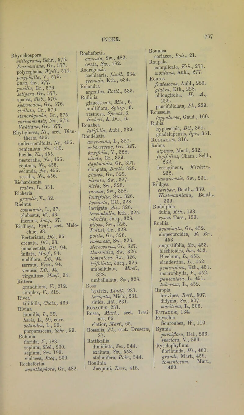 Rhynchospora millegrana, Schr., 575. Persooniana, Gr., 577- polycephala, Wydl., 574. polyphylla, V., 575. piira, Gr., 577- pusilla, Gr., 576. seliyera, Gr., 577- sparsa, Sieb., 576. spenaodon, Gr., 576. stellala, Gr., 576. stenorhyncha, Gr., 575. surinamensis, Ns., 575. Vahliana, Gr., 577. Rliytiglossa, Ns., sect. Dian- thera;, 455. androssemifolia, Ns., 455. geniculata, Ns., 455. lucida, Ns., 455. pectoralis, Ns., 455. reptans, Ns., 455. secunda, Ns., 455. sessilis, Ns., 456. Ricliardsonia scabra, L., 351. Rieheria grandis,V32. Rieinus communis, L., 37. globosus, W., 43. inermis, Jacq., 37- Riedleya, Vent., sect. Melo- chias, 93. Berteriana, DC., 95. crenata, DC., 93. jamaicensis, DC., 94. inflata, Macf., 94. nodiflora, DC., 94. serrata, Vent., 94. venosa, DC., 94. virgultosa, Macf., 94. Rittera grandiflora, V., 212. simplex, V., 212. Rivea tiliifolia, Chois., 466. Rivina humilis, L., 59. Icevis, L., 59, corr. octandra, L., 59. purpurascens, Schr., 59. Robinia florida, V., 183. sepiurn, Sieb., 200. sepium, Sw., 199. violacea, Jacq., 200. ltocbcfortia acanthophora, Gr., 482. Rocbefortia cuneata, Sw., 482. ovata, Sio., 482. Rodriguezia cocblearis, Lindl., 634. secunda, Kth., 634. Rolandra argentea, Botlb., 53o. Rolliuia glaucescens, Miq., 6. multiflora, Spliiy., 6. resinosa, Spruce, 6. Sieberi, A. DC., 6. Ronabea latifolia, Aubl., 339. Rondeletia americana, L., 327. arborescens, Gr., 327. buxifolia, V., 328. cincta, Gr., 329. daphnoides, Gr., 327. elongata, Bartl., 328. glauca, Gr., 329. liirsuta, Sw., 327• hirta, Sw., 328. incana, Sw., 328. laurifolia, Sw., 326. leevigata, DC., 328. hevigata, Ait., 326. leucopliylla, Kth., 325 odorata, Jacq., 328. pilosa, Sw., 328. Poitcei, Gr., 328. polita, Gr., 326. racemosa, Sw., 326. stereocarpa, Gr., 327. thyrsoidea, Sw., 326. tomentosa, Sw., 326. trifoliata, Jacq., 326 umbellulata, Macf., 328 umbellulata, Sw., 328 Rosa hystrix, Lindl., 231. leevigata, Mich., 231. sinica, Ait., 231. Rosaceas, 231. Rosea, Mart., sect. Iresi- nes, 65. elatior, Mart., 65. Rossolis, PL, sect. Droserce, 27. Rottbmllia dimidiata, Sw., 544. exaltata, Sw., 558. stolonifera, Poir., 544. ltouliuia Jacquiui, Decs., 418. Roumea coriacea, Poit., 21. Roupala complicata, Ktli., 277• montana, Aubl., 277. Rourea frutescens, Aubl., 229. glabra, Kth., 228. oblongifolia, H. A., 229. paucifoliolata, PL, 229. Rousselia lappulacea, Gaud., 160. Rubia hypocarpia, DC., 351. guadelupeusis, Spr., 351. Rubiaceas, 316. Rubus alpinus, Macf., 232. fagifolius, Cham., Schl., 232. ferrugineus, Wickstr., 232. jamaicensis, Sw., 231. Rudgea canbcea, Benth., 339. PLosimanniana, Benth., 339. Rndolphia dubia, Kth., 193. rosea, Tuss., 199. Ruellia acuminata, Gr., 452. alopecuroidea, P. Br., 453. angustifolia, Sw., 453. blechioides, Sw., 453. Blechum, L., 453. clandestina, L., 452. geminijlora, Kth., 451. macrophylla, V., 452. paniculata, L., 451. tuberosa, L., 452. Ruppia brevipes, Bert., 507- didyma, Sw., 507. maritima, L., 506. Rutace.e, 134. Ruyschia Souroubea, W., 110. Ryania parviflora, Del., 296. speciosa, V., 296. Rytidophyllum floribunda, III., 460. grande, Mart., 459. tomentosum, Mart., 460.