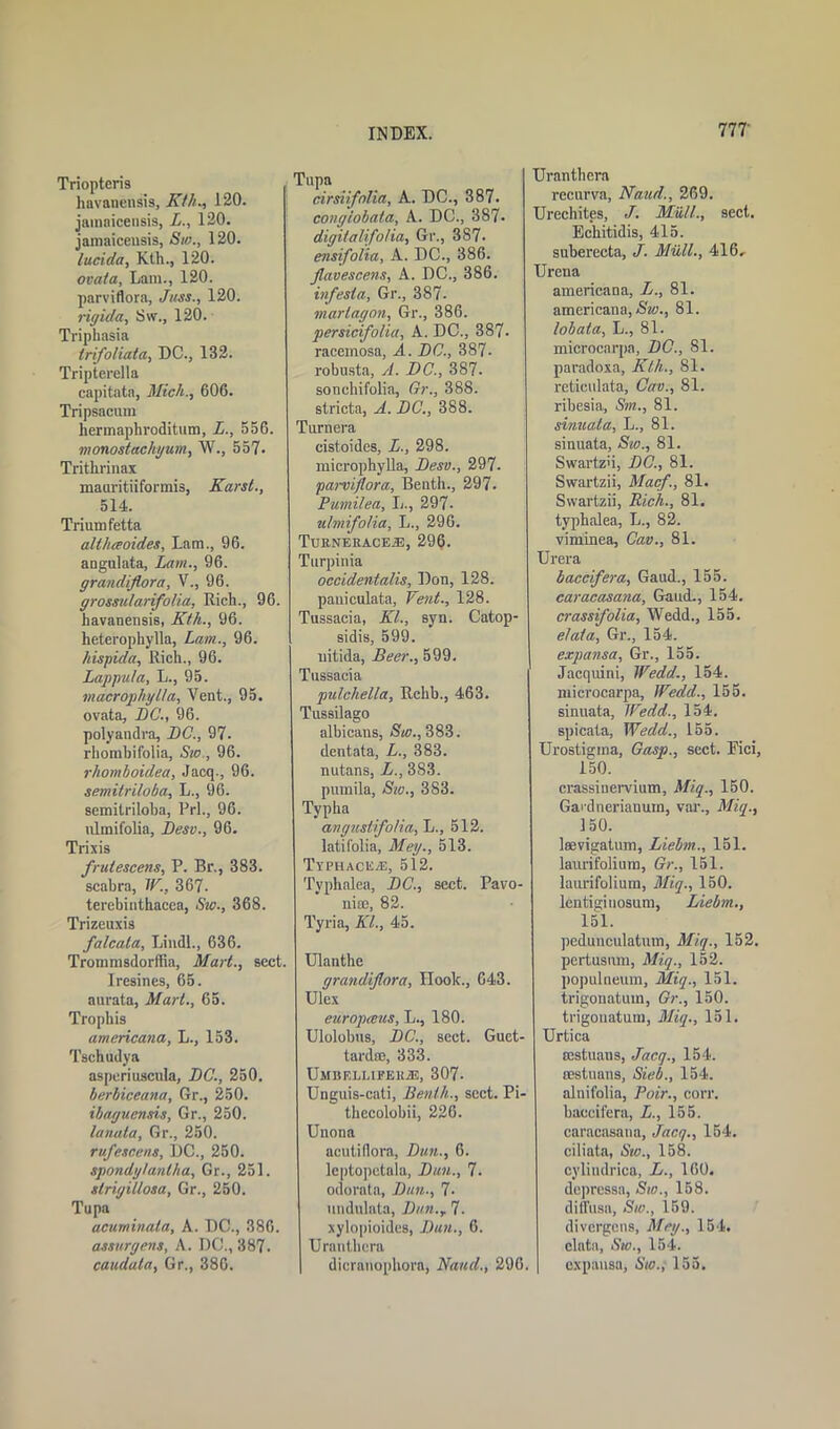 Triopteri9 havaneusis, Kth., 120. jamaicensis, L., 120. jamaicensis, Sw., 120. lucida, Kth., 120. ova/a, Lam., 120. parviflora, Juss., 120. rigida, Sw., 120. Triphasia Irifo/iata, DC., 132. Tripterella capitate, Mich., 606. Tripsacum hermaphroditum, L., 556. monostaeliyum, W., 557. Trithrinax mauritiiformis, Karst., 514. Triumfetta althceoides, Lam., 96. angulata, Lam., 96. grandiflora, V., 96. grossularifolia, Rich., 96. havanensis, Kth., 96. heterophylla, Lam., 96. hispida, Rich., 96. Lappula, L., 95. macrophylla, Vent., 95. ovata, LG., 96. polyandra, LC., 97. rhombifolia, Sw,, 96. rlwmhoidea, Jacq., 96. semitriloba, L., 96. semilriloba, Prl., 96. ulmifolia, Lesv., 96. Trixis frulescens, P. Br., 383. scabra, W., 367. terebinthaeea, Sic., 368. Trizeuxis falcala, Lindl., 636. Trommsdorffia, Mart., sect. I resines, 65. aurata, Mart., 65. Trophis americana, L., 153. Tschudya asperiuscula, LG., 250. berbiceana, 6r., 250. ibaguensis, Gr., 250. lanata, Gr., 250. rufescens, DC., 250. spondytanlha, Gr., 251. slrigillosa, Gr., 250. Tu pa acuminata, A. DC., 386. assurgens, A. DC., 387. caudata, Gr., 386. Tnpa cirsiifolia, A. DC., 387. congiobata, A. DC., 387- digilalifolia, Gr., 387. ensifolia, A. DC., 386. Jlavescens, A. DC., 386. infesta, Gr., 387. marlagon, Gr., 386. persicifolia, A. DC., 387. racemosa, A. LG., 387- robusta, A. DC., 387. soncliifolia, Gr., 388. stricta, A. LC., 388. Turn era cistoides, L., 298. microphylla, Lesv., 297. parviflora, Benth., 297. Pumilea, L., 297. ulmifolia, L., 296. Turneraceju, 296. Turpinia occidentalis, Don, 128. pauiculata, Vent., 128. Tussaeia, Kl., syn. Catop- sidis, 599. nitida, Beer., 599. Tussaeia pulchella, Rehb., 463. TussOago albicans, Sw., 383. dentata, L., 383. nutans, L., 383. pumila, Sw., 383. Typha angustifolia, L., 512. latifolia, Meg., 513. Typhaceje, 512. Typhalea, LC., sect. Pavo- niffi, 82. Tyria, Kl., 45. Ulanthe grandiflora. Hook., 643. Ulex europceus, L., 180. Ulolobus, LC., sect. Guet- tardee, 333. Umbf.li.ii'ehrd, 307- Unguis-cati, Benth., sect. Pi- thecolobii, 226. Unona acutiflora, Lun., 6. leptopctala, Lun., 7. odorata, Lun., 7- undulata, Lun.r 7. xylopioides, Lun., 6. Uranthera dicranophora, Naitd., 296. Uranthera recurva, Naud., 269. Urechites, J. Mull., sect. Echitidis, 415. snberecta, J. Mull., 416, Urena americana, L., 81. americana, Sw., 81. lobata, L., 81. microcarpa, LC., 81. paradoxa, Kth., 81. reticulata, Cav., 81. ribesia, Sm., 81. sinuata, L., 81. sinuata, Sw., 81. Swartz'i, LC., 81. Swartzii, Macf., 81. Swartzii, Rich., 81. typhalea, L., 82. viminea, Cav., 81. Urera baccifera, Gaud., 155. caracasana. Gaud,, 154. crassifolia, Wedd., 155. elata, Gr., 154. expansa, Gr., 155. Jacquini, Wedd., 154. microcarpa, Wedd., 155. sinuata, Wedd., 154. spicata, Wedd., 155. Urostigma, Gasp., sect. Pici, 150. crassinervium, Miq., 150. Gardnerianum, var., Miq., 150. laevigatum, Liebm., 151. laimfolium, Gr., 151. laurifolium, Miq., 150. lentiginosum, Liebm., 151. pedunculatum, Miq., 152. pertusnm, Miq., 152. populneum, Miq., 151. trigonatum, Gr., 150. trigonatum, Miq., 151. Urtica ffistuans, Jacq., 154. sestuans, Sieb., 154. alnifolia, Poir., corr. baccifera, L., 155. caracasana, Jacq., 154. ciliata, Sw., 158. cylindrica, L., 160. depressa, Sw., 158. diffusa, Sw., 159. divergens, Meg., 154. elata, Sw., 154. expansa, Sw., 155.