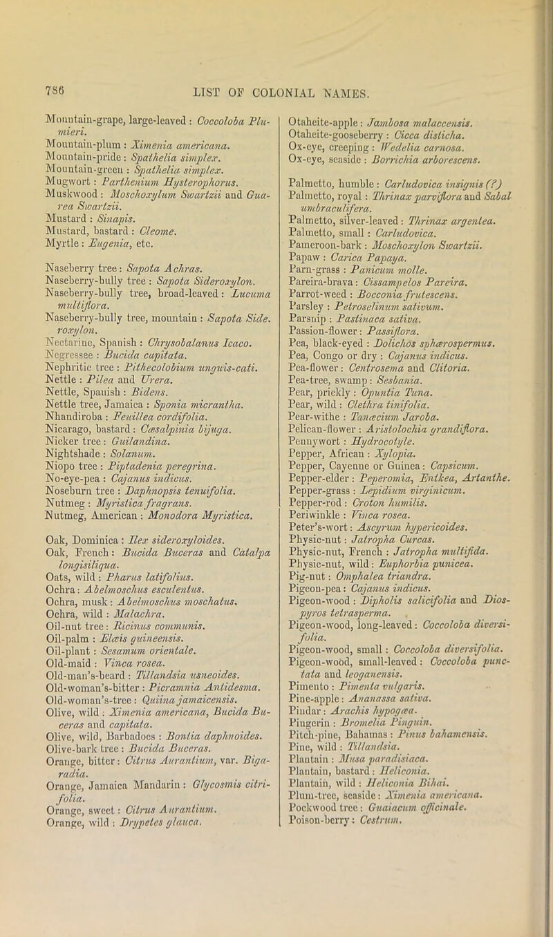 Mountain-grape, large-leaved : Coccoloba Plu- viieri. Mountain-plum : Ximenia americana. Mountain-pride: Spathelia simplex. Mountain-green : Spathelia simplex. Mugwort: Parthenium Hysterophorus. Muskwood : Moschoxylum Swartzii and Gua- rea Swartzii. Mustard : Sinapis. Mustard, bastard: Cleome. Myrtle : Eugenia, etc. Naseberry tree: Sapota Achras. Naseberry-bully tree : Sapota Sideroxylon. Naseberry-bully tree, broad-leaved: Lucuma multijlora. Naseberry-bully tree, mountain : Sapota Side, roxylon. Nectarine, Spanish : Ckrysobalanus Icaco. Negressee : Bucida capitata. Nephritic tree : Pithecolobium unguis-cati. Nettle : Pilea and TJrera. Nettle, Spanish: Bidens. Nettle tree, Jamaica : Sponia micrantlia. Nhandiroba: Feuillea cordifolia. Nicarago, bastard: Ccesalpinia bijuga. Nicker tree: Guilandina. Nightshade: Solanum. Niopo tree : Piptadenia peregrina. No-eye-pea: Cajanus indicus. Noseburn tree : Daphnopsis lenuifolia. Nutmeg: Myristicafragrans. Nutmeg, American: Monodor a Myristica. Oak, Dominica : Ilex sideroxyloides. Oak, French: Bucida Buceras and Catalpa longisiligua. Oats, wild : Pharus latifolius. Oclrra: Abelmoschus esculentus. Ochra, musk: Abelmoschus moscliatas. Ochra, wild : Malachra. Oil-nut tree : Ricinus communis. Oil-palm : Elceis guineensis. Oil-plant: Sesamum orientale. Old-maid : Vinca rosea. Old-mau’s-beard : Tillandsia usneoides. Old-woman’s-bitter: Picramnia Antidesma. Old-woman’s-trce: Quiina jamaicensis. Olive, wild : Ximenia americana, Bucida Bti- ceras and capitala. Olive, wild, Barbadoes : Bonlia daphnoides. Olive-bark tree : Bucida Buceras. Orange, bitter: Citrus Aurantium, var. Biga- railia. Orange, Jamaica Mandarin: G/ycosmis citri- folia. Orange, sweet.: Citrus Aurantium. Orange, wild : Brypelcs glauca. Otaheite-apple: Jambosa malaccensu. Otaheite-gooscberry: Cicca dislicha. Ox-eye, creeping : Wedelia carnosa. Ox-eye, seaside : Borrichia arborescens. Palmetto, humble: Carludovica insignis(?) Palmetto, royal : Thrinaxparvijlora aud Sabal umbraculifera. Palmetto, silver-leaved: Thrinax argenlea. Palmetto, small: Carludovica. Pameroon-bark: Moschoxylon Swartzii. Papaw: Carica Papaya. Parn-grass : Panicum molle. Pareira-brava: Cissampelos Pareira. Parrot-weed : Bocconia frulescens. Parsley : Petroselinum sativum. Parsnip : Pastinaca sativa. Passion-flower: Passijlora. Pea, black-eyed : Bolichos sphcerospermus. Pea, Congo or dry : Cajanus indicus. Pea-flower: Centrosema and Cliloria. Pea-tree, swamp: Sesbania. Pear, prickly : Opuntia Tuna. Pear, wild : Clethra tinifo/ia. Pear-withe : Tanrecium Jaroba. Pelican-flower : Aristolochia grandijlora. Pennywort : PPydrocotyle. Pepper, African: Xylopia. Pepper, Cayenne or Guinea: Capsicum. Pepper-elder : Peperomia, Entlcea, Arlanthe. Pepper-grass : lepidium virginicum. Pepper-rod : Croton humilis. Periwinkle : Vivca rosea. Peter’s-wort: Ascyrum hypericoides. Physic-nut: Jatropha Curcas. Physic-nut, French : Jatropha multifida. Physic-nut, wild: Euphorbia punicea. Pig-nut: Omphalea triandra. Pigeon-pea: Cajanus indicus. Pigeon-wood : Dipholis salicifolia and Dios- pyros tetrasperma. Pigeon-wood, long-leaved : Coccoloba diversi- folia. Pigeon-wood, small: Coccoloba diversifolia. Pigeon-wood, small-leaved : Coccoloba punc- tata and leoganensis. Pimento: Fimenta vulgaris. Pine-apple: Auanassa saliva. Pindar: Arachis hypogaa. Piugerin: Bromelia Pinguin. Pitch-pine, Bahamas : Pinus bahamensis. Pine, wild : Tillandsia. Plantain: Musa paradisiaca. Plantain, bastard: Ueliconia. Plantain, wild : Ueliconia Bihai. Plum-tree, seaside: Ximenia americana. Pockwood tree : Guaiacum officinale. Poison-berry: Cestrum.