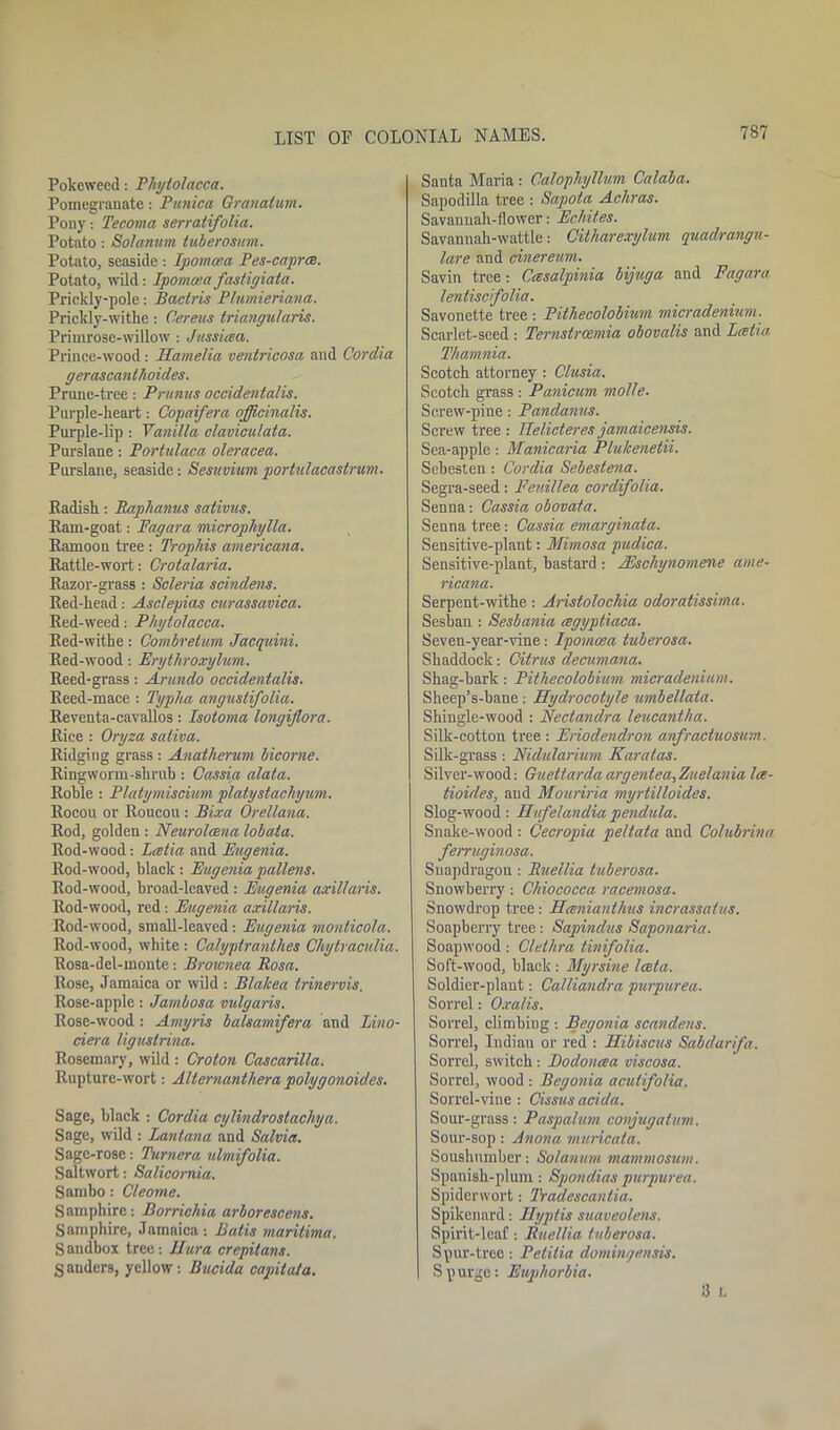 Pokeweed: Phytolacca. Pomegranate: Tunica Granaium. Pony: Tecoma serratifolia. Potato: Solanum tuberosum. Potato, seaside : Ipomcea Pes-caprce. Potato, wild: Ipomcea fastiyiata. Prickly-pole: Bactris P/umieriana. Prickly-withe: Cereus triangularis. Primrose-willow : Jussicea. Prince-wood: Hamelia ventricosa and Cordia gerascanthoides. Prune-tree: Primus occidentalis. Purple-heart: Copaifera officinalis. Purple-lip Vanilla claviculala. Purslane: Portulaca oleracea. Purslane, seaside: Sesuvium portulaca strum. Badish: Raphanus sativus. Bam-goat: Fagara micropliylla. Bamoon tree : Trophis americana. Eattle-wort: Crotalaria. Eazor-grass : Scleria scindens. Eed-kead: Asclepias curassavica. Eed-weed: Phytolacca. Bed-withe: Combretum Jacquini. Eed-wood: Erythroxylum. Eeed-grass: Arundo occidentalis. Beed-mace : Typlia angustifolia. Beventa-cavallos: Isotoma longijlora. Eice : Oryza saliva. Eidging grass : Anatherum bicorne. Eingwonn-shrub : Cassia alata. Eoble: Platymiscium platystachyum. Eocou or Eoucou : Bixa Orellana. Eod, golden : Neurolcena lobata. Eod-wood: Lcetia and Eugenia. Eod-wood, black : Eugenia pallens. Eod-wood, broad-leaved: Eugenia axillaris. Eod-wood, red: Eugenia axillaris. Eod-wood, small-leaved •. Eugenia monticola. Eod-wood, white : Ca/yptranthes Chytraculia. Bosa-del-monte: Broicnea Rosa. llose, Jamaica or wild : Blalcea trinervis. Eose-apple: Jambosa vulgaris. Eose-wood: Amyris balsamifera and Lino- ciera liguslrina. Bosemary, wild: Croton Cascarilla. Eupture-wort: Alternantliera polygonoides. Sage, black : Cordia cylindrostachya. Sage, wild : Lantana and Salvia. Sage-rose: Turnera ulmifolia. Saltwort: Salicornia. Sambo: Cleome. Samphire: Borrichia arborescens. Samphire, Jamaica: Batis marilima. Sandbox tree: liar a crepitans. S anders, yellow: Bucida capitata. Santa Maria : Calophyllum Calaba. Sapodilla tree : Sapota Achras. Savannah-flower: Echites. Savannah-wattle: Citharexylum quadrangu- lare and cinereum. Savin tree: Ccesalpinia bijuga and Fagara lentiscfolia. Savonette tree : Pithecolobium micradenium. Scarlet-seed : Ternstrcemia obovalis and Lcetia Thamnia. Scotch attorney : Clusia. Scotch grass : Panicum molle. Screw-pine: Pandanus. Screw tree : Ilelicteres jamaicensis. Sea-apple: Manicaria Plulcenetii. Sebesten : Cordia Sebestena. Segra-seed: Feuillea cordifolia. Senna: Cassia obovata. Senna tree: Cassia emarginata. Sensitive-plant: Mimosa pudica. Sensitive-plant, bastard : JEscliynonicne ame- ricana. Serpent-withe: Aristolochia odoratissima. Sesban : Sesbania cegyptiaca. Seven-year-vine: Ipomcea tuberosa. Shaddock: Citrus decumana. Shag-bark: Pithecolobium micradenium. Sheep’s-bane; Hydrocotyle umbellaia. Shingle-wood : Nectandra leucantha. Silk-cotton tree : Eriodendron anfractuosum. Silk-grass : Nidularium Karatas. Silver-wood: Guettardaargentea,Zuelania la- tioicles, and Mouriria myrtilloides. Slog-wood : Hufelandia pendula. Snake-wood: Cecropia peltata and Colubrina ferruginosa. Snapdragon : Rueilia tuberosa. Snowberry: Chiococca racemosa. Snowdrop tree: Hceniantlius incrassaius. Soapberry tree: Sapinclus Saponaria. Soapwood : Clethra tinifolia. Soft-wood, black : Myrsine Iceta. Soldier-plant: Calliandra purpurea. Sorrel: Oxa/is. Sorrel, climbing : Begonia scandens. Sorrel, Indian or red : Hibiscus Sabdarifa. Sorrel, switch: Bodoncea viscosa. Sorrel, wood : Begonia acutifolia. Sorrel-vine : Cissus acida. Sour-grass : Paspalum conjugatum. Sour-sop: Anona muricata. Soushnmber: Solanum mammosum. Spanish-plum : Spondias purpurea. Spidervvort: Tradescanlia. Spikenard: Hyplis suaveolens. Spirit-leaf: Rueilia tuberosa. Spur-tree: Pelilia domingensis. Spurge: Euphorbia. 3 L