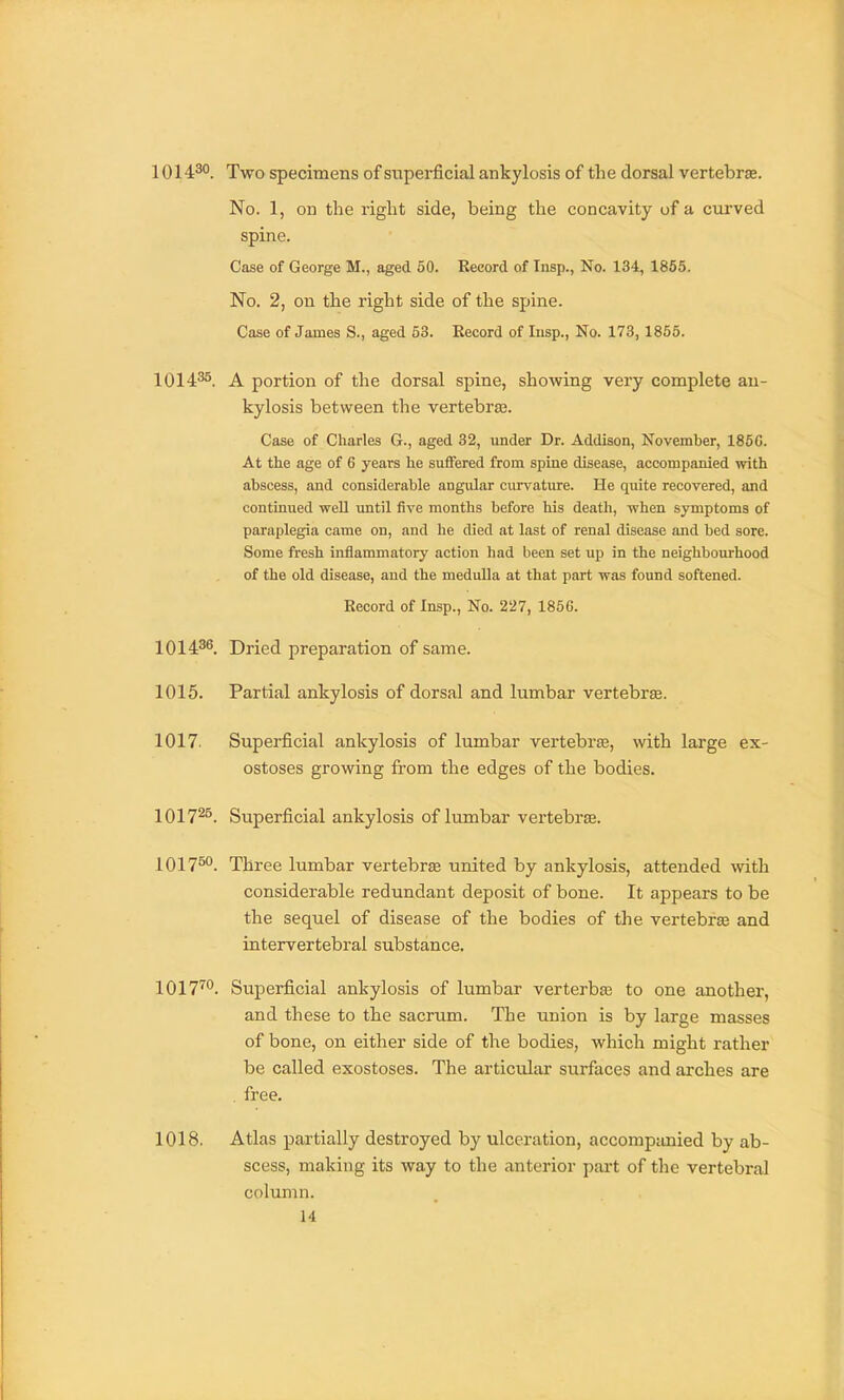 1014^0. Two specimens of superficial ankylosis of th e dorsal vertebrje. No. 1, on the right side, being the concavity of a curved spine. Case of George M., aged 50. Record of Insp., No. 134, 1855. No. 2, on the right side of the spine. Case of James S., aged 53. Record of lusp., No. 173,1855. IQI435 ^ portion of the dorsal spine, showing very complete an- kylosis between the vertebra. Case of Charles G., aged 32, under Dr. Addison, November, 185G. At the age of 6 years he suflFered from spine disease, accompanied with abscess, and considerable angular cm-vature. He quite recovered, and continued well until five months before his death, when symptoms of paraplegia came on, and he died at last of renal disease and bed sore. Some fresh inflammatory action had been set up in the neighbourhood of the old disease, and the medulla at that part was found softened. Record of Insp., No. 227, 1856. 1014^^. Dried preparation of same. 1015. Partial ankylosis of dorsal and lumbar vertebree. 1017. Superficial ankylosis of lumbar vertebras, with large ex- ostoses growing from the edges of the bodies. 1017^^. Superficial ankylosis of lumbar vertebrae. 1017^. Three lumbar vertebrse united by ankylosis, attended with considerable redundant deposit of bone. It appears to be the sequel of disease of the bodies of the vertebras and intervertebral substance. 1017™. Superficial ankylosis of lumbar verterbas to one another, and these to the sacrum. The union is by large masses of bone, on either side of the bodies, which might rather be called exostoses. The articular surfaces and arches are . free. 1018. Atlas partially destroyed by ulceration, accompanied by ab- scess, making its way to the anterior part of the vertebral column.