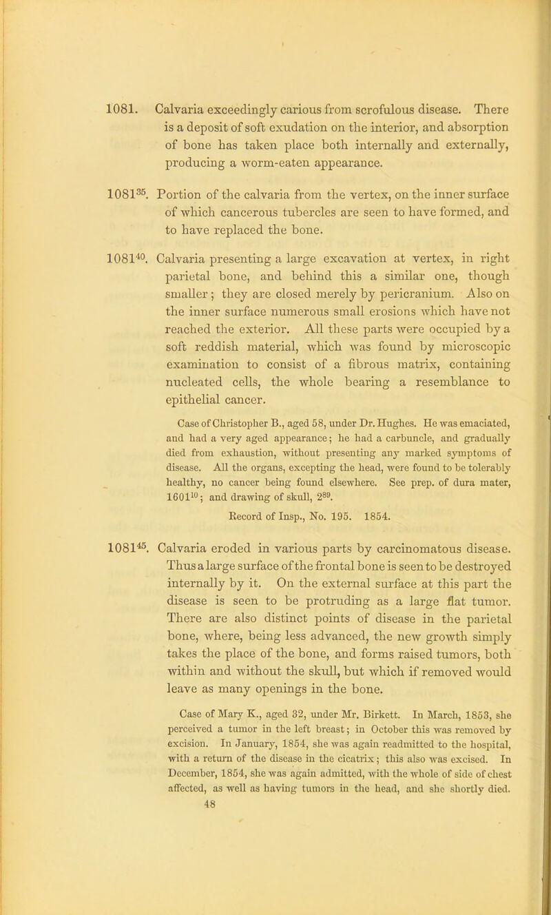 1081. Calvaria exceedingly carious from scrofulous disease. There is a deposit of soft exudation on the interior, and absorption of bone has taken place both internally and externally, producing a worm-eaten appearance. 1081^^. Portion of the calvaria from the vertex, on the inner surface of which cancerous tubercles are seen to have formed, and to have replaced the bone. lOSl*'. Calvaria presenting a large excavation at vertex, in right parietal bone, and behind this a similar one, though smaller ; they are closed merely by pericranium. Also on the inner surface numerous small erosions which have not reached the exterior. All these parts were occupied by a soft reddish material, which was found by microscopic examination to consist of a fibrous matrix, containing nucleated cells, the whole bearing a resemblance to epithelial cancer. Case of Christopher B., aged 58, under Dr. Hughes. He was emaciated, and had a very aged appearance; he had a carbuncle, and gradually died from exhaustion, without presenting any marked sjmptoms of disease. All the organs, excepting the head, were found to be tolerably healthy, no cancer being found elsewhere. See prep, of dura mater, 16011; and drawing of skull, 289. Record of Insp., No. 195. 1854. 1081*^. Calvaria eroded in various parts by carcinomatous disease. Thus a large surface of the frontal bone is seen to be destroyed internally by it. On the external surface at this part the disease is seen to be protruding as a large flat tumor. There are also distinct points of disease in the parietal bone, where, being less advanced, the new growth simply takes the place of the bone, and forms raised tumors, both vdthin and without the skull, but which if removed would leave as many openings in the bone. Case of Mary K., aged 32, under Mr. Birkett. In March, 1853, she perceived a tiunor in the left breast; in October this was removed by excision. In January, 1864, she was again readmitted to the hospital, with a return of the disease in the cicatrix; this also was excised. In December, 1854, she was again admitted, with the whole of side of chest affected, as well as having tumors in the head, and she shortly died.