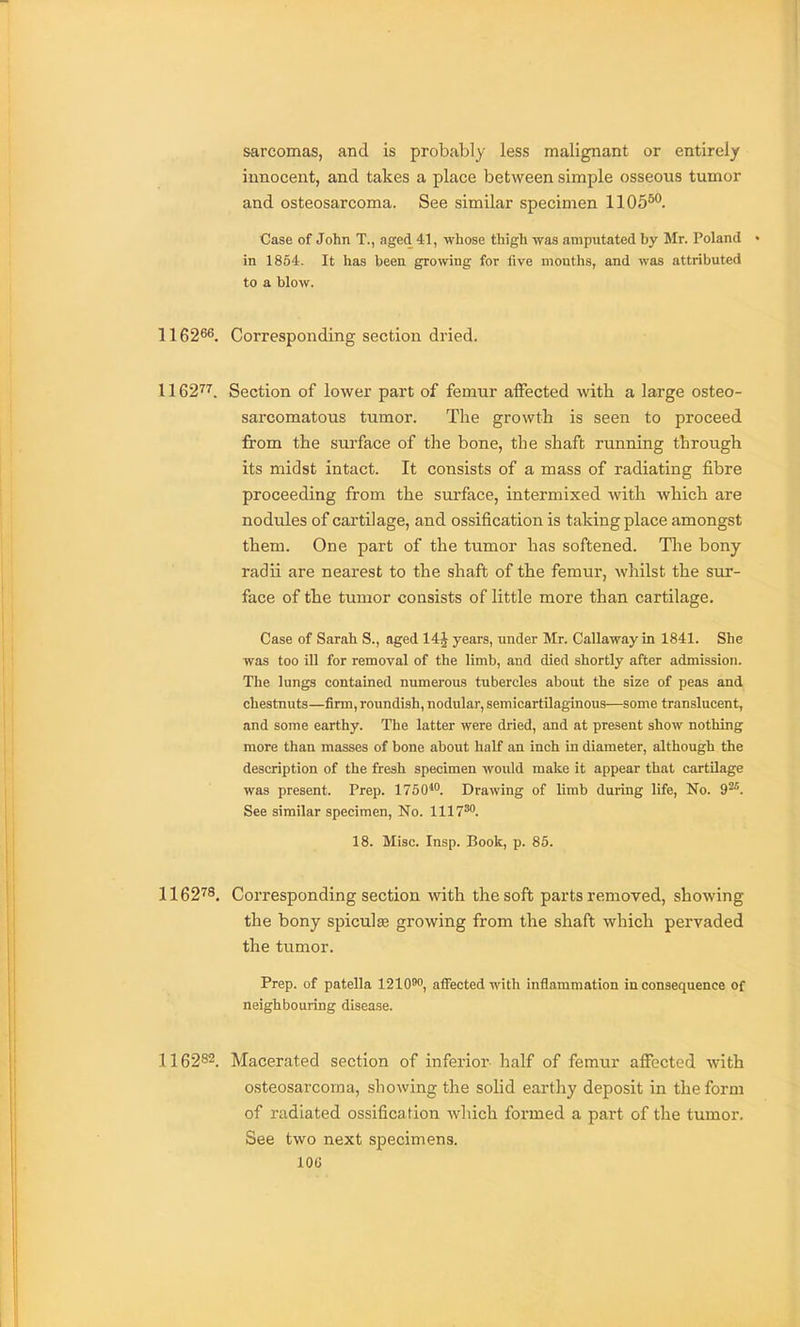 sarcomas, and is probably less malignant or entirely innocent, and takes a place between simple osseous tumor and osteosarcoma. See similar specimen 1105^^. Case of John T., aged 41, whose thigh was amputated by Mr. Poland in 1854. It has been growing for live months, and was attributed to a blow. 116266. Corresponding section dried. 1162^^. Section of lower part of femur aflfected witli a large osteo- sarcomatous tumor. The growth is seen to proceed from the surface of the bone, the shaft running through its midst intact. It consists of a mass of radiating fibre proceeding from the surface, intermixed with which are nodules of cartilage, and ossification is taking place amongst them. One part of the tumor has softened. Tlie bony radii are nearest to the shaft of the femur, whilst the sur- face of the tumor consists of little more than cartilage. Case of Sarah S., aged 14J years, under Mr. Callaway in 1841. She was too ill for removal of the limb, and died shortly after admission. The lungs contained numerous tubercles about the size of peas and chestnuts—firm, roundish, nodular, semicartOaginous—some translucent, and some earthy. The latter were dried, and at present show nothing more than masses of bone about half an inch in diameter, although the description of the fresh specimen would malse it appear that cartilage was present. Prep. 1750*. Drawing of limb during life, No. 9^. See similar specimen, No. 1117^''. 18. Misc. Insp. Book, p. 85. 1162^8, Corresponding section with the soft parts removed, showing the bony spicules growing from the shaft which pervaded the tumor. Prep, of patella 1210', aflFected with inflammation inconsequence of neighbouring disease. 116282. Macerated section of inferior half of femur affected with osteosarcoma, showing the solid earthy deposit in the form of radiated ossification which formed a part of the tumor. See two next specimens. 10«
