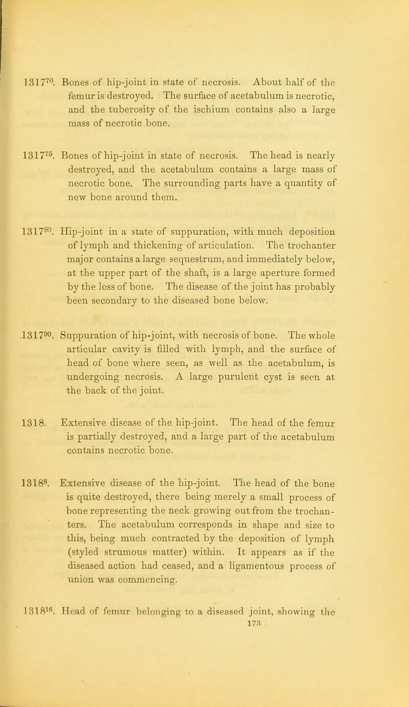 1317™. Bones of hip-joint in state of necrosis. About half of the femur is destroyed. The surface of acetabulum is necrotic, and the tuberosity of the ischium contains also a large mass of necrotic bone. 1317''^ Bones of hip-joint in state of necrosis. The head is nearly destroyed, and the acetabulum contains a large mass of necrotic bone. The surrounding parts have a quantity of new bone around them, 1317^''. Hip-joint in a state of suppuration, with mtich deposition of lymph and thickening of articulation. The trochanter major contains a large sequestrum, and immediately below, at the upper part of the shaft, is a large aperture formed by the loss of bone. The disease of the joint has probably been secondary to the diseased bone below. J31790. Suppuration of hip-joint, with necrosis of bone. The whole articular cavity is filled with lymph, and the surface of head of bone where seen, as well as the acetabulum, is undergoing necrosis. A large purulent cyst is seen at the back of the joint. 1318. Extensive disease of the hip-joint. The head of the femur is partially destroyed, and a large part of the acetabulum contains necrotic bone. 1318^. Extensive disease of the Lip-joint. Tlie head of the bone is quite destroyed, there being merely a small process of bone representing the neck growing out from the trochan- ters. The acetabulum corresponds in shape and size to this, being much contracted by the deposition of lymph (styled strumous matter) within. It appears as if the diseased action had ceased, and a ligamentous process of imion was commencing. 1318^^, Head of femur belonging to a diseased joint, showing the
