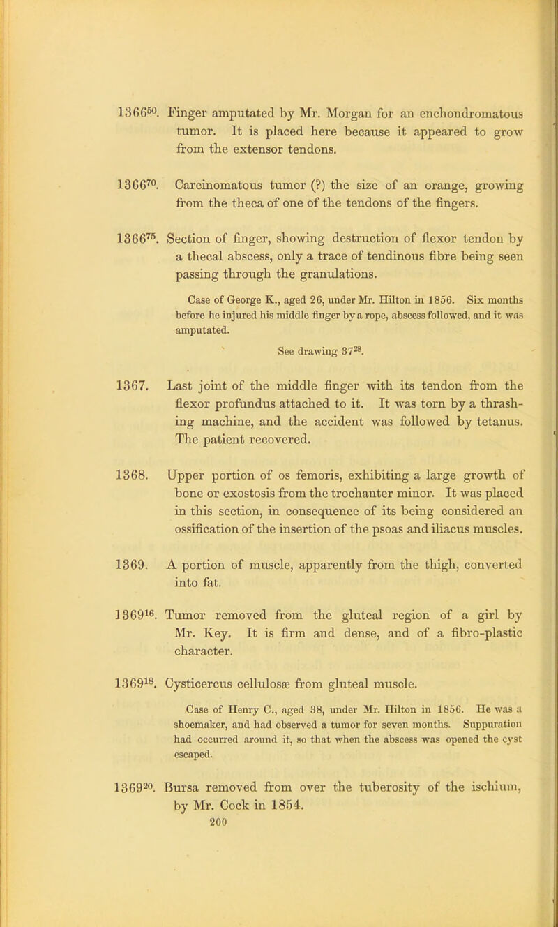 1366^0 Finger amputated by Mr. Morgan for an enchondromatous tumor. It is placed here because it appeared to grow from the extensor tendons. 1366^. Carcinomatous tumor (?) the size of an orange, growing from the theca of one of the tendons of the fingers. 1366^^. Section of finger, showing destruction of flexor tendon by a thecal abscess, only a trace of tendinous fibre being seen passing through the granulations. Case of George K., aged 26, under Mr. Hilton in 1856. Six months before he injured his middle finger by a rope, abscess followed, and it was amputated. See drawing 37^. 1367. Last joint of the middle finger with its tendon from the flexor profundus attached to it. It was torn by a thrash- ing machine, and the accident was followed by tetanus. The patient recovered. 1368. Upper portion of os femoris, exhibiting a large growth of bone or exostosis from the trochanter minor. It was placed in this section, in consequence of its being considered an ossification of the insertion of the psoas and iliacus muscles. 1369. A portion of muscle, apparently from the thigh, converted into fat. 1369^6. Tumor removed from the gluteal region of a girl by Mr. Key. It is firm and dense, and of a fibro-plastic character. 1369^^. Cysticercus cellulosse from gluteal muscle. Case of Henry C, aged 38, under Mr. Hilton in 1856. He was a shoemaker, and had observed a tumor for seven months. Suppuration had occurred around it, so that when the abscess was opened the cyst escaped. 1369^0. Bursa removed from over the tuberosity of the ischium, by Mr. Cock in 1854.