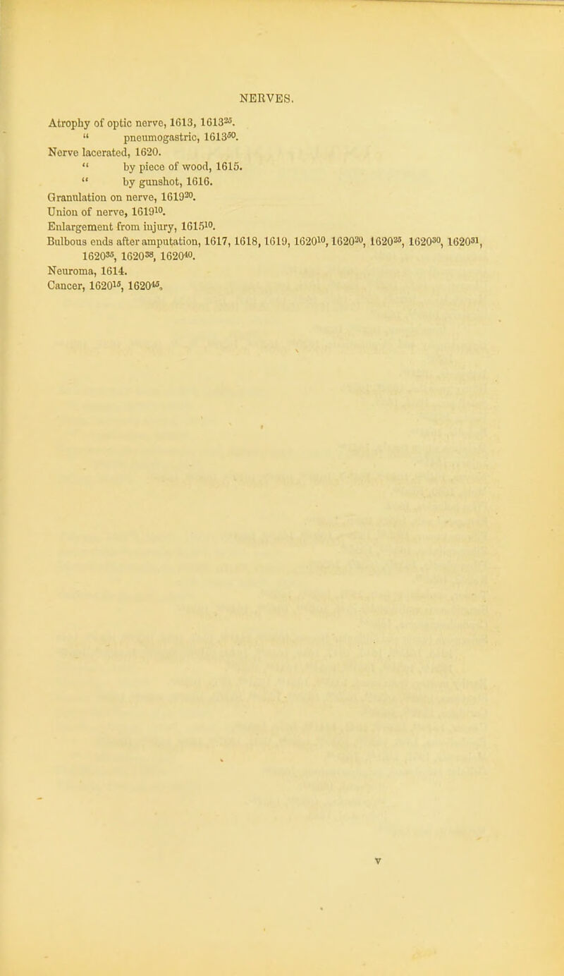 NERVES, Atrophy of optic norve, 1613, 1613^.  pncumogastric, 1613^. Nerve lacerated, 1620.  by piece of wood, 1615.  by gunshot, 1616. Granulation on nerve, I6I920. Union of nerve, 16191. Enlargement from injury, 16151. Bulbous ends after amputation, 1617,1618,1619, 162010,16202«, 1620*', 162030, 162031, 162035, 162038, 1620«. Neuroma, 1614. Cancer, 1620i«, 1620«,