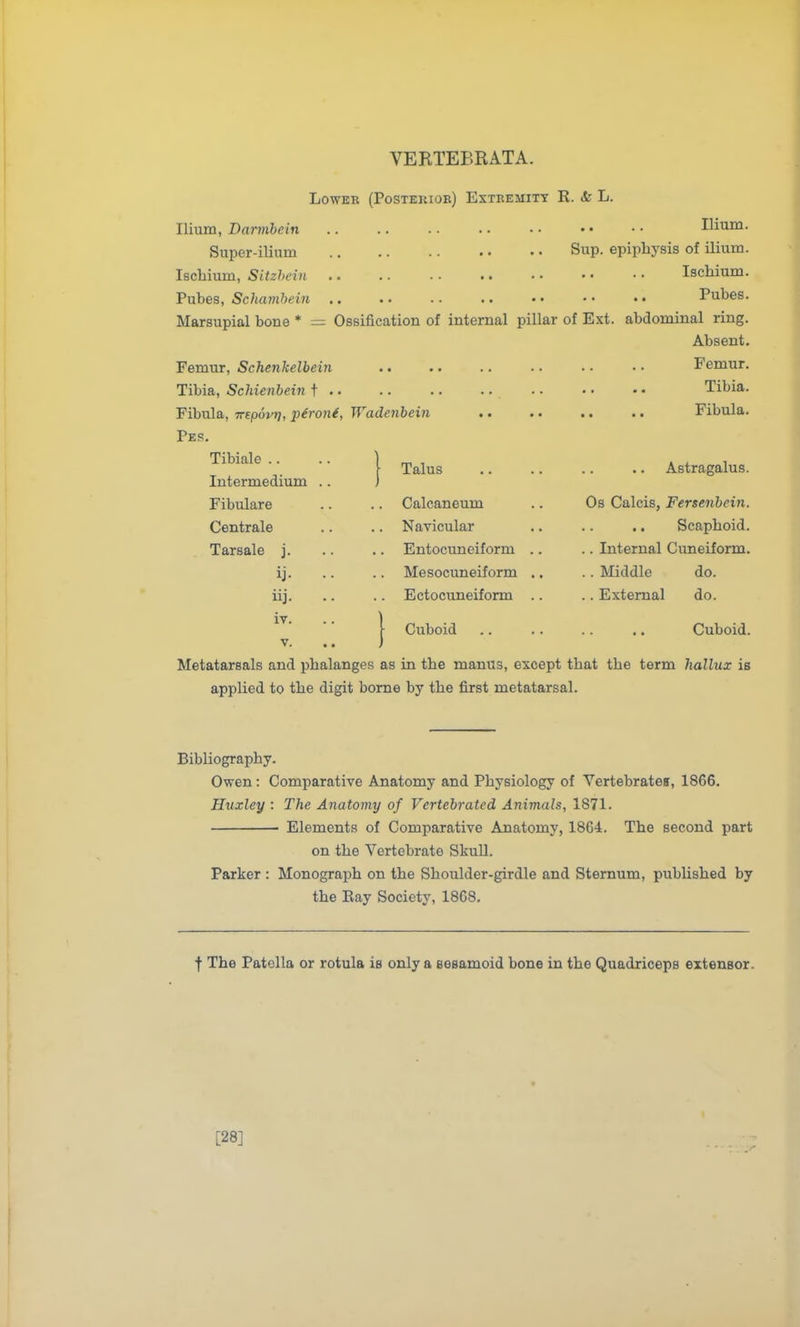 Lower (Posteiuor) Extremity R. & L. Ilium, Darmhein .. .. ■ ■ . ■ • • •• • • Ilium. Super-ilium Sup. epiphysis of Uium. Ischium, Sitzhein Ischium. Pubes, Schavibein .. .. .. .. • • • • • • Pubes. Marsupial bone * = Ossification of internal pillar of Ext. abdominal ring. Absent. Femur, Schenkelbein Tibia, Schienbein t • • Fibula, rrepovT}, piront, Wadenbein Pes. Tibiale .. Intermedium Fibulare Centrale Tarsale j. ij- iij. iv. V. Metatarsals and phal Talus Calcaneum Navicular Entocuneiform Mesocuneiform Ectocuneiform Cuboid Femur. Tibia. Fibula. Astragalus. Os Calcis, Fersenbein. Scaphoid. Internal Cuneiform. Middle do. External do. Cuboid. anges as in the manus, except that the term hallux is applied to the digit borne by the first metatarsal. Bibliography. Owen : Comparative Anatomy and Physiology of Vertebrates, 1866. Huxley : The Anatomy of Vertebrated Animals, 1871. Elements of Comparative Anatomy, 1864. The second part on the Vertebrate Skull. Parker : Monograph on the Shoulder-girdle and Sternum, published by the Eay Society, 18G8. f The Patella or rotula is only a Besamoid bone in the Quadriceps extensor. [28]