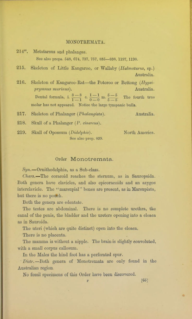 214^. Metatarsus and phalanges. See also preps. 548, 674, 737, 757, 835—838, 1197, 1198. 215. Skeleton of Little Kangaroo, or Wallaby {Halmatunts, sp.) Australia. 216. Skeleton of Kangaroo-Rat—the Potoroo or Bcttong (Hijpsi- pry)nnus niiirinus). Australia. Dental formula, i. c. -—- m. -. The fourth true 1 — 1 0 — 0 5 — 5 molar has not appeared. Notice the large tympanic bulla. 217. Skeleton of Phalanger (P/ia/rtjif/isto). Australia. 218. Skull of a Phalanger (P. cinerem). 219. Skull of Opossum (Didelphis). North America. See also prep. 839. Order Monotremata. Sijn.—Ornithodelphia, as a Sub-class. Chars.—-The coracoid reaches the sternum, as in Sauropsida. Both genera have clavicles, and also epicoracoids and an azygos interclavicle. The marsupial bones are present, as in Marsupiata, but there is no pouith. Both the genera are edentate. The testes are abdominal. There is no complete urethra, the canal of the penis, the bladder and the ureters opening into a cloaca as in Sauroida. The uteri (which are quite distinct) open into the cloaca. There is no placenta. The mamma is without a nipple. The brain is slightly convoluted, with a small corpus callosum. In the Males the hind foot has a perforated spur. Distr. —Both genera of Monotremata are only found in the Australian region, No fossil specimens of this Order have been discovered. F [66]