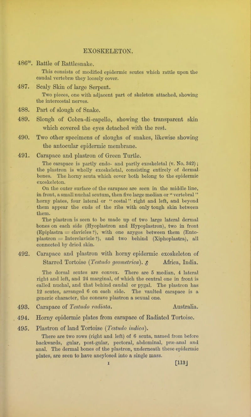 48G*. Rattle of Rattlesnake. This consists of modified epidermic scutes which rattle upon the caudal vertebrte they loosely cover. 487. Scaly Skin of large Sei-pent. Two pieces, one with adjacent part of skeleton attached, showing the intercostal nerves. 488. Part of slough of Snake. 489. Slough of Cobra-di-capello, showing the transparent skin which covered the eyes detached with the rest. 490. Two other specimens of sloughs of snakes, likewise showing the antocular epidermic membrane. 491. Carapace and plastron of Green Turtle. The carapace is partly endo- and partly exoskeletal (v. No. 342); the plastron is wholly exoskeletal, consisting entirely of dermal bones. The horny scuta which cover both belong to the epidermic exoskeleton. On the outer surface- of the carapace are seen in the middle line, in front, a small nuchal scutum, then five large median or  vertebral  horny plates, four lateral or costal right and left, and beyond them appear the ends of the ribs with only tough skin between them. The plastron is seen to be made up of two large lateral dermal bones on each side (Hyoplastron and Hypoplastron), two in front (Epiplastra = clavicles ?), with one azygos between them (Ento- plastron = Intercla\-icle ?), and two behind (Xiphoplastra), all coimected by dried skin. 492. Carapace and plastron with horny epidermic exoskeleton of Starred Tortoise {Testudo geometrica). $ Africa, India. The dorsal scutes are convex. There are 5 median, 4 lateral right and left, and 24 marginal, of which the central one in front is called nuchal, and that behind caudal or pygal. The plastron has 12 scutes, arranged 6 on each side. The vaulted carapace is a generic character, the concave plastron a sexual one. 493. Carapace of Testudo radiata. Australia. 494. Horny epidermic plates from carapace of Radiated Tortoise. 495. Plastron of land Tortoise {Testudo vidica). There are two rows (right and left) of 6 scuta, named from before backwards, gular, post-gular, pectoral, abdominal, prre-anal and anal. The dermal bones of the plastron, underneath these epidermic plates, are seen to have ancylosed into a single mass. I [113J