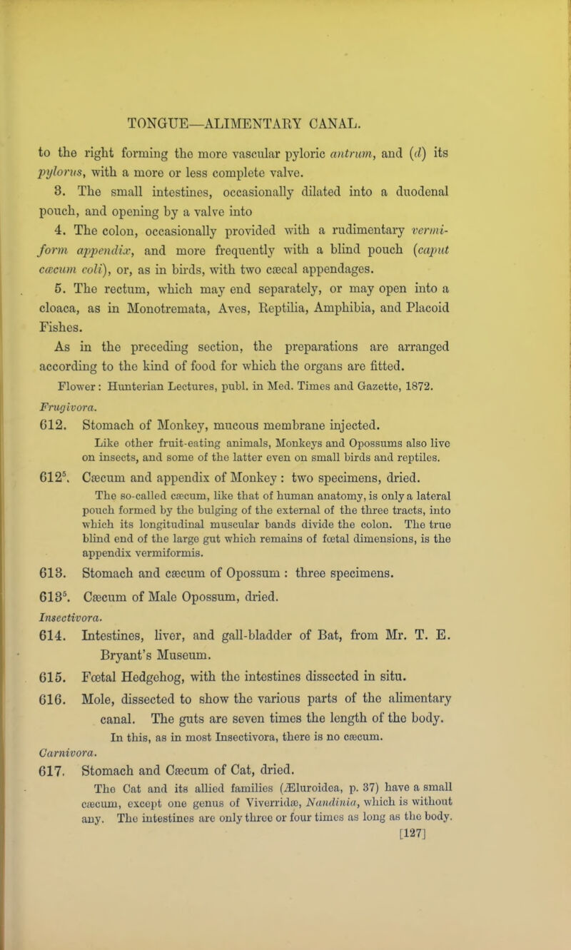 TONGUE—ALIMENTARY CANAL. to the right forming the more vascular pyloric antrum, and (d) its pylorus, with a more or less complete valve. 3. The small intestines, occasionally dilated into a duodenal pouch, and opening by a valve into 4. The colon, occasionally provided with a rudimentary vermi- form ajypendix, and more frequently with a blind pouch [caput C(Kcuin coli), or, as in birds, with two coecal appendages. 5. The rectum, which may end separately, or may open into a cloaca, as in Monotremata, Aves, Reptilia, Amphibia, and Placoid Fishes. As in the preceding section, the preparations are arranged according to the kind of food for which the organs are fitted. Flower: Hunterian Lectures, publ, in Med. Times and Gazette, 1872. Frugivora. 612. Stomach of Monkey, mucous membrane injected. Like other fruit-eating animals, Monkeys and Opossums also live on insects, and some of the latter even on small birds and reptiles. Cfecum and appendix of Monkey : two specimens, dried. The so-called cfficum, like that of human anatomy, is only a lateral pouch formed by the bulging of the external of the three tracts, into which its longitudinal muscular bands divide the colon. The true blind end of the large gut which remains of foetal dimensions, is the appendix vermiformis. 613. Stomach and caecum of Opossum : three specimens. 613*. Caecum of Male Opossum, dried. Insectivora. 614. Intestines, liver, and gall-bladder of Bat, from Mr. T. E. Bryant's Museum. 615. Foetal Hedgehog, with the intestines dissected in situ. 616. Mole, dissected to show the various parts of the alimentary canal. The guts are seven times the length of the body. In this, as in most Insectivora, there is no Cfficum. Carnivora. 617. Stomach and Cfecum of Cat, dried. Tho Cat and its allied families (iEluroidca, p. 37) have a small ciecum, except one genus of VivorridiC, Nandiuia, which is without any. The intestines are only throe or four times as long as the body. [127]