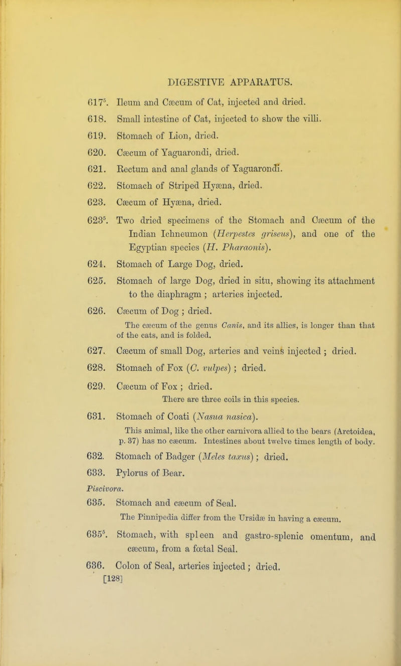 017\ Ileum and Cfocum of Cat, injected and dried. 618. Small intestine of Cat, injected to show the villi. G19. Stomach of Lion, dried. G20. Caecum of Yaguarondi, dried. G21. Rectum and anal glands of Yaguarondi. 022. Stomach of Striped Hyaena, dried. 023. Cascum of Hyaena, dried. 023^. Two dried specimens of the Stomach and Caecum of the Indian Ichneumon (Hcrpestes griseus), and one of the Egyptian species {H. Pharaonis). 624. Stomach of Large Dog, dried. 025. Stomach of large Dog, dried in situ, showing its attachment to the diaphragm ; arteries injected. 626. Cascum of Dog ; dried. The cfficum of the genus Canis, and its allies, is longer than that of the cats, and is folded. 627. Caecum of small Dog, arteries and veinfe injected ; dried. 628. Stomach of Fox (C. vulpes); dried. 629. Cfecum of Fox ; dried. There are three coils in this species. 631. Stomach of Coati (Nasua nasica). This animal, like the other cai-nivora allied to the bears (Arctoidea, p. 37) has no cascum. Intestines about twelve times length of body. 632. Stomach of Badger (Meles taxus); dried. 633. P.ylorus of Bear. Piscivora. 635. Stomach and cfecum of Seal. The Pinnipedia differ from the Ursidaj in having a crecum. 685\ Stomach, with spleen and gastro-splenic omentum, and cfficum, from a foetal Seal. 686. Colon of Seal, arteries injected; dried. [128]