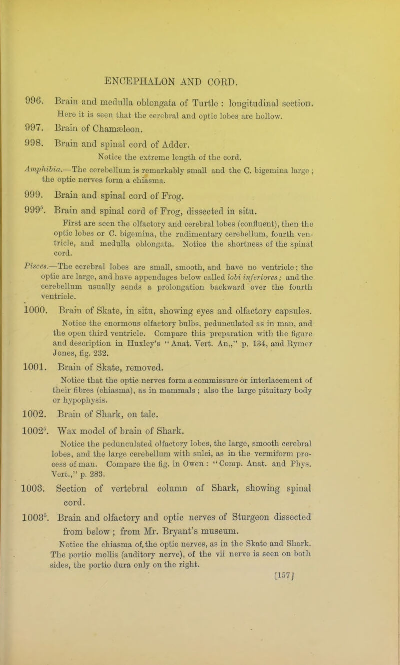 996. Brain and medulla oblongata of Turtle : longitudinal section. Here it is scon that the cerebral and optic lobes are hollow. 097. Brain of Chamaeleon. 998. Brain and spinal cord of Adder. Notice the extreme length of the cord. Amphibia.—The cerebellum is remarkably small and the C. bigemina large ; the optic nerves form a chiasma. 999. Brain and spinal cord of Frog. 999^ Brain and spinal cord of Frog, dissected in situ. First are seen the olfactory and cerebral lobes (confluent), then the optic lobes or C. bigemina, the nidimentary cerebellum, fourth ven- tricle, and medulla oblongata. Notice the shortness of the spinal cord. Pisces.—The cerebral lobes are small, smooth, and have no ventricle; the optic are large, and have appendages below called lobi inferiores; and the cerebellum usually sends a prolongation backward over the fourth ventricle. 1000. Brain of Skate, in situ, showing eyes and olfactory capsules. Notice the enormous olfactory bulbs, pedunculated as in man, and the open third ventricle. Compare this preparation with the figure and description in Huxley's  Anat. Vert. An., p. 134, and Eymer Jones, fig. 232. 1001. Brain of Skate, removed. Notice that the optic nerves form a commissure or interlacement of their fibres (chiasma), as in mammals ; also the large pituitary body or hypophysis. 1002. Brain of Shark, on talc, 1002^ Wax model of brain of Shark. Notice the pedunculated olfactory lobes, the large, smooth cerebral lobes, and the large cerebellum with sulci, as in the vermiform pro- cess of man. Compare the fig. in Owen : Comp. Anat. and Phyg. Vert., p. 283. 1003. Section of vertebral column of Shark, showing spinal cord. 1003^ Brain and olfactory and optic nerves of Sturgeon dissected from below ; from Mr. Bryant's museum. Notice the chiasma otthe optic nerves, as in the Skate and Shark. The portio molHs (auditory nerve), of the vii nerve is seen on both sides, the portio dura only on the right. [157J