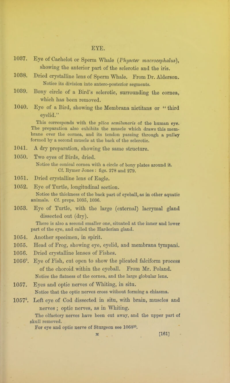 1037. Eye of Cachelot or Sperm Whale {Physeter macrocephalus), showing the anterior part of the sclerotic and the iris. 1038. Dried crystalline lens of Sperm Whale. From Dr. Alderson. Notice its division into antero-posterior segments. 1039. Bony circle of a Bird's sclerotic, surrounding the cornea, which has been removed. 1040. Eye of a Bird, showing the Membrana nictitans or  third eyelid. This corresponds with the plica semilunaris of the human eye. The preparation also exhibits the muscle which draws this mem- brane over tbe cornea, and its tendon passing through a pulley formed by a second muscle at the back of the sclerotic. 1041. A dry preparation, showing the same stracture. 1050. Two eyes of Birds, dried. Notice the conical cornea with a circle of bony plates around it. Cf. Eymer Jones : figs. 278 and 279. 1051. Dried crystalline lens of Eagle. 1052. Eye of Turtle, longitudinal section. Notice the thickness of the back part of eyeball, as in other aquatic animals. Cf. preps. 1035, 1036. 1053. Eye of Turtle, with the large (external) lacrymal gland dissected out (dry). There is also a second smaller one, situated at the inner and lower part of the eye, and called the Harderian gland. 1054. Another specimen, in spirit. 1055. Head of Frog, showing eye, eyelid, and membrana tympani. 1056. Dried crystalline lenses of Fishes. 1056^. Eye of Fish, cut open to show the plicated falciform process of the choroid within the eyeball. From Mr. Poland. Notice the flatness of the cornea, and the large globular lens. 1057. Eyes and optic nerves of Whiting, in situ. Notice that the optic nerves cross without forming a chiasma. 1057^. Left eye of Cod dissected in situ, with brain, muscles and nerves ; optic nerves, as in Whiting. The olfactory nerves have been cut away, and the upper part of skull removed. For eye and optic nerve of Sturgeon see 1068^. M . _ [161]