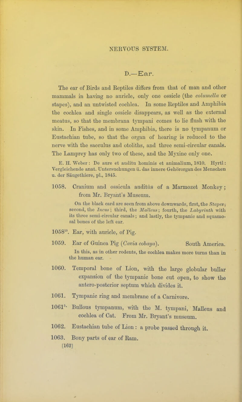 D.—Ear. The ear of Birds and Reptiles differs from that of man and other mammals in having no auricle, only one ossicle (the coluviella or stapes), and an untwisted cochlea. In some Reptiles and Amphibia the cochlea and single ossicle disappears, as well as the external meatus, so that the membrana t3'mpani comes to lie flush with the skin. In Fishes, and in some Amphibia, there is no tympanum or Eustachian tube, so that the organ of hearing is reduced to the nerve with the sacculus and otoliths, and three semi-circular canals. The Lamprey has only two of these, and the Myxine only one. E. H. Weber: De aure et auditu hominis et animalium, 1810. Hyrtl: Vergleicliende anat. Untersuchungen ii. das innere Gehororgan des Menschen u. der Saugethiere, pi., 1845. 1058. Cranium and ossicula auditus of a Marmozet Monkey; from Mr. Br^'ant's Museum. On the black card are seen from above downwards?, first, the Stapes; second, the Incus; third, the SlaUeus; fourth, the Labyrinth with its three semi-chcular canals; and lastly, the tympanic and squamo- sal bones of the left ear. 1058^°. Ear, with auricle, of Pig. 1059. Ear of Guinea Pig [Cavia cobaya). South America. In this, as in other rodents, the cochlea makes more turns than in the human ear. 1060. Temporal bone of Lion, with the large globular buUar expansion of the tympanic bone cut open, to show the antero-posterior septum which divides it. 1061. Tympanic ring and membrane of a Carnivore. 1061'- Bullous tympanum, with the M. tympani. Malleus and cochlea of Cat. From Mr. Bryant's museum. 1062. Eustachian tube of Lion : a probe passed through it. 1063. Bony parts of ear of Ram. [162]