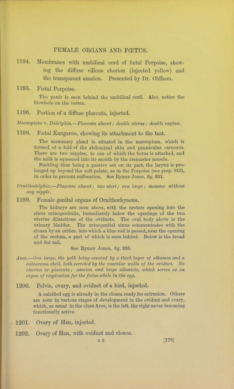 1194. Membranes with umbilical cord of foetal Porpoise, show- ing the diffuse villous chorion (injected yellow) and the transparent amnion. Presented by Dr. Oldham. 1195. Foetal Porpoise. The penis is seen behind the umbiUcal cord. Also, notice the blowhole on the vertex. 1196. Portion of a diffuse placenta, injected. Marsupiata v. DidelpJiia.—Placenta absent; double uterus; double vagina. 1198. Foetal Kangaroo, showing its attachment to the teat. The mammary gland is situated in the marsupium, which is formed of a fold of the abdominal skin and panniculus carnosus. There are two nipples, to one of which the fa>tus is attached, and the milk is squeezed into its mouth by the cremaster muscle. Suckling thus being a passive act on its part, the larynx is pro- longed up beyond the soft palate, as in the Poi-poise (see prep. 915), in order to prevent suffocation. See Eymer Jones, fig. 331. Ornitliodclpliia.—Placenta absent; two uteri; ova large; mammce without any nipple. 1199. Female genital organs of Ornithorhyncus. The kidneys are seen above, with the ureters opening into the sinus urinogenitalis, immediately below the openings of the two uterine dilatations of the oviducts. The oval body above is the urinary bladder. The urinogenital sinus communicates with the cloaca by an orifice, into which a blue rod is passed, near the opening of the rectum, a part of which is seen behind. Below is the broad and flat tail. See Eymer Jones, fig. 326. Aves.—Ova large, the yelk being covered by a thick layer of albumen and a calcareous shell, both secreted by the vascular walls of the oviduct. No chorion or placenta; amnion and large allantois, tvhich serves as an organ of respiration for the foetus lohile in the egg. 1200. Pelvis, ovary, and oviduct of a bird, injected. A calcified egg is already in the cloaca ready for extrusion. Others are seen in various stages of development in the oviduct and ovary, which, as usual in the class Aves, is the left, the right never becoming functionally active. 1201. Ovary of Hen, injected. 1202. Ovaiy of Hen, ^ith oviduct and cloaca. N 2 [179]
