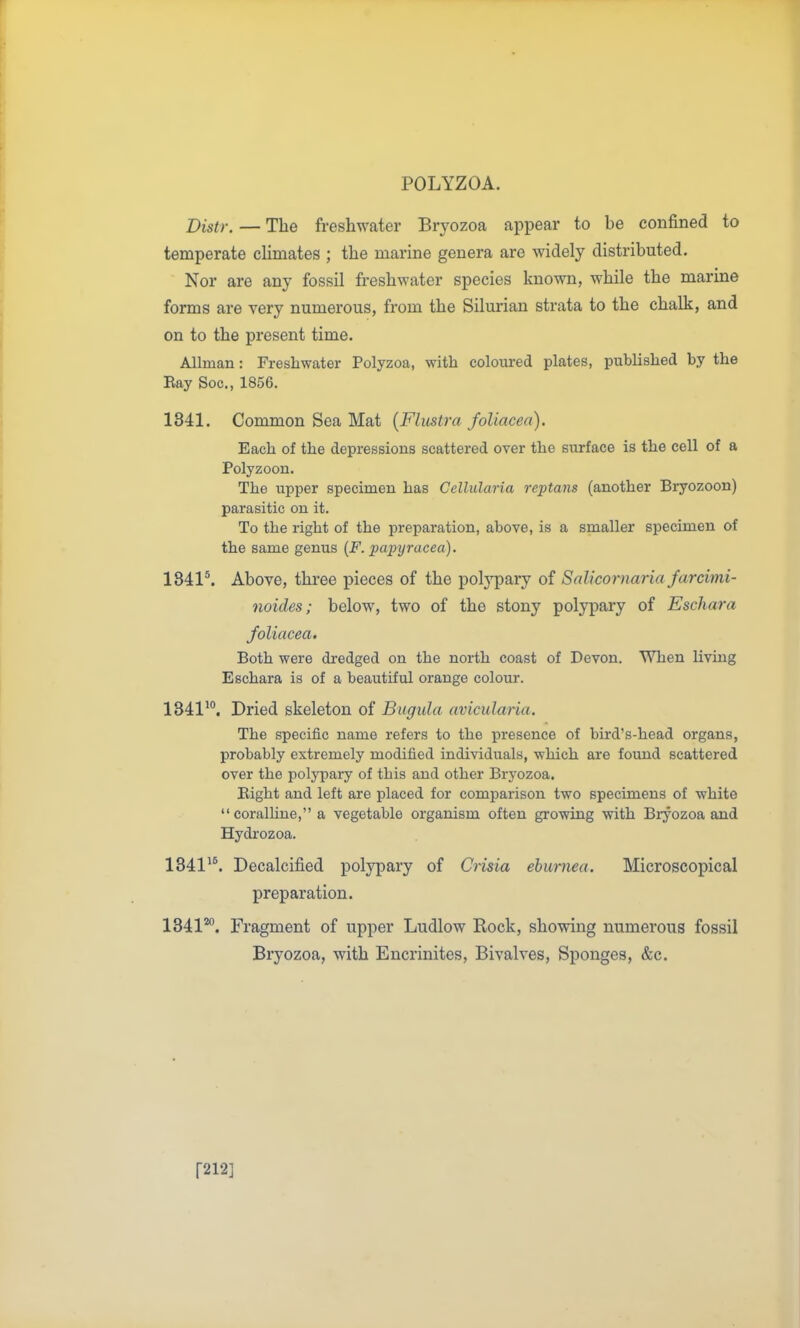 POLYZOA. Distr. — The freshwater Bryozoa appear to be confined to temperate cUmates ; the marine genera are widely distributed. Nor are any fossil freshwater species known, while the marine forms are very numerous, from the Silurian strata to the chalk, and on to the present time. AUman: Freshwater Polyzoa, with coloured plates, published by the Ray Soc, 1856. 1841. Common Sea Mat [Flustra foUacea). Each of the depressions scattered over the surface is the cell of a Polyzoon. The upper specimen has Cellularia reptans (another Bryozoon) parasitic on it. To the right of the preparation, above, is a smaller specimen of the same genus {F. paptjracea). 1841\ Above, three pieces of the potypary of Salicornaria farcimi- noides; below, two of the stony polypary of Eschara foliacea. Both were dredged on the north coast of Devon. When living Eschara is of a beautiful orange colour. 1341^°. Dried skeleton of Bugula avicularia. The specific name refers to the presence of bird's-head organs, probably extremely modified individuals, which are found scattered over the polj'pary of this and other Bryozoa. Eight and left are placed for comparison two specimens of white coralhne, a vegetable organism often growing with Bryozoa and Hydrozoa. 1841^^ Decalcified polypary of Crista ehurnea. Microscopical preparation. 1341'^. Fragment of upper Ludlow Rock, showing numerous fossil Bryozoa, with Encrinites, Bivalves, Sponges, &c. [212]