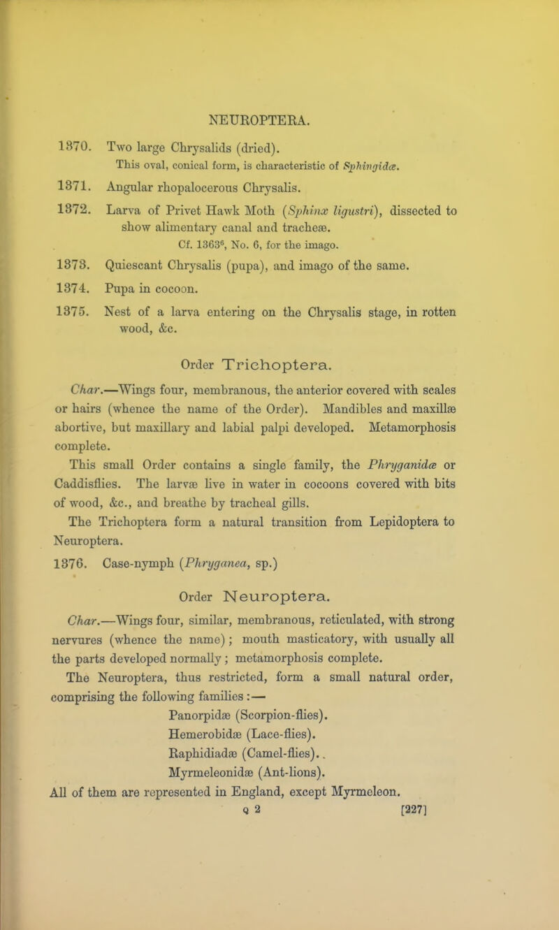 NEUROPTERA. 1870. Two large Chrysalids (di'ied). This oval, conical foim, is characteristic of Sphinrjida. 1871. Angular rliopalocerous Chrysalis. 1872. Larva of Privet Hawk Moth (Sphinx ligustri), dissected to show alimentary canal and tracheae. Cf. 13636, No. 6, for the imago. 1873. Quiescant Chrysalis (pupa), and imago of the same. 1874. Pupa in cocoon. 1375. Nest of a larva entering on the Chrysalis stage, in rotten wood, &c. Order Trichoptera. Char.—Wings four, membranous, the anterior covered with scales or hairs (whence the name of the Order). Mandibles and maxillae abortive, but maxillary and labial palpi developed. Metamorphosis complete. This small Order contains a single family, the PhryganidcB or Caddisflies. The larvae Uve in water in cocoons covered with bits of wood, &c., and breathe by tracheal gills. The Trichoptera form a natural transition from Lepidoptera to Neuroptera. 1376. Case-nymph {Phryganea, sp.) Order Neuroptera. Char.—Wings four, similar, membranous, reticulated, with strong nervures (whence the name); mouth masticatory, with usually all the parts developed normally ; metamorphosis complete. The Neuroptera, thus restricted, form a small natural order, comprising the following families :— Panorpidae (Scorpion-flies). Hemerobidae (Lace-flies). Raphidiadae (Camel-flies).. Myrmeleonidae (Ant-lions). All of them are represented in England, except Myrmoleon. Q 2 [327]